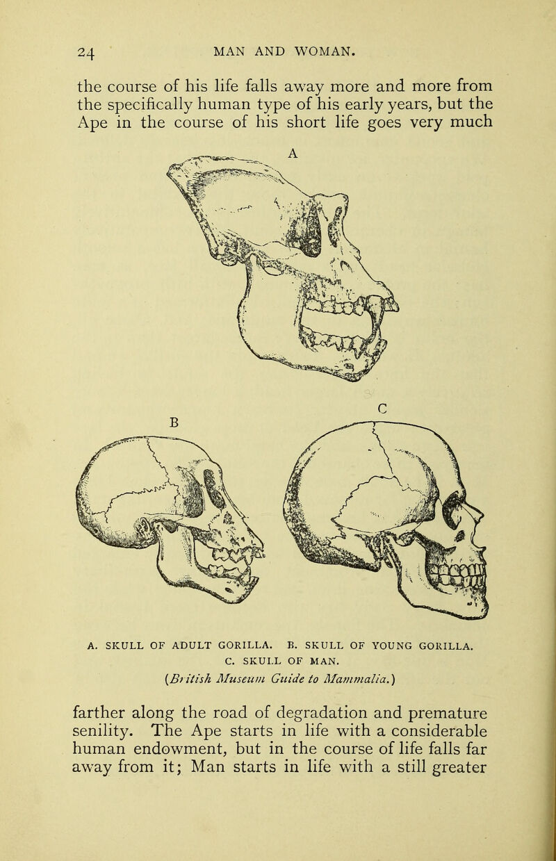 the course of his life falls away more and more from the specifically human type of his early years, but the Ape in the course of his short life goes very much A. SKULL OF ADULT GORILLA. B. SKULL OF YOUNG GORILLA. C. SKULL OF MAN. {British Museum Guide to Mammalia.) farther along the road of degradation and premature senility. The Ape starts in life with a considerable human endowment, but in the course of life falls far away from it; Man starts in life with a still greater