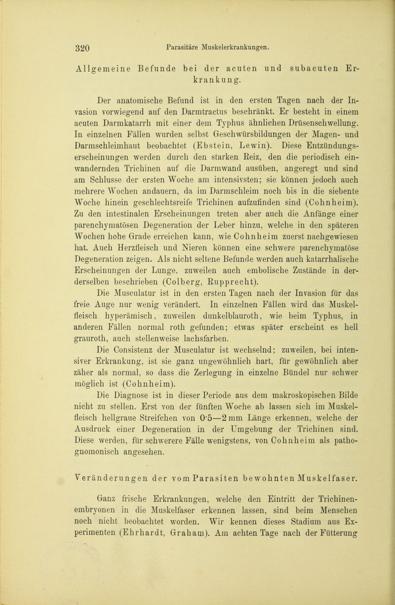 Allgemeine Befunde bei der acuten und subacuten Er- krankung. Der anatomische Befund ist in den ersten Tagen nach der In- vasion vorwiegend auf den Darmtractus beschränkt. Er besteht in einem acuten Darmkatarrh mit einer dem Typhus ähnlichen Drüsenschwellung. In einzelnen Fällen wurden selbst Geschwürsbildungen der Magen- und Darmschleimhaut beobachtet (Ebstein, Lewin). Diese Entzündungs- erscheinungen werden durch den starken Eeiz, den die periodisch ein- wandernden Trichinen auf die Darmwand ausüben, angeregt und sind am Schlüsse der ersten Woche am intensivsten; sie können jedoch auch mehrere Wochen andauern, da im Darmschleim noch bis in die siebente Woche hinein geschlechtsreife Trichinen aufzufinden sind (Cohnheim). Zu den intestinalen Erscheinungen treten aber auch die Anfänge einer parenchymatösen Degeneration der Leber hinzu, welche in den späteren Wochen hohe Grade erreichen kann, wie Cohnheim zuerst nachgewiesen hat. Auch Herzfleisch und Nieren können eine schwere parenchymatöse Degeneration zeigen. Als nicht seltene Befunde werden auch katarrhalische Erscheinungen der Lunge, zuweilen auch embolische Zustände in der- derselben beschrieben (Colberg, Eupprecht). Die Musculatur ist in den ersten Tagen nach der Invasion für das freie Auge nur wenig verändert. In einzelnen Fällen wird das Muskel- fleisch hyperämisch, zuweilen dunkelblauroth, wie beim Typhus, in anderen Fällen normal roth gefunden; etwas später erscheint es hell grauroth, auch stellenweise lachsfarben. Die Consistenz der Musculatur ist wechselnd; zuweilen, bei inten- siver Erkrankung, ist sie ganz ungewöhnhch hart, für gewöhnhch aber zäher als normal, so dass die Zerlegung in einzelne Bündel nur schwer mögUch ist (Cohnheim). Die Diagnose ist in dieser Periode aus dem makroskopischen Bilde nicht zu stellen. Erst von der fünften Woche ab lassen sich im Muskel- fleisch hellgraue Streifchen von 0*5—2 mm Länge erkennen, welche der Ausdruck einer Degeneration in der Umgebung der Trichinen sind. Diese werden, für schwerere Fälle wenigstens, von Cohnheim als patho- gnomonisch angesehen. Veränderungen der vomParasiten bewohnten Muskelfaser. Ganz frische Erkrankungen, welche den Eintritt der Trichinen- embryonen in die Muskelfaser erkennen lassen, sind beim Menschen noch nicht beobachtet worden. Wir kennen dieses Stadium aus Ex- perimenten (Ehrhardt, Graham). Am achten Tage nach der Fütterung