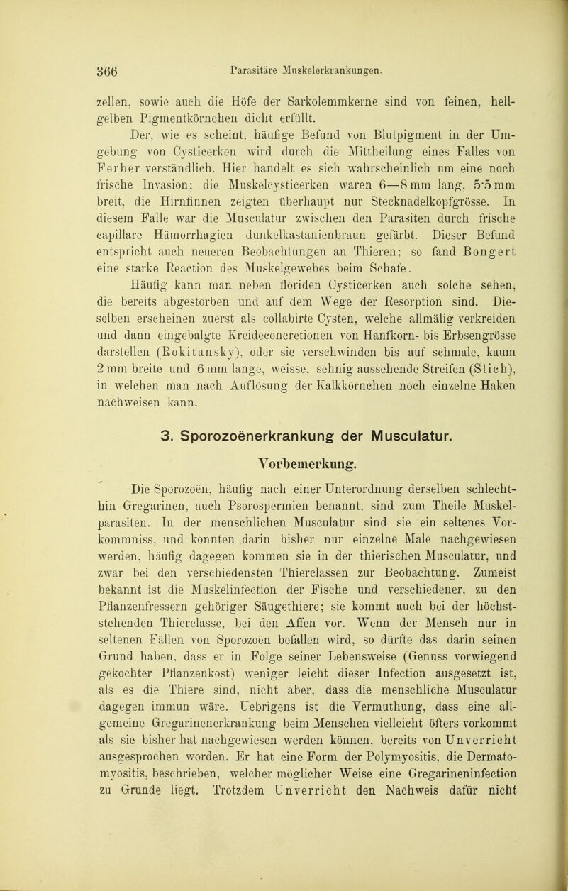 Zellen, sowie auch die Höfe der Sarkolemmkerne sind von feinen, hell- gelben Pigmentkörnchen dicht erfüllt. Der, wie es scheint, häufige Befund von Blutpigment in der Um- gebung von Cysticerken wird durch die Mittheilung eines Falles von F erb er verständlich. Hier handelt es sich wahrscheinhch um eine noch frische Invasion; die Muskelcysticerken waren 6—8 mm lang, 5*5mm breit, die Hirnfinnen zeigten überhaupt nur Stecknadelkopfgrösse. In diesem Falle war die Musculatur zwischen den Parasiten durch frische capihare Hämorrhagien dunkelkastanienbraun gefärbt. Dieser Befund entspricht auch neueren Beobachtungen an Thieren; so fand Bongert eine starke Eeaction des Muskelgewebes beim Schafe. Häufig kann man neben floriden Cysticerken auch solche sehen, die bereits abgestorben und auf dem Wege der Eesorption sind. Die- selben erscheinen zuerst als coUabirte Cysten, welche aUmähg verkreiden und dann eingebalgte Kreideconcretionen von Hanfkorn- bis Erbsengrösse darstellen (Rokitansky), oder sie verschwinden bis auf schmale, kaum 2 mm breite und 6 mm lange, weisse, sehnig aussehende Streifen (Stich), in welchen man nach Auflösung der Kalkkörnchen noch einzelne Haken nachweisen kann. 3. Sporozoenerkrankung der Musculatur. Vorbemerkung. Die Sporozoen, häutig nach einer Unterordnung derselben schlecht- hin Gregarinen, auch Psorospermien benannt, sind zum Theile Muskel- parasiten. In der menschhchen Musculatur sind sie ein seltenes Vor- kommniss, und konnten darin bisher nur einzelne Male nachgewiesen werden, häufig dagegen kommen sie in der thierischen Musculatur, und zwar bei den verschiedensten Thierclassen zur Beobachtung. Zumeist bekannt ist die Muskelinfection der Fische und verschiedener, zu den Pflanzenfressern gehöriger Säugethiere; sie kommt auch bei der höchst- stehenden Thierclasse, bei den Affen vor. Wenn der Mensch nur in seltenen Fällen von Sporozoen befallen wird, so dürfte das darin seinen Grund haben, dass er in Folge seiner Lebensweise (Genuss vorwiegend gekochter Pflanzenkost) w^eniger leicht dieser Infection ausgesetzt ist, als es die Thiere sind, nicht aber, dass die menschliche Musculatur dagegen immun wäre. Uebrigens ist die Yermuthung, dass eine all- gemeine Gregarinenerkrankung beim Menschen vielleicht öfters vorkommt als sie bisher hat nachgewiesen werden können, bereits von Unverricht ausgesprochen worden. Er hat eine Form der Polym^yositis, die Dermato- myositis, beschrieben, welcher möglicher Weise eine Gregarineninfection zu Grunde liegt. Trotzdem Unverricht den Nachweis dafür nicht