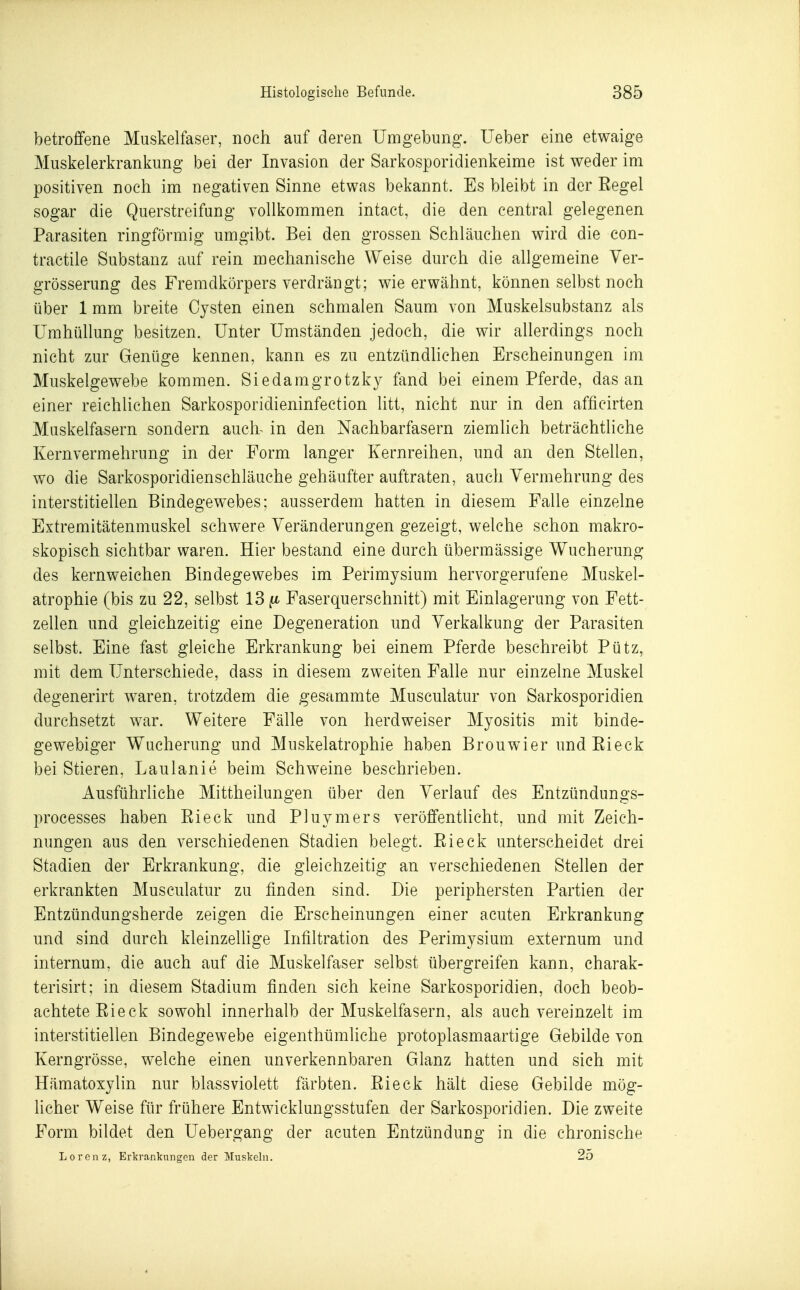 betroffene Muskelfaser, noch auf deren Umgebung. Ueber eine etwaige Muskelerkrankung bei der Invasion der Sarkosporidienkeime ist weder im positiven noch im negativen Sinne etwas bekannt. Es bleibt in der Eegel sogar die Querstreifung vollkommen intact, die den central gelegenen Parasiten ringförmig umgibt. Bei den grossen Schläuchen wird die con- tractile Substanz auf rein mechanische Weise durch die allgemeine Ver- grösserung des Fremdkörpers verdrängt; wie erwähnt, können selbst noch über 1 mm breite Cysten einen schmalen Saum von Muskelsubstanz als Umhüllung besitzen. Unter Umständen jedoch, die wir allerdings noch nicht zur Genüge kennen, kann es zu entzündhchen Erscheinungen im Muskelgewebe kommen. Siedamgrotzky fand bei einem Pferde, das an einer reichlichen Sarkosporidieninfection litt, nicht nur in den afficirten Muskelfasern sondern auch^ in den Nachbarfasern ziemlich beträchtliche Kernvermehrung in der Form langer Kernreihen, und an den Stellen, wo die Sarkosporidienschläuche gehäufter auftraten, auch Vermehrung des interstitiellen Bindegewebes; ausserdem hatten in diesem Falle einzelne Extremitätenmuskel schwere Veränderungen gezeigt, welche schon makro- skopisch sichtbar waren. Hier bestand eine durch übermässige Wucherung des kernweichen Bindegewebes im Perimysium hervorgerufene Muskel- atrophie (bis zu 22, selbst 13 Faserquerschnitt) mit Einlagerung von Fett- zellen und gleichzeitig eine Degeneration und Verkalkung der Parasiten selbst. Eine fast gleiche Erkrankung bei einem Pferde beschreibt Pütz, mit dem Unterschiede, dass in diesem zweiten Falle nur einzelne Muskel degenerirt waren, trotzdem die gesammte Musculatur von Sarkosporidien durchsetzt war. Weitere Fälle von herdweiser Myositis mit binde- gewebiger Wucherung und Muskelatrophie haben Brouwier und Pieck bei Stieren, Laulanie beim Schweine beschrieben. Ausführliche Mittheilungen über den Verlauf des Entzündungs- processes haben Pieck und Pluymers veröffentlicht, und mit Zeich- nungen aus den verschiedenen Stadien belegt. Pieck unterscheidet drei Stadien der Erkrankung, die gleichzeitig an verschiedenen Stellen der erkrankten Musculatur zu finden sind. Die periphersten Partien der Entzündungsherde zeigen die Erscheinungen einer acuten Erkrankung und sind durch kleinzeUige Infiltration des Perimysium externum und internum, die auch auf die Muskelfaser selbst übergreifen kann, charak- terisirt; in diesem Stadium finden sich keine Sarkosporidien, doch beob- achtete Pieck sowohl innerhalb der Muskelfasern, als auch vereinzelt im interstitiellen Bindegewebe eigenthümliche protoplasmaartige Gebilde von Kerngrösse, welche einen unverkennbaren Glanz hatten und sich mit Hämatoxylin nur blassviolett färbten. Pieck hält diese Gebilde mög- licher Weise für frühere Entwicklungsstufen der Sarkosporidien. Die zweite Form bildet den Uebergang der acuten Entzündung in die chronische Lorenz, Ertrankungen der Muskeln. 25