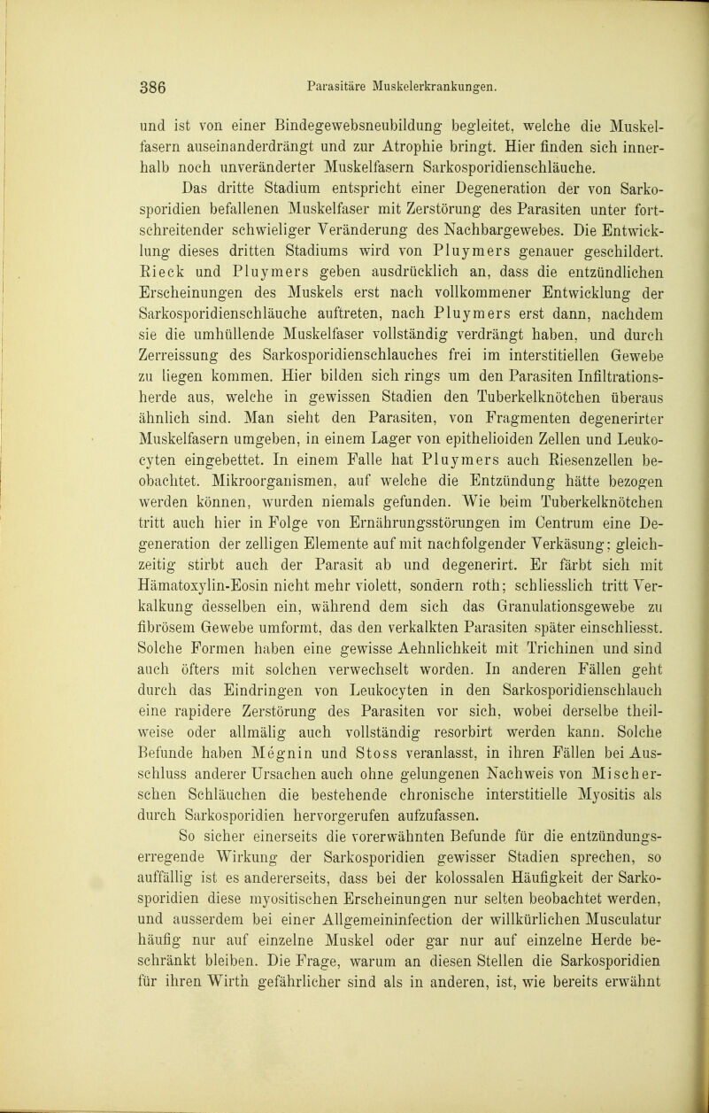 und ist von einer Bindegewebsneiibildung begleitet, welche die Muskel- fasern auseinanderdrängt und zur Atrophie bringt. Hier finden sich inner- halb noch unveränderter Muskelfasern Sarkosporidienschläuche. Das dritte Stadium entspricht einer Degeneration der von Sarko- sporidien befallenen Muskelfaser mit Zerstörung des Parasiten unter fort- schreitender schwieliger Veränderung des Nachbargewebes. Die Entwick- lung dieses dritten Stadiums wird von Pluymers genauer geschildert. Ei eck und Pluymers geben ausdrücklich an, dass die entzündlichen Erscheinungen des Muskels erst nach vollkommener Entwicklung der Sarkosporidienschläuche auftreten, nach Pluymers erst dann, nachdem sie die umhüllende Muskelfaser vollständig verdrängt haben, und durch Zerreissung des Sarkosporidienschlauches frei im interstitiellen Gewebe zu liegen kommen. Hier bilden sich rings um den Parasiten Infiltrations- herde aus, welche in gewissen Stadien den Tuberkelknötchen überaus ähnUch sind. Man sieht den Parasiten, von Fragmenten degenerirter Muskelfasern umgeben, in einem Lager von epithelioiden Zellen und Leuko- cyten eingebettet. In einem Falle hat Pluymers auch Eiesenzellen be- obachtet. Mikroorganismen, auf welche die Entzündung hätte bezogen werden können, wurden niemals gefunden. Wie beim Tuberkelknötchen tritt auch hier in Folge von Ernährungsstörungen im Centrum eine De- generation der zelhgen Elemente auf mit nachfolgender Verkäsung; gleich- zeitig stirbt auch der Parasit ab und degenerirt. Er färbt sich mit Hämatoxylin-Eosin nicht mehr violett, sondern roth; schliesslich tritt Ver- kalkung desselben ein, während dem sich das Granulationsgewebe zu fibrösem Gewebe umformt, das den verkalkten Parasiten später einschliesst. Solche Formen haben eine gewisse Aehnlichkeit mit Trichinen und sind auch öfters mit solchen verwechselt worden. In anderen Fällen geht durch das Eindringen von Leukocyten in den Sarkosporidienschlauch eine rapidere Zerstörung des Parasiten vor sich, wobei derselbe theil- weise oder allmähg auch vollständig resorbirt werden kann. Solche Befunde haben Megnin und Stoss veranlasst, in ihren Fällen bei Aus- schluss anderer Ursachen auch ohne gelungenen Nachweis von Mischer- schen Schläuchen die bestehende chronische interstitielle Myositis als durch Sarkosporidien hervorgerufen aufzufassen. So sicher einerseits die vorerwähnten Befunde für die entzündungs- erregende Wirkung der Sarkosporidien gewisser Stadien sprechen, so auffäUig ist es andererseits, dass bei der kolossalen Häufigkeit der Sarko- sporidien diese myositischen Erscheinungen nur selten beobachtet werden, und ausserdem bei einer Allgemeininfection der willkürlichen Musculatur häufig nur auf einzelne Muskel oder gar nur auf einzelne Herde be- schränkt bleiben. Die Frage, warum an diesen Stellen die Sarkosporidien für ihren Wirth gefährUcher sind als in anderen, ist, wie bereits erwähnt