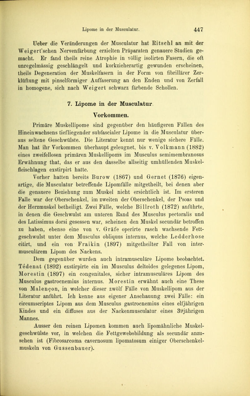 üeber die Teränderungen der Musculatur hat Eitschl an mit der Weigert'schen Nervenfärbung erzielten Präparaten genauere Studien ge- macht. Er fand theils reine Atrophie in Yöllig isolirten Fasern, die oft unregelmässig geschlängelt und korkzieherartig gewunden erscheinen, theils Degeneration der Muskelfasern in der Form von fibrillärer Zer- klüftung mit pinselförmiger Auffaserung an den Enden und von Zerfall in homogene, sich nach Weigert schwarz färbende Schollen. 7. Lipome in der Musculatur. Vorkommen. Primäre Muskellipome sind gegenüber den häufigeren Fällen des Hineinwachsens tiefliegender subfascialer Lipome in die Musculatur über- aus seltene Geschwülste. Die Literatur kennt nur wenige sichere Fälle. Man hat ihr Vorkommen überhaupt geleugnet, bis v. Yolkmann (1882) eines zweifellosen primären Muskellipoms im Musculus semimembranosus Erwähnung that, das er aus den dasselbe allseitig umhüllenden Muskel- fleischlagen exstirpirt hatte. Vorher hatten bereits Burow (1867) und Gernet (1876) eigen- artige, die Musculatur betreffende Lipomfälle mitgetheilt, bei denen aber die genauere Beziehung zum Muskel nicht ersichtlich ist. Im ersteren Falle war der Oberschenkel, im zweiten der Oberschenkel, der Psoas und der Herzmuskel betheiligt. Zwei Fälle, welche Billroth (1872) anführte, in denen die Geschwulst am unteren Band des Musculus pectoralis und des Latissimus dorsi gesessen war, scheinen den Muskel secundär betroffen zu haben, ebenso eine von v. Gräfe operirte rasch wachsende Fett- geschwulst unter dem Musculus obliquus internus, welche Ledderhose citirt, und ein von Fraikin (1897) mitgetheilter Fall von inter- musculärem Lipom des Nackens. Dem gegenüber wurden auch intramusculäre Lipome beobachtet. Tedenat (1892) exstirpirte ein im Musculus deltoides gelegenes Lipom, Morestin (1897) ein congenitales, sicher intramusculäres Lipom des Musculus gastrocnemius internus. Morestin erwähnt auch eine These von Malen9on, in welcher dieser zwölf Fälle von Muskellipom aus der Literatur anführt. Ich kenne aus eigener Anschauung zwei Fälle: ein circumscriptes Lipom aus dem Musculus gastrocnemius eines elfjährigen Kindes und ein diffuses aus der Nackenmusculatur eines 3yjährigen Mannes. Ausser den reinen Lipomen kommen auch lipomähnliche Muskel- geschwülste vor, in welchen die Fettgewebsbildung als secundär anzu- sehen ist (Fibrosarcoma cavernosum lipomatosum einiger Oberschenkel- muskeln von Gussenbauer).