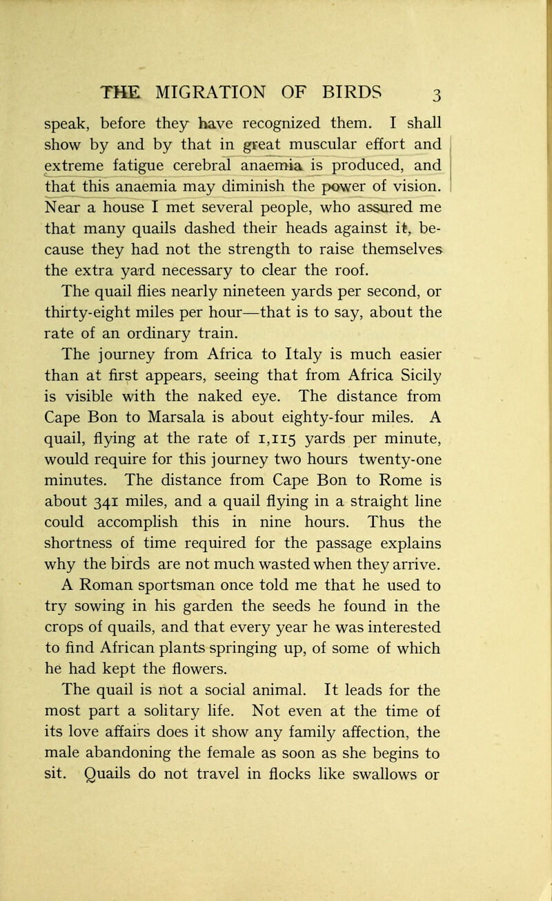 speak, before they have recognized them. I shall show by and by that in great muscular effort and extreme fatigue cerebral anaemia is produced, and that this anaemia may diminish the power of vision. Near a house I met several people, who assured me that many quails dashed their heads against it, be- cause they had not the strength to raise themselves the extra yard necessary to clear the roof. The quail flies nearly nineteen yards per second, or thirty-eight miles per hour—that is to say, about the rate of an ordinary train. The journey from Africa to Italy is much easier than at first appears, seeing that from Africa Sicily is visible with the naked eye. The distance from Cape Bon to Marsala is about eighty-four miles. A quail, flying at the rate of 1,115 yards per minute, would require for this journey two hours twenty-one minutes. The distance from Cape Bon to Rome is about 341 miles, and a quail flying in a straight line could accomplish this in nine hours. Thus the shortness of time required for the passage explains why the birds are not much wasted when they arrive. A Roman sportsman once told me that he used to try sowing in his garden the seeds he found in the crops of quails, and that every year he was interested to find African plants springing up, of some of which he had kept the flowers. The quail is not a social animal. It leads for the most part a solitary life. Not even at the time of its love affairs does it show any family affection, the male abandoning the female as soon as she begins to sit. Quails do not travel in flocks like swallows or