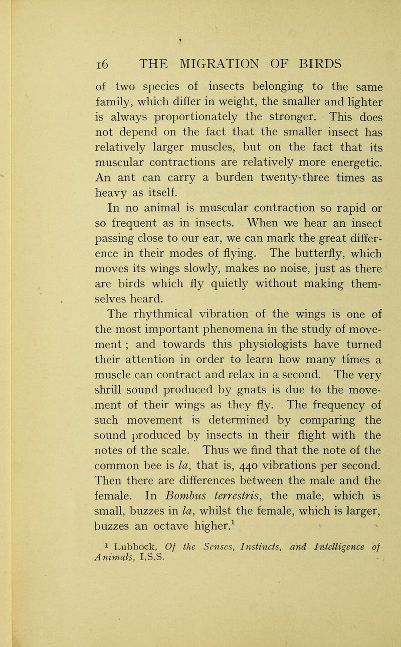 of two species of insects belonging to the same family, which differ in weight, the smaller and lighter is always proportionately the stronger. This does not depend on the fact that the smaller insect has relatively larger muscles, but on the fact that its muscular contractions are relatively more energetic. An ant can carry a burden twenty-three times as heavy as itself. In no animal is muscular contraction so rapid or so frequent as in insects. When we hear an insect passing close to our ear, we can mark the great differ- ence in their modes of flying. The butterfly, which moves its wings slowly, makes no noise, just as there are birds which fly quietly without making them- selves heard. The rhythmical vibration of the wings is one of the most important phenomena in the study of move- ment ; and towards this physiologists have turned their attention in order to learn how many times a muscle can contract and relax in a second. The very shrill sound produced by gnats is due to the move- ment of their wings as they fly. The frequency of such movement is determined by comparing the sound produced by insects in their flight with the notes of the scale. Thus we find that the note of the common bee is la, that is, 440 vibrations per second. Then there are differences between the male and the female. In Bombus terrestris, the male, which is small, buzzes in la, whilst the female, which is larger, buzzes an octave higher.1 1 Lubbock, Of the Senses, Instincts, and Intelligence of Animals, I.S.S.