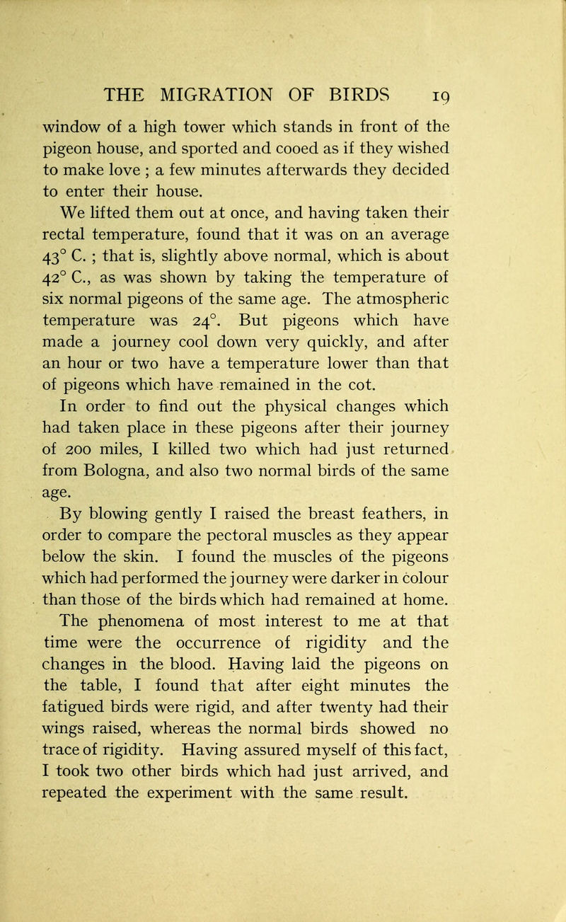 window of a high tower which stands in front of the pigeon house, and sported and cooed as if they wished to make love ; a few minutes afterwards they decided to enter their house. We lifted them out at once, and having taken their rectal temperature, found that it was on an average 430 C. ; that is, slightly above normal, which is about 420 C, as was shown by taking the temperature of six normal pigeons of the same age. The atmospheric temperature was 240. But pigeons which have made a journey cool down very quickly, and after an hour or two have a temperature lower than that of pigeons which have remained in the cot. In order to find out the physical changes which had taken place in these pigeons after their journey of 200 miles, I killed two which had just returned from Bologna, and also two normal birds of the same age. By blowing gently I raised the breast feathers, in order to compare the pectoral muscles as they appear below the skin. I found the muscles of the pigeons which had performed the j ourney were darker in colour than those of the birds which had remained at home. The phenomena of most interest to me at that time were the occurrence of rigidity and the changes in the blood. Having laid the pigeons on the table, I found that after eight minutes the fatigued birds were rigid, and after twenty had their wings raised, whereas the normal birds showed no trace of rigidity. Having assured myself of this fact, I took two other birds which had just arrived, and repeated the experiment with the same result.