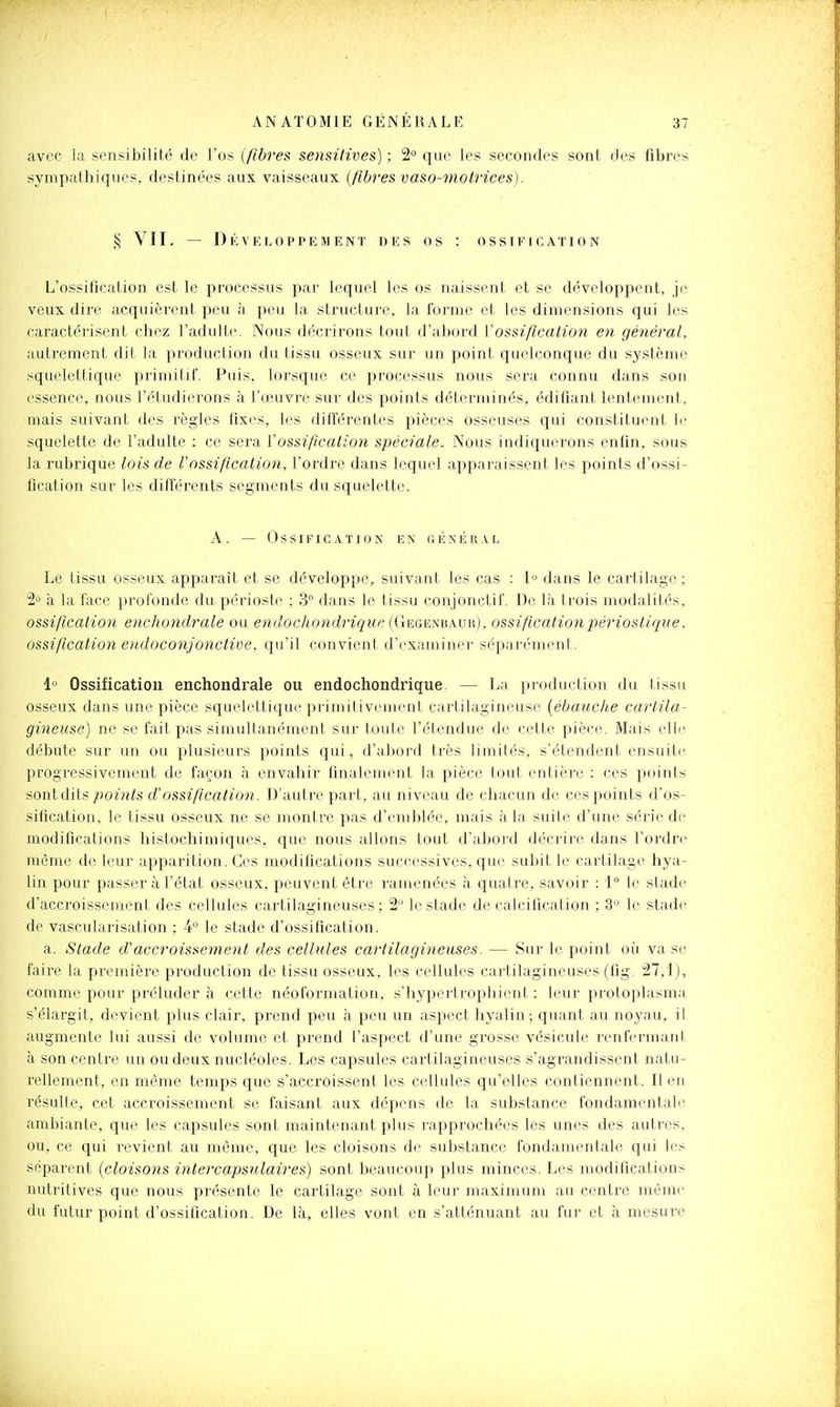 avec la sensibilité de l'os (fibres sensitives) ; 2° que les secondes sont des fibres sympathiques, destinées aux vaisseaux {fibres vaso-motrices). % VII. — D K VELOPPF: M ENT DES OS : OSSIFICATION L'ossification est le processus par lequel les os naissent et se développent, je veux dire acquièrent peu à peu la structure, la forme et les dimensions qui les caractérisent chez l'adulte. Nous décrirons tout d'abord Vossification en général, autrement dit la production du tissu osseux sur un point quelconque du systèmi^ squelettique primitif. Puis, lorsque ce processus nous sera connu dans son essence, nous l'éludicrons <à l'œuvre sur des points déterminés, édifiant lentement, mais suivant des règles fixes, les différentes pièces osseuses qui constituent le squelette de l'adulte : ce sera Vossification spéciale. Nous indiquerons enfin, sous la rubrique lois de Vossification, l'ordre dans lequel apparaissent les points d'ossi- fication sur les différents segments du squelette. A. — Ossification en général Le tissu osseux apparaît et se développe, suivant les cas : i» dans le cartilage ; S'» à la face profonde du périoste ; 3° dans le tissu conjonctif. De là trois modalités, ossification enchondrale ou endochondrique {(jK(iEmh.v)i), ossificationpérioslique. ossification endoconjonctive. qu'il convient d'examiner sépari'ment. 1 Ossification enchondrale ou endochondrique. — La production du tissu osseux dans une pièce squelettique priimlivemenl. cartilagineuse {ébauche cartila- gineuse) ne se fait pas simultanément sur toute l'étendue de cette pièce. Mais elle débute sur un ou plusieurs points qui, d'abord très limités, s'étendent ensuite progressivement de façon à envahir finalement la pièce tout entière : ces points iiorïïAïis points d'ossificatio7i. D'autre part, au niveau de chacun de ces points d'os- sification, le tissu osseux ne se montre pas d'emblée, mais à la suite d'une série de modifications liistochimiques, que nous allons tout d'abord décrire dans l'ordre même de leur apparition. Ces modifications successives, que subit le cartilage hya- lin pour passer à l'état osseux, peuvent être ramenées à quatre, savoir : 1° le stade d'accroissement des cellules cartilagineuses; 2'Mestade décalcification; 3 le stade de vascularisation ; 4° le stade d'ossification. a. Stade d'accroissement des cellules cartilagineuses. — Sur le point où va se faire la première production de tissu osseux, les cellules cartilagineuses (fig. 27,1), comme pour préluder à cette néoformation, s'hypertrophient : leur protoplasma s'élargit, devient plus clair, prend peu à peu un aspect hyalin; quant au noyau, il augmente lui aussi de volume et prend l'aspect d'une grosse vésicule renfermant à son centre un ou deux nucléoles. Les capsules cartilagineuses s'agrandissent natu- rellement, en même temps que s'accroissent les cellules qu'elles contiennent. Il en résulte, cet accroissement se faisant aux dépens de la substance fondamentale ambiante, que les capsules sont maintenant plus rapprochées les unes des autres, ou, ce qui revient au même, que les cloisons de substance fondamentale qui les séparent (cloiso7is intercapsulaires) sont beaucoup plus minces. Les modifications nutritives que nous présente le cartilage sont à leur maximum au centre même du futur point d'ossification. De là, elles vont en s'atténuant au fur et à mesure