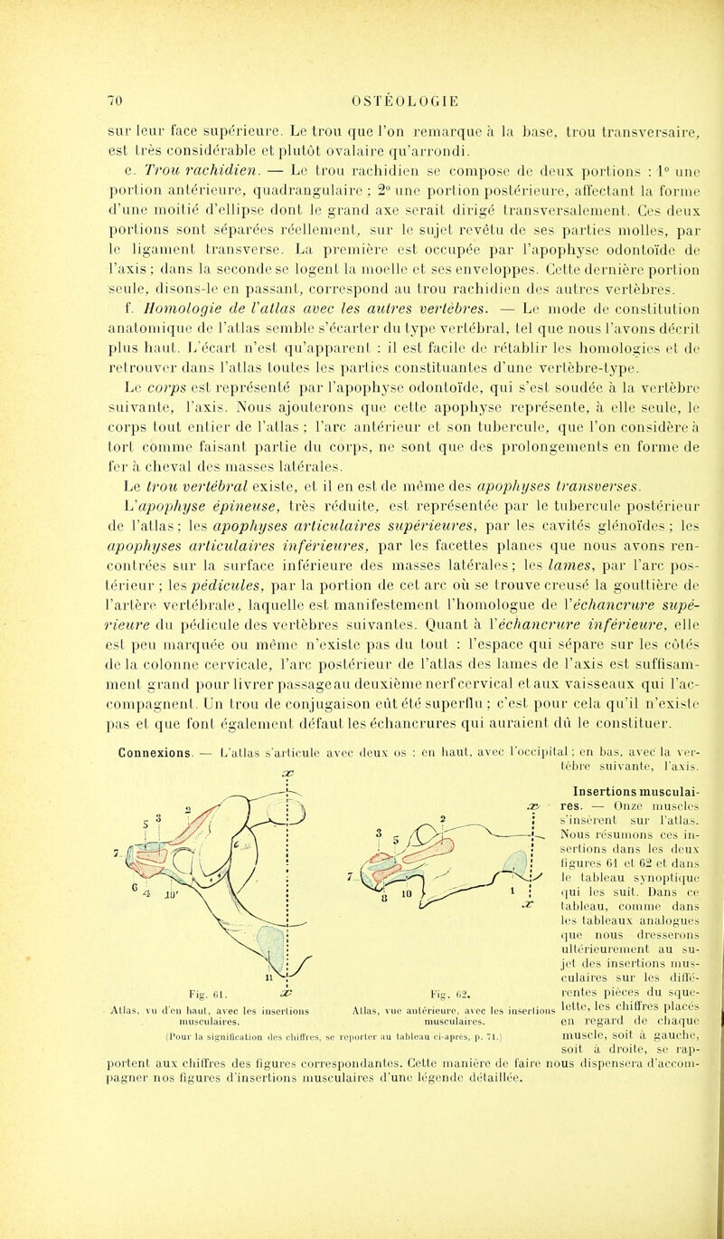 sur leur face supérieure. Le trou que l'on remarque à la base, trou transversaire, est très considérable et plutôt ovalaire qu'arrondi. e. Trou rachidien. — Le trou rachidien se compose de deux portions : 1° une portion antérienre, quadrangulaire ; 2° une portion postérieure, affectant la forme d'une moitié d'ellipse dont le grand axe serait dirigé transversalement. Ces deux portions sont séparées réellement, sur le sujet revêtu de ses parties molles, par le ligament transverse. La première est occupée par l'apophyse odontoïde de l'axis ; dans la seconde se logent la moelle et ses enveloppes. Cette dernière portion seule, disons-le en jjassant, correspond au trou rachidien des autres vertèbres. f. Honiologie de Vatlas avec les autres vertèbres. — Le mode de constitution anatomique de l'atlas semble s'écarter du type vertébral, tel que nous l'avons décrit plus haut. L'écart n'est qu'apparent : il est facile de rétablir les honiologies et de retrouver dans l'atlas toutes les parties constituantes d'une vertèbre-type. Le corps est représenté par l'apophyse odontoïde, qui s'est soudée à la vertèbre suivante, l'axis. Nous ajouterons que cette apophyse représente, à elle seule, le corps tout entier de l'atlas ; l'arc antérieur et son tubercule, que l'on considère à tort comme faisant partie du corps, ne sont que des prolongements en forme de fer à cheval des masses latérales. Le trou vertébral existe, et il en est de même des apophyses transverses. L'apophyse épineuse, très réduite, est représentée par le tubercule postérieur de l'atlas ; les apophyses artictilaires supérieures, par les cavités glénoïdes ; les apophyses articulaires inférieures, par les facettes planes que nous avons ren- contrées sur la surface inférieure des masses latérales ; les lames, par l'arc pos- térieur ; pédicules, par la portion de cet arc où se trouve creusé la gouttière de l'artère vertébrale, laquelle est manifestement l'homologue de ïéchancrure supé- rieure du pédicule des vertèbres suivantes. Quant à Vécha7iC7^U7'e inférieure, elle est peu marquée ou même n'existe pas du tout : l'espace qui sépare sur les côtés de la colonne cervicale, l'arc postérieur de l'atlas des lames de l'axis est suffisam- ment grand pour livrer passage au deuxième nerf cervical et aux vaisseaux qui l'ac- compagnent. Un trou de conjugaison eût été superflu ; c'est pour cela qu'il n'existe pas et que font également défaut les échancrures qui auraient dû le constituer. Connexions. L'atlas s'ai'liculc avec ce cil haut, avec roccipital ; en bas. avec la ver- (cbre suivante, l'a.vis. Insertions musculai- .■z> res. — Onze muscles s'insèrent sur l'atlas. Nous résumons ces in- sertions dans les deux ligures 61 et 62 et dans le tableau synoptique t|ui les suit. Dans ce tableau, comme dans les tableaux analogues que nous dresserons ultérieurement au su- jet des insertions mus- culaires sur les dilTc- Kig. (;2. rentes pièces du squu- Allas, vue auléi-ieure, avec les inserlions 'ctte, les chiffres placés musculaires. en regard de chaque (Pour la signiQcation «les cliiffros, se reporter au tableau ci-aprcs, p. 71.) mUSCle, SOit à gauchc, soit à droite, se rap- portent aux chiffres des ligures correspondantes. Cette manière de faire nous dispensera d'accom- pagner nos figures d'insertions musculaires d'une légende détaillée. AUas, vu d'en liaul, avec les inserlions musculaires.