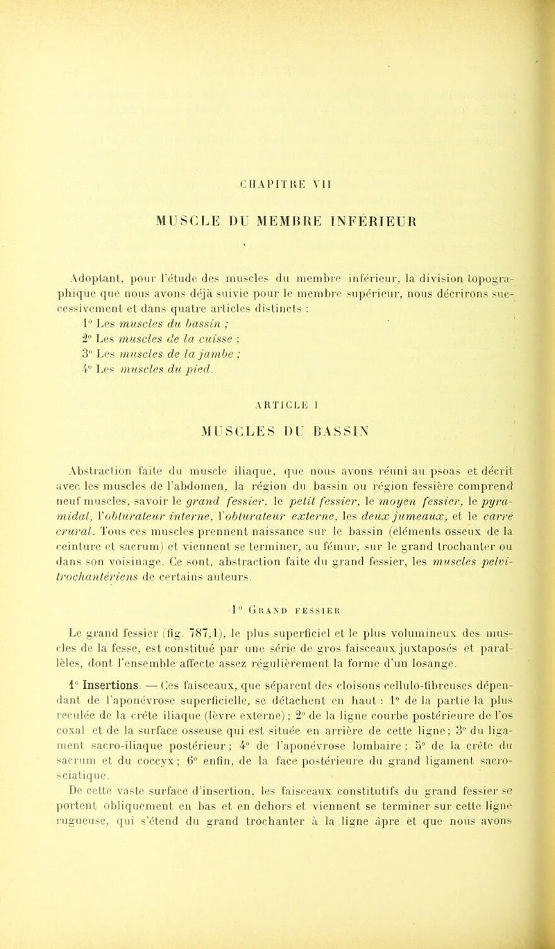 CHAPITRE VII MUSCLE DU MEMBRE INFÉRIEUR Adoptant, pour l'étude des muscles du membre inférieur, la division lopogra- phique que nous avons déjà suivie pour le membre supérieur, nous décrirons suc- cessivement et dans quatre articles distincts : 1 Les muscles du bassin ; 2° Les muscles de la cuisse ; 3° Les muscles de la jambe ; ¥ Les muscles du pied. ARTICLE I MUSCLES DU BASSIN Abstraction faite du muscle iliaque, que nous avons réuni au psoas et décrit avec les muscles de l'abdomen, la région du bassin ou région fessière comprend neuf muscles, savoir le grand fessier, le pelit fessier, le moyen fessier, le pyra- midal, Vobhcraleur interne, Vobturateur externe, les deux jumeaux, et le carré crural. Tous ces muscles prennent naissance sur le bassin (éléments osseux de la ceinture et sacrum) et viennent se terminer, au fémur, sur le grand trochanter ou dans son voisinage. Ce sont, absti'action faite du grand fessier, les muscles pelvi- trochantériens de certains auteurs. 1° Grand fessier Le grand fessier ffig. 787,1), le plus superficiel et le plus volumineux des mus- cles de la fesse, est constitué par une série de gros faisceaux juxtaposés et paral- lèles, dont l'ensemble afi'ecte assez régulièrement la forme d'un losange. 1 Insertions. —Ces faisceaux, que séparent des cloisons cellulo-fibreuses dépen- dant de l'aponévrose superficielle, se détachent en haut : 1° de la partie la plus reculée de la crête iliaque (lèvre externe) ; 2 de la ligne courbe postérieure de l'os coxal et de la surface osseuse qui est située en arrière de cette ligne: 3° du liga- ment sacro-iliaque postérieur; 4° de l'aponévrose lombaire; 5° de la crête du sacrum et du coccyx; 6° enfin, de la face postérieure du grand ligament sacro- sciatique. De cette vaste surface d'insertion, les faisceaux constitutifs du grand fessier se portent obliquement en bas et en dehors et viennent se terminer sur cette ligne rugueuse, qui s'étend du grand trochanter à la ligne âpre et que nous avons