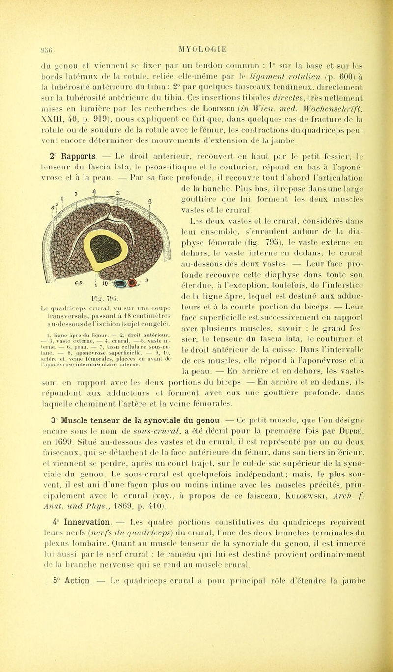 du genou et vicnneni se lixer pai^ un tendon commun : 1 sur la base et sur les bords latéraux d(> la rotule, reliée elle-même par le ligament rolulien (p. 600) à (a tubérosité antérieure du tibia ; 2° par quelques faisceaux tendineux, directement sur la tubérosité antérieure du tibia. Ces insertions tibiales directes, très nettement mises en lumière par les recherches de Lorinser {in Wien. nied. Wochenschrift. XXIII, 40, p. 919), nous expliquent ce fait que, dans quelques cas de fracture de la rotule ou de soudure de la rotule avec le fémur, les contractions du quadriceps peu- vent encore déterminer des mouvements d'extension de la jambe. 2° Rapports. — Le droit antérieur, recouvert en haut par le petit fessier, le tenseur du fascia lata, le psoas-iliaque et le couturier, répond en bas à l'aponé- vrose et à la peau. — Par sa face profonde, il recouvre tout d'abord l'articulation de la hanche. Plus bas, il repose dans une large gouttière que lui forment les deux muscles vastes et le crural. Les deux vastes et le crural, considérés dans leur ensemble, s'enroulent autour de la dia- physe fémorale (fig. 795), le vaste externe en dehors, le vaste interne en dedans, le crui'al au-dessous des deux vastes. — Leur face pro- fonde recouvre cette diaphyse dans toute son ('tendue, à l'exception, toutefois, de l'interstice de la ligne âpre, lequel est destiné aux adduc- teurs et à la courte portion du biceps. — Leur face superficielle est successivement en rappori avec plusieurs muscles, savoir : le grand fes- sier, le tenseur du fascia lata, le couturier et le droit antérieur de la cuisse. Dans l'intervalle de ces muscles, elle répond à l'aponévrose et à la peau. — En arrière et en dehors, les vastes sont en rapport avec les deux portions du biceps. —En arrière et en dedans, ils répondent aux adducteurs et forment avec eux une gouttière profonde, dans laquelle cheminent l'artère et la veine fémorales. Z Muscle tenseur de la synoviale du genou — Ce petit muscle, que l'on désigne encore sous le nom de sous-crural, a été décrit pour la première fois par Dupré, en 1699. Situé au-dessous des vastes et du crural, il est représenté par un ou deux faisceaux, qui se détachent de la face antérieure du fémur, dans son tiers inférieur, et viennent se perdre, après un court trajet, sur le cul-de-sac supérieur de la syno- viale du genou. Le sous-crural est quelquefois indépendant; mais, le plus sou- vent, il est uni d'une façon plus ou moins intime avec les muscles précités, prin- cipalement avec le crural (voy., à propos de ce faisceau, Kuloewski, Arch. f. Anat. und Phys., 1869, p. 410). 4'' Innervation. — Les quatre portions constitutives du quadriceps reçoivent leurs nerfs {nerfs du quadriceps) du crural, l'une des deux branches terminales du plexus lombaire. Qnant au muscle tenseur de la synoviale du genou, il est innervé lui aussi parle nerf crural : le rameau qui lui est destiné provient ordinairement (le la branche nerveuse qui se rend au muscle crural. 5° Action. — Le quadriceps crural a pour principal rôle d'étendre la jambe Fis. 79o. Le quadriceps crural, vu sur une coupe transversale, passant à 18 cenlimètres au-(iessous de l'ischion (sujet congelé). 1, ligne âpre (3u fémur. — 2, droit antérieur. — 3, vaste externe, — 4, crural. — vaste in- terne. — tj, peau. — 7, tissu cellulaire sous-cu- tané. — 8, aponévrose superficielle. — 0, 10. artère et veine fémorales, placées en avant de l'aponévrose intermusculaire interne.