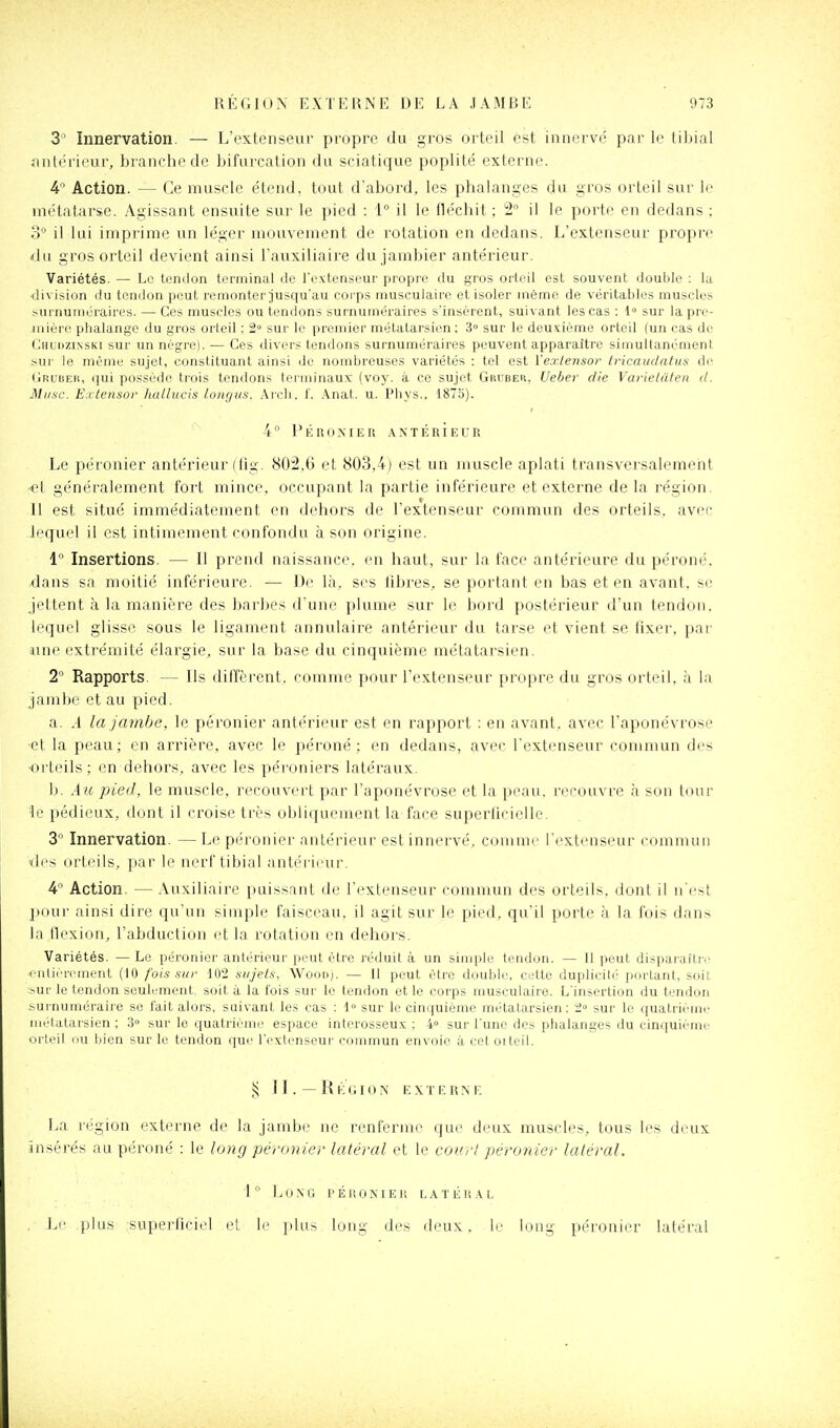 3 Innervation. — L'extenseur propre du gros orteil est innervé par le tiljial ïintéricur, branche de bifurcation du sciatique poplité externe. 4 Action. — Ce muscle étend, tout d'abord, les phalanges du gros orteil sur le métatarse. Agissant ensuite sur le pied : 1° il le fléchit ; 2 il le porte en dedans ; 3° il lui imprime un léger mouvement de rotation en dedans. L'extenseur propre du gros orteil devient ainsi l'auxiliaire dujambier antérieur. Variétés. — Le tendon terminal de l'extenseur propre du gros orteil est souvent double : la division du tendon peut remonter]usquau corps musculaire cl isoler même de véritables muscle.s surnumtjraires. — Ces muscles ou tendons surnuméraires s'insèrent, suivant les cas : 1° sur la pre- iiiièrc phalange du gros orteil : 2° sur le premier métatarsien: 3 sur le deuxième orteil (un cas de (Jhuiizinski sur un nègre). — Ces divers tendons surnuméraires peuvent apparaître simultanément sur le même sujet, constituant ainsi de nombreuses variétés : tel est Vexlensor Lricaudntus di' (iRUBER, qui possède trois tendons tej'iiiinaux (voy. à ce sujet Gruber, Ueber die Varieldten d. Musc. E:itensor hatlucis longiis. Arch. f. Anat. u. Pliys., 1875). 4° Pli ROME « ANTÉRIEUR Le péronier antérieur (tig. 802.6 et 803.4) est un muscle aplati transvei'salemeht ■et généralement fort mince, occupant la partie inférieure et externe de la région. U est situé immédiatement en dehors de l'extenseur commun des orteils, avec lequel il est intimement confondu à son origine. 1° Insertions. — U prend naissance, en haut, sur la face antérieure du péroné, dans sa moitié inférieure. — De là. ses fibres,, se portant en bas et en avant, se jeltent à la manière des barbes d'une plume sur le bord postérieur d'un tendon, lequel glisse sous le ligament annulaire antérieur du tarse et vient se fixer, par «ne extrémité élargie, sur la base du cinquième métatarsien. 2 Rapports. — Ils diffèrent, comme pour l'extenseur propre du gros orteil, à la jambe et au pied. a. A la jambe, le péronier antérieur est en rapport : en avant, avec l'aponévrose -et la peau; en arrière, avec le péroné : en dedans, avec l'extenseur commun des •orteils; en dehors, avec les péroniers latéraux. b. Au pied, le muscle, recouvert par l'aponévrose et la peau, recouvre à son tour le pédieux, dont il croise très obli(pi('inent la face superficielle. 3 Innervation. — Le péronier antérieur est innervé, comme l'extenseur commun des orteils, par le nerf tibial antéi'ieur. 4 Action. — Auxiliaire puissant de l'extenseur commun des orteils, dont il n'est pour ainsi dire qu'un simple faisceau, il agit sur le pied, qu'il porte à la fois dans la flexion, l'abduction et la rotation en dehors. Variétés. — Le péronier antérieur peut être réduit à un simple tendon. — Il peut disparaître enlièroinent (10 fois sur 102 sujets, Wood). — Il peut être double, cette duplicité portant, soit sur le tendon seulement, soit à la fois sur le tendon et le corps musculaire. L'insertion du tendon surnuméraire se fait alors, suivant les cas : 1° sur le cinquième métatarsien: 2» sur le quatrième métatarsien ; 3» sur le quatrième espace interosseux ; 4° sur l'une des phalanges du cinquième orteil ou bien sur le tendon que l'extenseur commun envoie à cet oiteil. § ] I . — Rl^UilON KXTERNF. La i-égion externe de la jambe ne renferme que deux muscles, tous les deux insérés au péroné : le long péronier latéral et le court péronier latéral, \ Long péiîoniei; latér.^l Le plus superficiel et le plus long des deux, le long péronier latéral
