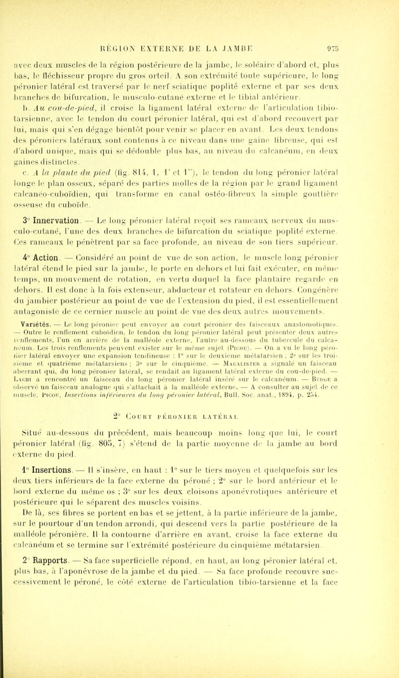 nvoc deux muscles de la région postérieure de la jambe, le soléaire d'abord et, plus Ijas, le fléchisseur propre du gros orteil. A son exti'émité toute supérieure, le long péronier latéral est traversé par le nerf sciatique poplité externe et par ses deux branches de bifurcation, le niusculo-cutané externe et le tibial antérieur. b. Au cou-de-pied, il croise la ligament latéral exterm de rarticulalicui libio- tarsicinne, avec le tendon du court péronier latéral, qui est d'abord recouvert pai' lui, mais qui s'en dégage bientôt poui'venir se placer en avant. Les deux tendons des péroniers latéraux sont contenus à ce niveau dans une gaine iibi'eusi', qui est d'abord unique, mais qui se dédouble plus bas. nu niveau du cak-anéuiu. en deux gaines distinctes, e. A la plante du pied (tig. (SU. 1. 1' et 1). le tendon du long péronier lati'rai longe le plan osseux, séparé des parties molles de la région par le grand ligauienl calcanéo-cuboïdien, qui transforme en canal ostéo-libreux la simple gouttière ■osseuse du cuboïde. 3 Innervation. — Le long péronier latéral reçoit ses rameaux nerveux du mus- culo-cutané, l'une des deux branches de bifurcation du sciatique poplité externe. €es rameaux le pénètrent par sa face profonde, au niveau de son tiers supérieur. 4° Action. — (Considéré au point de vue de son action, le muscle long péronier latéral étend le pied sur la jambe, le porte en dehors et lui fait exécuter, en nuhue temps, un mouvement de rotation, en vertu duquel la face plantaire regarde en dehors. Il est donc à la fois extenseur, abducteur et rotateur en dehors. Congénère du jambier postérieur au point de vue de l'extension du pied, il est essentiellement rintagonistc de ce cerniei' muscle au point de vue des deux autres mouvements. Variétés. — Le long péronier peut envoyer au court péronier des tai.sceaux anastoiiioti(|ue.s. — Outre le renflement cuboïdien. le tendon du long péronier latéral peut présenter deux autre.s renflements, l'un en arriére de la malléole externe, l'autre au-dessous du tuljei'cule du calca- Jiéum. Les trois renflements peuvent exister sur le même sujet (l'icou). — On a vu le long péro- liier latéral envoyer une expansion tendineuse : 1° sur le deuxième métatarsien; 2» sur les troi- .siéme et (juatrième métatarsiens ; 3 sur le cinquième. — Mac.\listeu a signalé un faisceau aberrant qui, du long péronier latéral, se rendait au ligament latéral externe du cou-de-picd. — L,\CHi a rencontré un faisceau du long péronier latéral inséré sur le calcanéum. — Budue a observé un faisci'au analogue qui s'attachait à la malléole externe. — A consulter au sujet de ce ■muscle, Picou, Insertions inférieures du long péronier latéral, Bull. Soc. anat., 1894, p. 254. 2° (J 0 U U T 1' É U 0 X I E lî L .\ T É li A L Situé au-dessous du pi'écédent, mais beaucoup moins long que lui, le court péronier latéral (fig. 803, 7) s'étend de la partie moyenne d(- la jambe au bord externe du pied. 1 Insertions. — 11 s'insère, en haut : 1 sur le tiers moyen et quelquefois sur les deux tiers inférieurs de la face externe du péroné ; 2° sur le bord antérieur et le bord externe du même os ; 3° sur les deux cloisons aponévrotiques antérieure et postérieure qui l(> séparent des muscles voisins. De là, ses fibres se portent en bas et se jettent, à la partie inférieure de la jambe, sur le pourtour d'un tendon arrondi, qui descend vers la partie postérieure de la malléole péronière. Il la contourne d'arrière en avant, croise la face externe du ralcanéum et se termine sur l'extrémité postérieure du cinquième métatarsien. 2' Rapports. — Sa face superticielle répond, en haut, au long péronier latéral et. plus bas, à l'aponévrose de la jambe et du pied. — Sa face profonde recouvre suc- ■cessivement le péroné, le côté externe de l'articulation tibio-tarsienne et la face