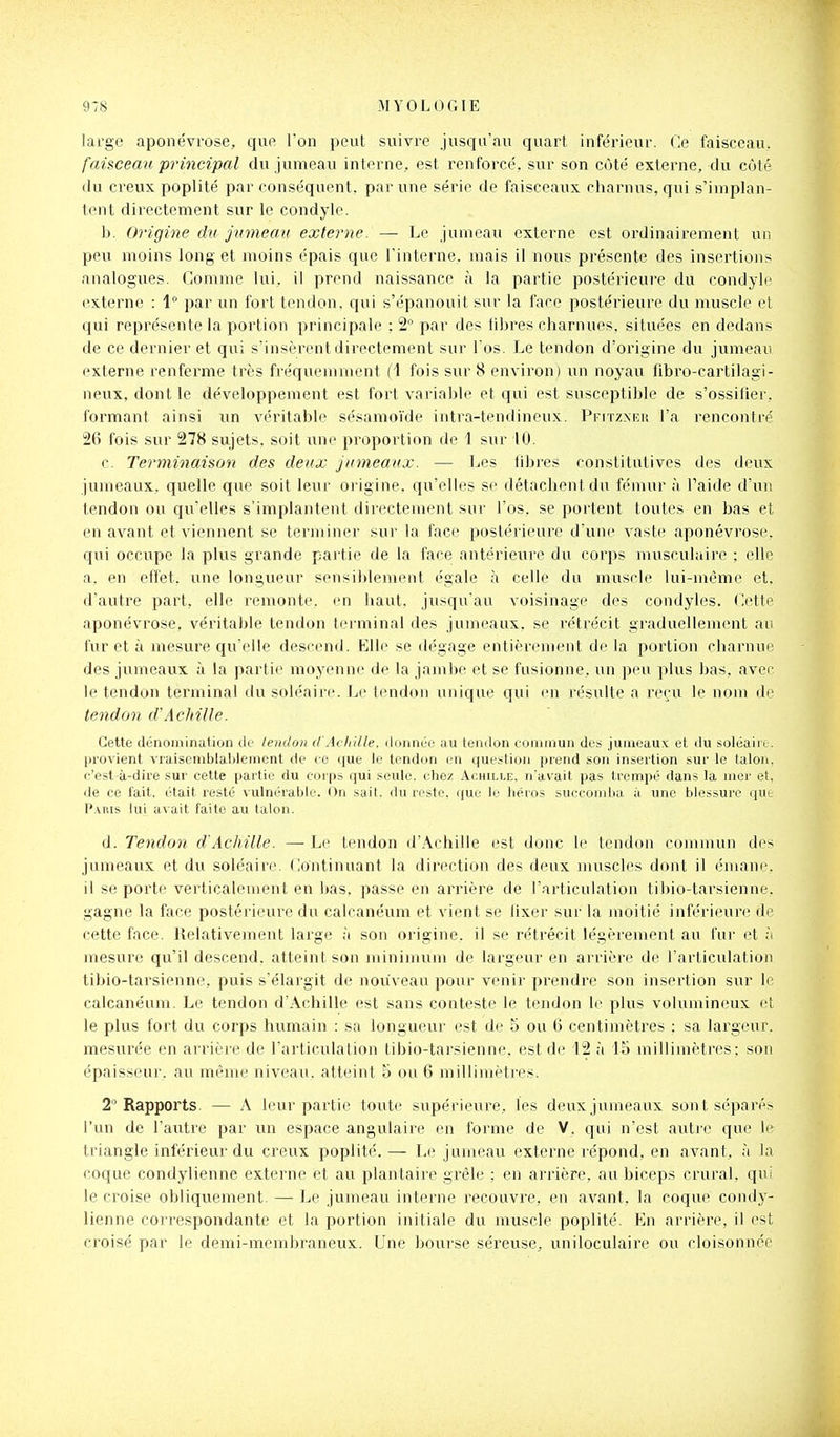 large aponévrose, que Ton peut suivre jusqu'au quart inférieur. Ce faisceau, faisceau principal du jumeau interne, est renforcé, sur son côté externe, du côté du creux poplité par conséquent, par une série de faisceaux charnus, qui s'implan- tent directement sur le condyle. b. Origine du jumeau externe. — Le jumeau externe est ordinairement un peu moins long et moins épais que l'interne, mais il nous présente des insertions analogues. Gomme lui, il prend naissance à la partie postérieure du condyle externe : 1° par un fort tendon, qui s'épanouit sur la face postérieure du muscle et qui représente la portion principale : 2° par des libres charnues, situées en dedans de ce dernier et qui s'insèrent directement sur l os. Le tendon d'origine du jumeau externe renferme très fréquemment {\ fois sur 8 environ) un noyau fibro-cartilagi- neux, dont le développement est fort variable et qui est susceptible de s'ossilier, formant ainsi un véritable sésamoïde intra-tendineux. PFnzNEu l'a rencontré 26 fois sur 278 sujets, soit une proportion de 1 sur 10. c. Terminaison des deux jumeaux. — Les fibres constitutives des deux jumeaux, quelle que soit leur origine, qu'elles se détachent du fémur à Paide d'un tendon ou qu'elles s'implantent directement sur l'os, se portent toutes en bas et en avant et viennent se terminer sur la face postérieure d'une vaste aponévrose, qui occupe la plus grande partie de la face antérieure du corps musculaire ; elle a, en effet, xme longueur sensiblement égale à celle du muscle lui-même et. d'autre part, elle remonte, en haut, jusqu'au voisinage des condyles. Cette aponévrose, véritable tendon terminal des jumeaux, se l'étrécit graduellement au fur et à mesure qu'elle descend. Elle se dégage entièrement delà portion charnue des jumeaux à la partie moyenne de la jambe et se fusionne, un peu plus bas. avec le tendon terminal du soléaire. Le tendon unique qui en résulte a reçii le nom de tendon d'Achille. Cette dénomination de tendon d'Achille, donnée au tendon conmiun des jumeaux et du soléaire. provient vraisemblablement de ce que le tendon en question prend son insertion sur le talon, c'est à-dire sur cette partie du corps qui seule, cliez Achille, n'avait pas trempé dans la mer et, de ce l'ait, était resté vulnérable. On suit, du reste, que le liéros succomba à une blessure que P.vnis lui avait faite au talon. d. Tendon d'Achille. — Le tendon d'Achille est donc le tendon commun des jumeaux et du soléaire. Continuant la direction des deux muscles dont il émane, il se porte verticalement en bas, passe en arrière de l'articulation tibio-tarsienne. gagne la face postérieure du calcanéum et vient se tixer sur la moitié inférieure de cette face. Relativement large à son origine, il se rétrécit légèrement au fur et à mesure qu'il descend, atteint son minimum de largeur en arrière de l'articulation tibio-tarsienne, puis s'élargit de nouveau pour venir prendre son insertion sur le calcanéum. Le tendon d'Achille est sans conteste le tendon le plus volumineux et le plus fort du corps humain : sa longueur est de 5 ou 6 centiiuètres ; sa largeur, mesurée en arrière de l'articulation tibio-tarsienne. est de 12 à 15 millimètres; son épaisseur, au même niveau, atteint 5 ou 6 millimètres. 2° Rapports. — A leur partie toute supérieure, les deux jumeaux sont séparés l'un de l'autre par un espace angulaire en forme de V. qui n'est autre que le triangle inférieur du creux poplité.— Le jumeau externe répond, en avant, à la coque condylienne externe et au plantaire grêle : en arrière, au biceps crural, qui le croise obliquement. — Le jumeau interne recouvre, en avant, la coque condy- lienne correspondante et la portion initiale du muscle poplité. En arrière, il est croisé par le demi-membraneux. Une bourse séreuse, uniloculaire ou cloisonnée