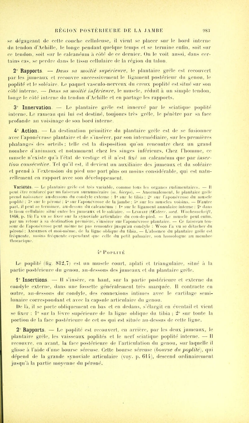 sp olc'gageanl de cetlo couche cellulcuse, il vient se placer sur le bord intcnic du lendon d'Achille, le longe pendant quelque temps et se termine enfin, soit sur ce tendon, soil sur le calcanéum à cùto' de ce dernier. On le voit aussi, dans cer- tains cas. se pei'drr dans le tissu cellulaire de la région du talon. 2' Rapports. — Dans sa moilié supérieiire, le plantaire grèl<' est recouvert par les jumeaux et recouvre successivement le ligament postérieur du genou, le poplité et le soléaire. I^e paquet vasculo-nerveux du creux poplité est situé sur son enté intei-ne. — Dans sa moitié inféiieure. le muscle, réduit à un simple tendon, longe le côté interne du tendon d'Achille et en partage li's rapports. 3' Innervation. — Le plantaire grêle est innervé par le sciati(]ue poplité interne. Le rameau qui lui est destiné, toujours très grêle, le pénètre par sa face profonde au voisinage de son liord interne. 4 Action. — La destination primitive du plantaire grêle est de se fusionner avec l'aponévrose plantaire et de s'insérer, par son intermédiaire, sur les premières phalanges des orteils : telle est la disposition qu'on rencontre chez un grand nombre d'animaux et notamment chez les singes inférieurs. Chez l'homme, C(^ muscle n'existe qu'à l'état de vestige et il n'est fix(' au calcanéum que par inser- tion consécutive. Tel qu'il est, il devient un auxiliaire des jumeaux et du soléaire et prend à l'extension du pied une part plus ou moins considérable, qui est natu- rellement en rapport avec son développement. Variétés. — Le planlaiiu givle est très variable, comme tous les organes rudimeiilaires. — Il l>eiU étir reiitorcé pai'un faisceau surnuméraire (m. biceps). — Anormalement, le plantaire giéle |ireiiil naissance au-dessous du condyie externe : 1» sur le tiljia : sur l'aponévrose <lu mu.-îcle lioplilé : 3 sur le péroné; 4° sur l'aponévrose de la jambe : sur les muscles voisins. — D'autre part, il peut se terminer, au-dessus du calcanéum : 1» sur le ligament annulaire interne : 2 dans le tissu cellulaire situé cntie les jumeaux; et le soléaii'e. — Li\h.\iit (Œsfevr. med. Wocliei)sclirift, p. H) l'a vu se fixer sur la synoviale articulaire du ci>u-de-pied. — Le muscle peut enlin. par un retour à sa destination première, s'insérei' sur l'aitonéviose plantaire. — Ce laisceau leii- seur de l'aponévrose peut même ne pas remonter jusqu'au condyie : Wood l'a vu se détacher du péroné; Anderson et moi-même, de la ligne oblique du tibia. — L'absence du plantaire grêle est fréquente, moins fréquente cependant i(uc celle du pelil palmaire, son homologue au membre thoracique. 4 P (11' LI T É Le poi)lit('' (lig. ^iii.T) est un muscli' court, aiilali et triangulaire. ?~iUié à la jiartie postérieure du genou, au-dessous des jumeaux el du plantaire grêle. 1- Insertions. — Il s'insère, en haut, sur la partie postérieure et externe du romJyle externe, dans une fossette généralement très marquée. Il contracte en outre, au-dessous du' condyie, des connexions intimes avec le cartilage semi- lunaire correspondant et avec la capsule articulaire du genou. J)e là. il se porte obliquement en bas et en dedans, s'élargit en éventail et vient se fixer : l'' sur la lèvre supérieure de la ligne oblique du tibia ; 2 sur toute la portion de la face postérieure de cet os qui est située au-dessus de cette ligne. 2' Rapports. — Le poplité est recouvert, en arrière, par les deux jumeaux, le plantaire grêle, les vaisseaux poplités et le nerf sciatique poplité interne. — Il recouvre, en avant, la face postérieure de l'articulation du genou, sur laquelle il glisse à l'aide d'une bourse séreuse. Cette bourse séreuse (bourse du poplité), qui ilépend de la grande sjnoviale articulaire (voy. p. 614), descend ordinairement jusqu'à la partie moyenne du péroné.
