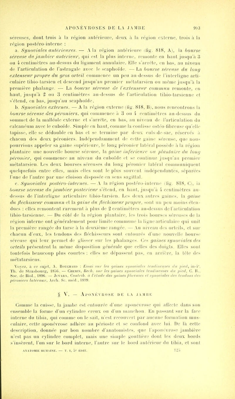APONÉVROSES DK LA .lAMItK 9H3 séreuses, dont trois à la région .intérieure, deux ;i la région externe, trois à la région postéro-interne : a. Synoviales anlériexres.— A la région antérieui'c (fig. 818, A), la bourse séreuse du jainbicr antérieur, qui est la plus interne, icnionti' en haut jusqu'.à 3 ou 4 centimètres au-dessus ilu ligament annulaij'e. Klle sari ('li', en bas. au niveau de l'articulation de l'astragale avec le scaphoïde. — La bourse séreuse du long extenseur propre du gros orteil commence un peu au-dessus de l'interligne arti- culaire tibio-larsien et descend jusqu'au premier mi'tatarsien ou même jusqu'à la première phalange. — La bourse séreuse de Vextenseur commun remonte, en haut, jusqu'à 2 ou 3 centimètres au-dessus de l'arliculation tibio-tai'sienne et s'étend, en bas, jusqu'au scaphoïde. b. Synoviales externes. — A la région externe (lig. 818, B), nous rencontrons la bourse séreuse des péroniers, qui commence à 3 ou 4 çiMitimètres au-dessus du sommet de la malléole externe et s'arrête, en bas. au niveau de l'articulation du calcanéum avec le cuboïde. Simple en haut, comme la eoulisse ostéo-fibreuse qu'elle tapisse, elle se dédouble en bas et se termine par deux culs-dc-sac. réservés à chacun des deux péroniers. Indépendamment di' c< Lle gaine sércuise, que nuu> pourrions appeler sa gaine supérii'ure, b^ long péi onier latéual possède à la région plantaire une nouvelle bourse séreuse, la gaine inférieure ou plantaire du long péronier, qui commence au niveau du cuboïde et se continue jusqu'au premier métatarsien. Les deux bourses séreuses du long péronier latéral communiquenl quelquefois entre elles, mais elles sont le plus souvient indépendantes, séparées l'une de l'autre par une cloison disposée en sens sa g i liai. c. Synoviales posléro-internes. —A la région postéi'u-interne dig. 818, C), ia bourse séreuse du jambier postérieur s'élend, en haut, jusqu'à 4 centimètres au- dessus de l'interligne articulaii'e libio-larsien. Les deux auti'es gaiiies, la gaine du /lechisseicr commun et la gaine du /léc/iisseur pi'opre. sunl un peu moins élen- dues : elles remontent rarenuuit à plus di- 2 ceni iiiiM ces au-dessus de Tari ieulal ion libio-tarsienne. — Du côté de la légion plantaire, b's lidis bourses séreuses de la région interne ont généralenuMit ])our limile commune la ligne ai'ticulaiiv qui unil la première rangée du tarse à la deuxième rangée. — .Vu niveau des orteils, et sui- chacun d'eux, les tendons des lléchisseurs sont enlouiés d'une nouvelle bourse séreuse qui leur permet de glisser sur les phalanges. Ces gaines synoviales des or/eiVs présentent la même disposition g(''nérale que ciMles des doigts. Elles soni toutefois beaucoup plus courti'S : elles m' dépassent pas. en arrière, la tète des métatarsiens. Y(jvez, à ce sujel. .\. Bouch.vi'.d : Essai sur les r/idiies si/iiurin/i-s li'iiiruK'uars i/ii jiieil, iii-i. Tii. de Strasbourg, ISoG. — Ghe.min, Récit, sur les ;/aiiies si/iiorialcs /endiiieuses du pied, C. H.. Soc. de BioL. 1896. — ,Jijv.\r.v, Co/ilrib. à L'eliidc des (jaines pin eiises el sijiioriales des tendons des péroniers latérau.r, .\rcli. Se. inéd., 1899. § V. — Ai'ONKVllOSE \)E \.À J A .MC, K Comme la cuisse, la jambe esteutouréi' d'une apiMiévrose qui affecte dans son ensemble la forme d'un cylindre creux ou d'un niaurhon. En passant sur la face interne du tibia, qui comme on le sait, n'est recouvert par aucune formation mus- culaire, cette aponévrose adhère au périoste et se confond avec lui. De là cette description, donnée par bon nombre d'anatoniistes. que l'aponévrose jambière n'est pas un cylindre complet, mais une simple gouttière dont les deux bords s'insèrent, l'un sur le bord interne, l'autre sur le bord antérieur du tibia, et sonI