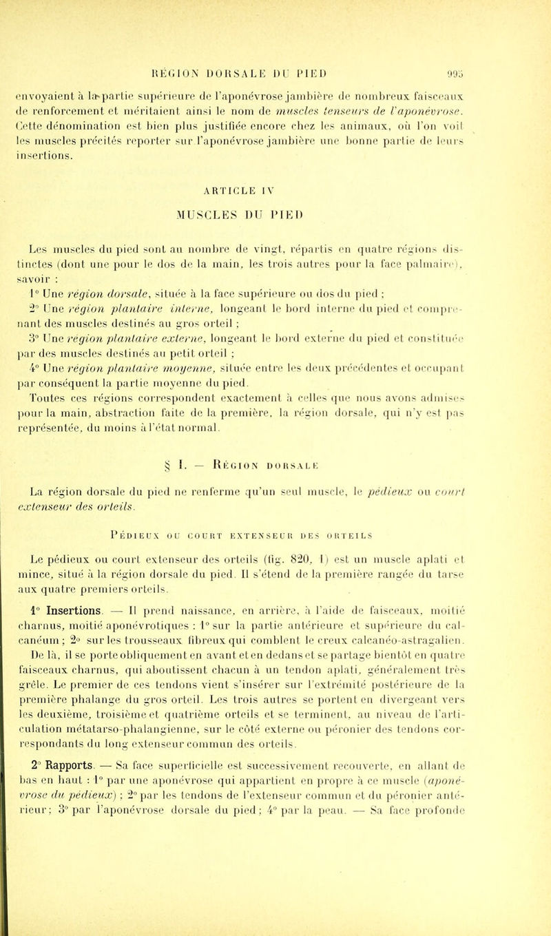 envoyaient à la»partie supérieure de l'aponévrose jambière de nombreux, faisceaux, de renforcement et méritaient ainsi le nom de muscles tenseurs de l'aponévrose. Otte dénomination est bien plus justifiée encore chez les animaux, où l'on voit les muscles précités reporter sur l'aponévrose jambière une bonne parlie de imirs insertions. ARTICLE IV MUSCLES DU PIED Les muscles du pied sont au nombre de vingt, répartis en quatre régions dis- tinctes (dont une pour le dos de la main, les trois auti'es pour la face palmnirc), savoir : 1° Une région dorsale, située à la face supérieure ou cios du pied ; 2 Une région plantaire interne, longeant le bord interne du pied et compri-- nant des muscles destinés au gros orteil ; 3 Une région plantaire externe, longeant le bord externe du pied et constitu(''o par des muscles destinés au petit orteil ; 4° Une région plantaire moyenne, située entre les deux précédentes et occupant par conséquent la partie moyenne du pied. Toutes ces régions correspondent exactement à celles que nous avons admises pour la main, abstraction faite de la première, la région dorsale, qui n'y est pas représentée, du moins àl'état normal. § [. — R li G I 0 N D 0 R s A L K La région dorsale du pied ne renferme qu'un seul muscle, le pédieux ou com-t extenseur des orteils. Pédieux ou court extenseur des oli reils Le pédieux ou court extenseur des orteils (tlg. 820, l) est un muscle aplati et mince, situé à la région dorsale du pied. Il s'étend de la première rangée du tarse aux quatre premiers orteils. 1° Insertions. — Il prend naissance, en arrière, à l'aide de faisceaux, moitié charnus, moitié aponévrotiques : 1° sur la partie antérieure et supérieure du cal- canéum ; 2o sur les trousseaux fibreux qui comblent le creux calcanéo-astragalien. De là, il se porte obliquement en avant et en dedans et se partage bientôt en quatre faisceaux charnus, qui aboutissent chacun à un tendon aplati, généralement très grêle. Le premier de ces tendons vient s'insérer sur l'extrémité postérieure de la première phalange du gros orteil. Les trois autres se portent en divergeant vers les deuxième, troisième et quatrième orteils et se terminent, au niveau de l'arli- culation métatarso-phalangienne, sur le côté externe ou péronier des tendons cor- ri'spondants du long extenseur commun des orteils. 2 Rapports. — Sa face superficielle est successivement recouverte, en allant de bas en haut : 1 par une aponévrose qui appartient en propre à ce muscle {aponé- vrose du pédieux) ; 2 par les tendons de l'extenseur commun et du péronier anté- rieur; 3 par l'aponévrose dorsale du pied; 4° par la peau. — Sa face profonde