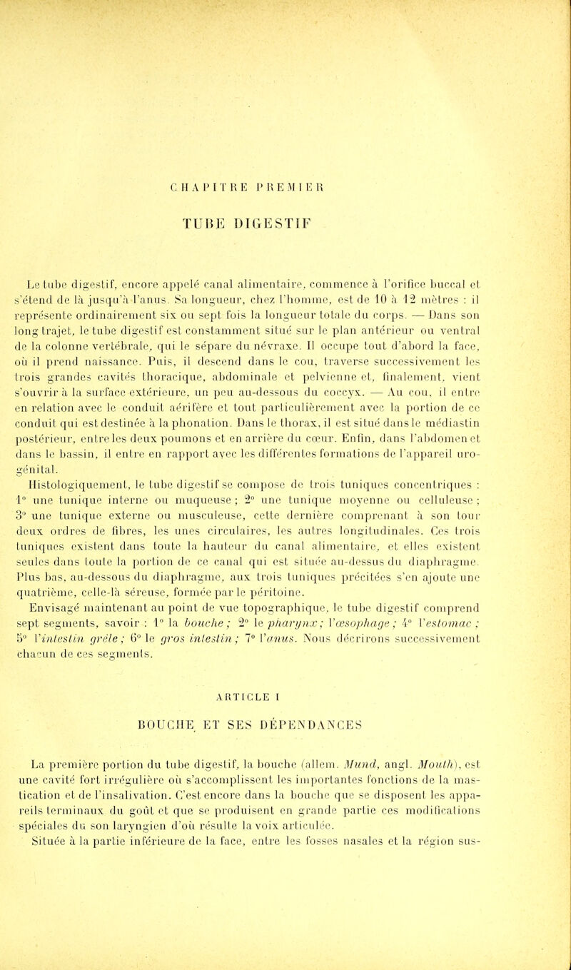 C H A PITRE l'REiMlER TUBE DIGESTIF Le tube digestif, encore appelé canal alimentaire, commence à l'orifice buccal et s'étend de là jusqu'à l'anus. Sa longueur, chez l'homme, est de 10 à 'lî2 mètres : il représente ordinairement six ou sept fois la longueur totale du corps. — Dans son long trajet, le tube digestif est constamment situé sur le plan antérieur ou ventral de la colonne vertébrale, qui le sépare du névraxe. Il occupe tout d'abord la face, oîi il prend naissance. Puis, il descend dans le cou, traverse successivement les trois grandes cavités thoracique, abdominale et pelvienne et, finalement, vient s'ouvrira la surface extérieure, un peu au-dessous du coccyx. — Au cou, il entre en relation avec le conduit aéril'ère et tout particulièrement avec la portion de ce conduit qui est destinée à la phonation. Dans le thorax, il est situé dans le médiastin postérieur, entreles deux poumons et en arrière du cceur. Enfin, dans l'abdomen et dans le bassin, il entre en rapport avec les différentes formations de l'appareil uro- génital. Ilistologiquement, le tube digestif se compose de trois tuniques concentriques : i une tunique interne ou muqueuse ; 2° une tunique moyenne ou celluleuse : 3'^ une tunique externe ou niusculeuse, cette dernière comprenant à son tour deux ordres de fibres, les unes circulaires, les autres longitudinales. Ces trois tuniques existent dans toute la hauteur du canal alimentaire, et elles existent seules dans toute la portion de ce canal qui est située au-dessus du diaphragme. Plus bas, au-dessous du diaphragme, aux trois tuniques précitées s'en ajoute une quatrième, celle-là séreuse, formée par le péritoine. Envisagé maintenant au point de vue topographique, le tube digestif comprend sept segments, savoir : 1 la bouche; 2 \& pîiarynx ; Vœsophage ; 4° V estomac ; 5 Vinlestin grêle; 6 le gros inteilin ; 1° Vanus. Nous décrirons successivement chacun de ces segments. ARTICLE I BOUCHE ET SES DÉPENDANCES La première portion du tube digestif, la bouche (allem. Mund, angl. Moulh), est une cavité fort irrégulière oii s'accomplissent les importantes fondions de la mas- tication et de l'insalivation. C'est encore dans la bouche que se disposent les appa- reils terminaux du goût et que se produisent en grande partie ces modifications spéciales du son laryngien d'où résulte la voix articulée. Située à la partie inférieure de la face, enti'e les fosses nasales et la région sus-