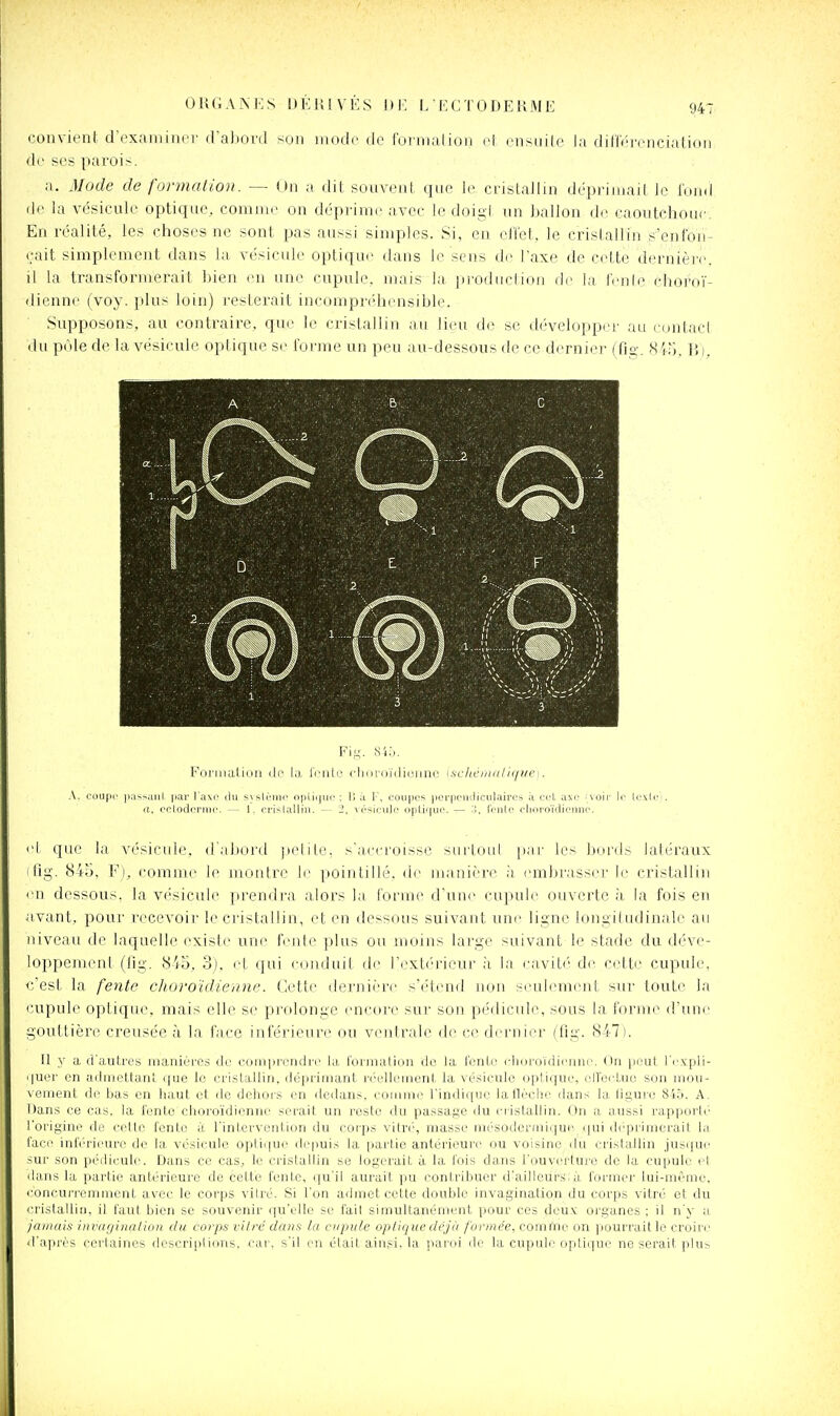 convient d'exaniiner d'abord son mode de foiTii.il ion el cnsnile la diCfV'renciatioii de ses parois. a. Mode de formation. — Un a dit souvent que le cristallin déprimait le iomi (le la vésicule optique, comm.' on déprime avec le doigl un ballon de caoutchouc. En réalité, les choses ne sont, pas aussi simples. Si, en cllet, le cristallin s'enfon- eait simplement dans la vésicule optique dans le sens de l'axe de cette dernière, il la transformerait i)ien en une cupule, mais la produclion de l;i l'cnle choroï- dienne (voy. plus loin) resterait incompréhensible. Supposons, au contraire, que le cristallin au lieu de se développer au contacl du pôle de la vésicule opiique se forme un peu au-dessous de ce dernier (fjo-, Si;^;. P,), A , ■ / B. C Fis- S4;j. Foi'inalion do l.i, Iciid' clini oïdionnc ischémrdifjue]. .\. cijufic p.is^aiil par !a\i' du s\sli'Mic opii.iiic ; I; a 1\ coupes port»otuliciiIairos à crL axe ;\oii' Iv l<_'.\li'i. ((. onlodcrmi'. — 1. crislalliii. 2, ^ ésiciilc opli'juo. — renie elioi-oiViienne. et que la vésicule, d'.'ibiu-d [lelile. s'acri'oisse surloul p.ii' les Ixu'ds latéraux (fig. 845, F), comme le montre le ]iointilié. de manière .'i embr.'isser le cristallin <'n. dessous, la vésicule prendra alors la tonne d'une cupule ouverte à la fois en avant, pour recevoir le ci'istallin, et en dessous suivant une ligne longiludinale au niveau de laquelle existe une fente plus ou moins large suivant le stade du déve- loppement (fig. H'i'6. 3). et qui conduit de l'i'xtt'rieur à la eaviti' de cette cupule, c'est la fe7ite choroïdienne. Cette dernière s'étend non seulement sur toute la cupule optique, mais elle se prolonge encore sur son pédicule, sous la forme d'une gouttière creusée à la face inférieure ou viuilrale de ce dernier (fig. 847). Il y a d'autres manières de comprendre la formation do la l'ente cljoro'idienne. On peut l'i.'xpli- '|uer en admettant que le cristallin, déprimant réellement la vésicule optique, cU'ertuo son mou- \ ement de bas en haut et de dehois en dedans, comme l'indique lailéclie ilans la ligure 815. A. Dans ce cas, la fente choroïdienne serait un reste du passage du cristallin. On a aussi rapporté l'origine de cette fente à l'intervention du corps vitré, masse mésodenniqui-'. cjui dc'primcrait la lace inférieure de la vésicule optique depuis la partie antérieure ou voisine ilu cristallin jus((ue sur son pédicule. Dans ce cas., le cristallin se logerait à la fois dans l'ouverture de la cupule cl dans la partie antérieure de cette fente, qu'il aurait pu contribuer d'ailleurs; à former lui-même, concui'remuient avec le corps vitré. Si l'on admet cei;te double invagination du corps vitré et du i-ristallii), il faut bien se souvenir qu'elle se fait simultanément pour ces deux oi'ganes ; il n'y a jainuis invagiiiaiioti du corps vilrd danfs In cupule optique déjà formée, comi'ne on pourrait le croire d'après certaines descriplions, car, s'il en était ainsi, la jiaroi de la cupule o]itii|ue ne serait plus