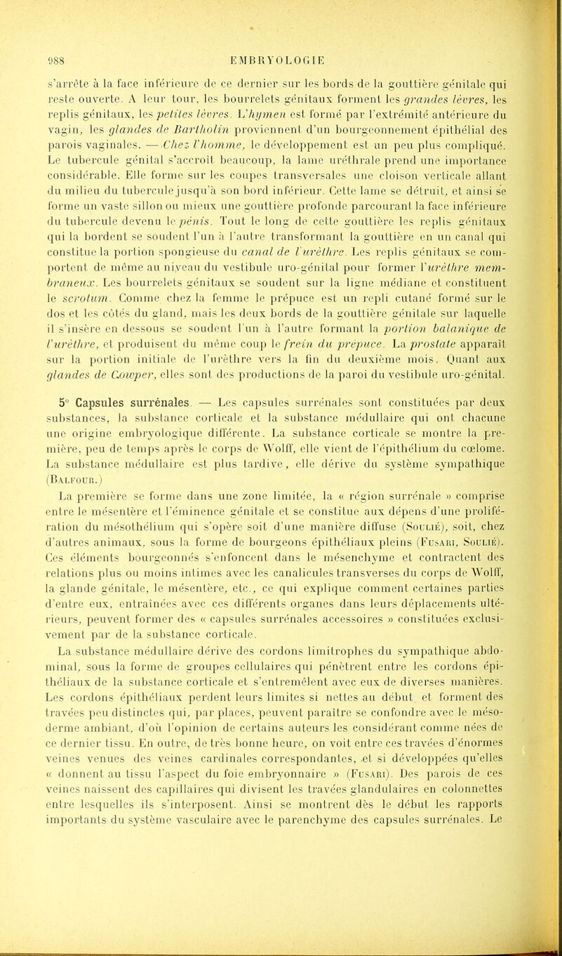 s'arrête à la face inférieure de ce dernier sur les bords de la gouttière ge'nitale qui reste ouverte. A leur tour, les bourrelets génitaux forment les grandes lèwes, les replis génitaux, petites lèvres. U/iymen est formé par l'extrémité antérieure du vagin, les glandes de Barlholin proviennent d'un bourgeonnement épithélial des parois vaginales. —Chez Vhomme, le développement est un peu plus compliqué. Le tubercule génital s'accroît beaucoup, la lame urétlirale prend une importance considérable. Elle forme sur les coupes transversales une cloison verticale allant du milieu du tubercule jusqu'à son bord inférieur. Cette lame se détruit, et ainsi se forme un vaste sillon ou mieux une gouttière profonde parcourant la face inférieure du tubercule devenu \e pénis. Tout le long de cette gouttière les replis génitaux qui la bordent se soudent l'un à l'autre transformant la gouttière en un canal qui constitue la portion spongieuse du canal de l'urèthre. Les replis génitaux se com- portent de même au niyeau du vestibule uro-génital pour former Vurèthre mem- braneux. Les bourrelets génitaux se soudent sur la ligne médiane et constituent le scrotum. Comme chez la femme le prépuce est un repli cutané formé sur le dos et les côtés du gland, mais les deux bords de la gouttière génitale sur laquelle il s'insère en dessous se soudent l'un à l'autre formant la portion balanique de l'urèthre, et produisent du même coup le frein du prépuce. Lu prostate apparaît sur la portion initiale de l'urèthre vers la fin du deuxième mois. Quant aux glandes de Coioper, elles sont des productions de la paroi du vestibule uro-génital. 5° Capsules surrénales. — Les capsules surrénales sont constituées par deux substances, la substance corticale et la substance médullaire qui ont chacune une origine embryologique différente. La substance corticale se montre la pre- mière, peu de temps après le corps de Wolff, elle vient de l'épithéliuni du cœlome. La substance médullaire est plus tardive, elle dérive du système sympathique (Balfour.) La première se forme dans une zone limitée, la « région surrénale » comprise entre le mésentère et l'éminence génitale et se constitue aux dépens d'une prolifé- ration du mésothélium qui s'opère soit d'une manière diffuse (Soulié), soit, chez d'autres animaux, sous la forme de bourgeons épithéliaux pleins (I^'usaiu, Soulié). Ces éléments bourgeonnes s'enfoncent dans le mésenchyme et contractent des relations plus ou moins intimes avec les canalicules transverses du corps de Wolff, la glande génitale, le mésentère, etc., ce qui explique comment certaines parties d'entre eux, entraînées avec ces différents organes dans leurs déplacements ulté- rieurs, peuvent former des (c capsules surrénales accessoires » constituées exclusi- vement par de la substance corticale. La substance médullaire dérive des cordons limitrophes du sympathique abdo- minal, sous la forme de groupes cellulaires qui pénètrent entre les cordons épi- théliaux de la substance corticale et s'entremêlent avec eux de diverses manièi'es. Les cordons épithéliaux perdent leurs limites si nettes au début et forment des travées peu distinctes qui, par places, peuvent paraître se confondre avec le méso- derme ambiant, d'où l'opinion de certains auteurs les considérant comme nées de ce dernier tissu. En outre, de très bonne heure, on voit entre ces travées d'énormes veines venues des veines cardinales correspondantes, et si déveloi^pées qu'elles « donnent au tissu l'aspect du foie embryonnaire » (Fusari). Des pai'ois de ces veines naissent des capillaires qui divisent les travées glandulaires en colonnettes entre lesquelles ils s'interposent. Ainsi se montrent dès le début les rapports importants du système vasculaire avec le parenchyme des capsules surrénales. Le