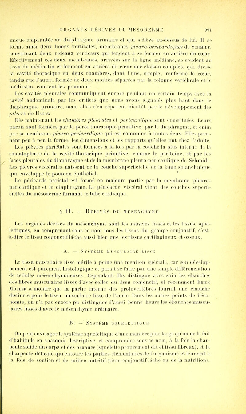 inique empruntée au dia|jhragmc primaire et qui s'e'lève au-dessus de lui. 11 se forme ainsi deux, lames verticales, membranes pleuro-péricardiques de Schmidt. constituant deux rideaux verticaux qui tendent à se fermer en arrière du cœur. Effectivement ces deux membranes, arrivées sirr la ligne médiane, se soudent au tissu du médiastin et fornu'ut en arrière du cœur une cloison complète qui divise la cavité tlioracique en deux chambres, dont l'une, simple, renfenne le cœur, tandis que Tautre, formée de deux moitiés séparées par la colonne vertébrale et le uiédiastin, contient les poumous. Les cavités pleurales communiqiuMit encore peudant un cerlain temps avec la cavité abdominale par les orifices que nous avons signalés plus liant dans le diaphragme primaire, mais elles s'en sépan-ut hicnlùt ]);m' le d('V('lopj)rment des piliers de Uskow. Dès maintenaut les chatnbreu pleurales et péricardique snut consiiliu'es. Leuis parois sont formées par la paroi thoracique primitive, par li' diaphragme, et enfin par la membrane pleuro-péricardiqiœ qui est commune à toutes deux. Elles pren- nent peu à peu la forme, les dimensions et les rapports qu'elles ont chez l'adulte. Les plèvres pariétales sont formées ù la fois par la couche la plus interne de la somatopleure de la cavité thoracique primitive, comme le péritoine, et par les faces pleurales du diaphragme et de la membrane pleuro-péricardique de SchmidI. Les plèvres viscérales naissent de la couche superfici(dlr de la Luue splanchnifjue qui enveloppe le poumon épithélial. Le péricarde pariétal est formé eu majeure partie par la membi'aue plcuro- péricai'dique et le diaphragme. Le péricarde visc(''i'al vient des couches superli- cielles du mésoderme formant le tube cardiaque. § II. — DkIIIVKS I) i: M KSE.NCH V.M I. Les organes dérivés du nu'senchyme sont les muscles lisses et les tissus sque- lettiques, en comprenant sous ce nom tous les tissus du groupe conjonctif, c'est- à-dire le tissu conjonctif lâche aussi bien que les tissus cartilagineux et osseux. .\ . — SvsTi;.\ii; .M r->(: c I, A 11; 10 i. isst Le tissu musculaiie liss(^ mérite à peine une menliou spéciale, car son (b'velop- pement est purement liistologique et paraît se faire par une simple différenciation de cellules mésenchymateuses. Cependant. lits distingue avec soin les ébauches des fibres musculaires lisses d'avec celles du tissu ronjonctif, et récemment Erick MûLLEU a montré que la partie interne des protovertèl)res fournit une ébauche distincte pour le tissu musculaire lisse de l'aorte. Dans les autres points de l'éco- nomie, on n'a pas encore pu distinguer d'aussi l)onne heure les ébauches muscu- laires lisses d'avec le mésenchyme ordinaire. 1>. — Système soci:e l' i'ie Un peu t envisager le système squelet tique d'une manière plus lai ge qu'on ne le fait d'habitude en anatomié descriptive, et comprendr(^ sous ce nom, à la fois la char- pente solide du corps et des organes (squelette proprement dit et tissu fibreux), et la charpente délicate qui entoure les parties élémentaires de l'organisme et leur sert à la fois de soutien et de milieu nutritif (tissu conjonctif lâche ou de la nutritioni.