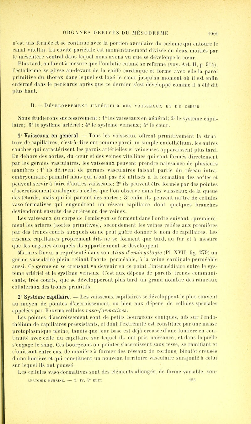 n'est pas fermée et se continue avec la portion annulaire du cœionie qui entoure le canal vitellin. La cavité pariétale est momentanément divisée en deux moitiés par le mésentère ventral dans lequel nous avons vu que se développe le cœur. Plus tard, au fur et à mesure que l'ombilic cutané se referme (voy. Art. Il, p. 914), l'ectoderme se glisse au-devant de la coiffe cardiaque et forme avec elle la paroi primitive du thorax dans lequel est logé le cœur jusqu'au moment où il est enfin enfermé dans le péricarde après que ce dernier s'est développé comme il a été dit plus haul. B. — Développement ultérieur des vaisseaux et du coeur Nous étudierons successivement : 1° les vaisseaux en général ; 2 le système capil- laire; 3 le système arlériel ; 4° le système veineux; 5° le cœur. 1° Vaisseaux en général. — Tous les vaisseaux offrent primitivement la struc- ture de capillaires, c'est-à-dire ont comme paroi un simple endothélium, les autres couches qui caractérisent les parois arlérielles el veineuses apparaissent plus tard. En dehors des aortes, du cœur et des veines vitellines qui sont formés directement par les germes vasculaires, les vaisseaux peuvent prendre naissance de plusieurs manières : 1° ils déiivent de germes vasculaires faisant partie du réseau intra- embryonnaire primitif mais qui n'ont pas été utilisés à la formation des aoi'tes et peuvent servir à faire d'autres vaisseaux; 2° ils peuvent être formés par des pointes d'accroissement analogues à celles que l'on observe dans les vaisseaux do la queue des têtards, mais qui ici partent des aortes : 3' enfin ils peuvent naître de cellules vaso-formalives qui engendrent un réseau capillaire dont quelques branches deviendront ensuite des artères ou des veines. Les vaisseaux du corps de l'embryon se forment dans l'ordre suivant : première- ment les artères (aortes primitives), secondement les veines reliées aux premières par des troncs courts auxquels on ne peut guère donner le nom de capillaires. Les réseaux capillaires proprement dits ne se forment que tard, au fur et à mesure que les organes auxquels ils appartiennent se développent. Mathias Duval a représenté dans son Allas (Vembryologie (Pl. XVll. fig. 279) un germe vasculaire plein reliant l'aorte, perméable, à la veine cardinale perméable aussi. Ce germe en se creusant va devenir en ce point l'intermédiaire entre le sys- tème artériel et le système veineux. C'est aux dépens de pareils troncs communi- cants, très courts, que se développeront plus tard un grand nombre des rameaux collatéraux des troncs primitifs. 2 ' Système capillaire. — Les vaisseaux capillaires se développent le plus souvent au moyen de pointes d'accroissement, ou bien aux dépens de cellules spéciales appelées par Ranvier cellules vaso-formalives. Les pointes d'accroissement sont de petits bourgeons coniques, nés sur l'endo- thélium de capillaires préexistants, etdont l'extrémité est constituée par une masse protoplasmique pleine, tandis que leur base est déjà creusée d'une lumière en con- tinuité avec celle du capillaire sur lequel ils ont pris naissance, et dans laquelle s'engage le sang. Ces bourgeons ou pointes s'accroissent sans cesse, se ramifiant et s'unissant entre eux de manière à former des réseaux do cordons, bientôt creusés d'une lumière et qui constituent un nouveau territoire vasculaire surajouté à celui sur lequel ils ont poussé. Les cellules vaso-formatives sont des éléments allongés, de forme variable, sou- AN.kTOMlE HUM.ilNE. — T. IV, 5° ÉDIT; 12G