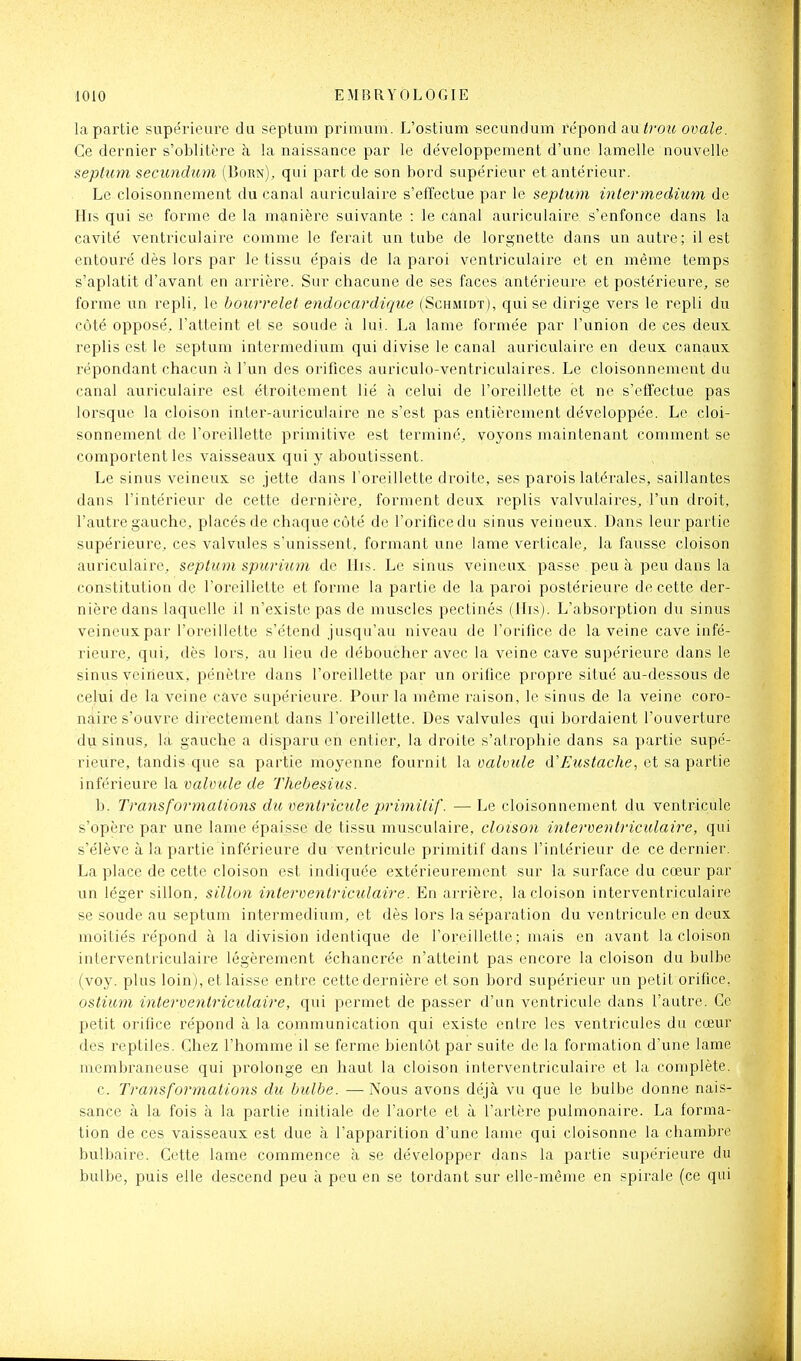 la partie supérieure du septum primum. L'ostium secundum répond au <ro?i ovale. Ce dernier s'oblitère à la naissance par le développement d'une lamelle nouvelle septum secundum (Born), qui part de son bord supérieui' et antérieur. Le cloisonnement du canal auriculaire s'effectue par le septum intermedium de His qui se forme de la manière suivante : le canal auriculaire s'enfonce dans la cavité ventriculaire comme le ferait un tube de lorgnette dans un autre; il est entouré dès lors par le tissu épais de la paroi ventriculaire et en même temps s'aplatit d'avant en arrière. Sur chacune de ses faces antérieure et postérieure, se forme un repli, le bourrelet endocardique (Schmidt), qui se dirige vers le repli du côté opposé, l'atteint et se soude à lui. La lame formée par l'union de ces deux replis est le septum intermedium qui divise le canal auriculaire en deux, canaux répondant chacun à l'un des orifices auriculo-ventriculaires. Le cloisonnement du canal auriculaire est étroitement lié à celui de l'oreillette et ne s'effectue pas lorsque la cloison inler-auriculaire ne s'est pas entièrement développée. Le cloi- sonnement de l'oreillette primitive est terminé, voyons maintenant comment se comportent les vaisseaux qui y aboutissent. Le sinus veineux se jette dans l'oreillette droite, ses parois latérales, saillantes dans l'intérieur de cette dernière, forment deux replis valvulaires, l'un droit, l'autre gauche, placés de chaque côté de l'orifice du sinus veineux. Dans leur partie supérieure, ces valvules s'unissent, formant une lame verticale, la fausse cloison auriculaire, septum spurium de llis. Le sinus veineux passe peu à peu dans la constitution de l'oreillette et forme la partie de la paroi postérieure de cette der- nière dans laquelle il n'existe pas de muscles pectinés (His). L'absorption du sinus veineux par l'oreillette s'étend jusqu'au niveau de l'orifice de la veine cave infé- rieure, qui, dès lors, au lieu de déboucher avec la veine cave supérieure dans le sinus veineux, pénètre dans l'oreillette par un orifice propre situé au-dessous de celui de la veine càve supérieure. Pour la même raison, le sinus de la veine coro- naire s'ouvre directement dans l'oreillette. Des valvules qui bordaient l'ouverture du sinus, la gauche a dispai'u en entier, la droite s'atrophie dans sa partie supé- rieure, tandis que sa partie moyenne fournit la oalvtde d'Eustache, et sa partie inférieure la valvule de Thebesiics. b. Tr ans for mations du ventricule primitif. —Le cloisonnement du ventricule s'opère par une lame épaisse de tissu musculaire, cloison interventriculaire, qui s'élève à la partie inférieure du ventricule primitif dans l'intérieur de ce dernier. La place de cette cloison est indiquée extérieurement sur la surface du cœur par un léger sillon, sillon interventriculaire. En arrière, la cloison interventriculaire se soude au septum intermedium, et dès lors la séparation du ventricule en deux moitiés répond à la division identique de l'oreillette; mais en avant la cloison interventriculaire légèrement échancrée n'atteint pas encore la cloison du bulbe (voy. plus loin), et laisse entre cette dernière et son bord supérieur un petit orifice. ostiuni interventriculaire, qui permet de passer d'un ventricule dans l'autre. Ce petit oi'ifice répond à la communication qui existe entre les ventricules du cœur des reptiles. Chez l'homme il se ferme bientôt par suite de la formation d'une lame membraneuse qui prolonge ejî haut la cloison interventriculaire et la complète. c. Transformations du bulbe. — Nous avons déjà vu que le bulbe donne nais- sance à la fois à la partie initiale de l'aorte et à l'artère pulmonaire. La forma- tion de ces vaisseaux est due à l'apparition d'une lame qui cloisonne la chambre bulbaire. Cette lame commence à se développer dans la partie supérieure du bulbe, puis elle descend peu à peu en se tordant sur elle-même en spirale (ce qui