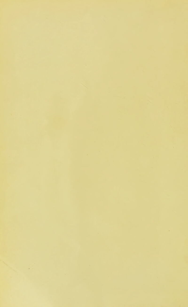 * , «!; % i ■-'it” ■ V 'W ..■iV * h «k