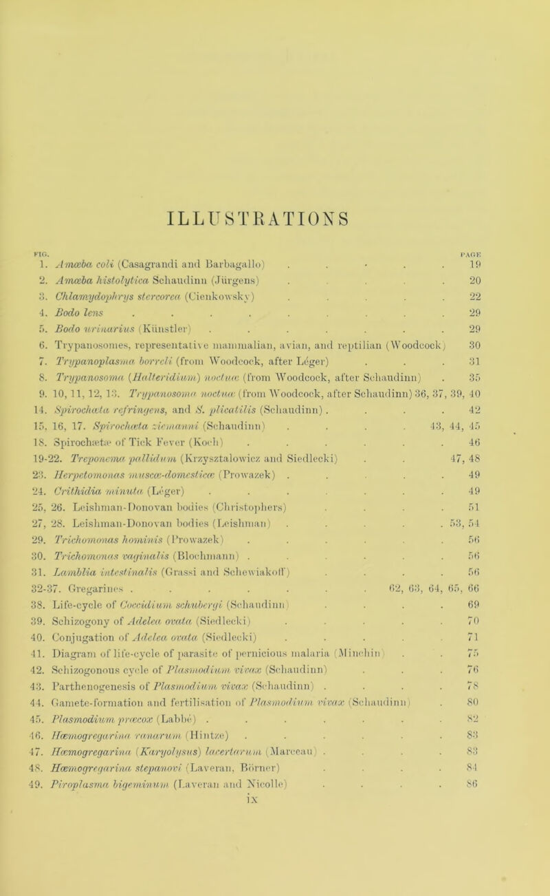 ILLUSTHATIONS Fir.. l'.\OK ]. foW (Casagrandi and liarbagallo) . . • . .Iff ‘2. Amceba histolytica Scliaudinii (Jiirgens) . .20 d. Chlamydo'phrys stcrcorca (Cienkowsky) . .22 ■i. Bodo lens ......... 2P it. Bodo uriuurius (Kiiustler) ....... 29 6. Tiypanosonies, re{iresentaii\ o manmialian, avian, and reptilian (Woodcock) -30 7. 2’rypanoplasiita borrcU (from Woodcock, after Leger) . . .31 8. Trypanosoma {Jlalteridiam) nodaw (from AVoodcock, after Schaiulinii) . 3f) 9. 10,11,12, 1.3. Trypanosoma noclwc (from Woodcock, after Scliandinn) 36, 37, 39, 40 14. Spiroc/ucla rcfrinijciis, and B. pKcatilis (Scliandinn). . . .42 ir>. 16, 17. Spirocluvta zkinanni (Schaudiiin) .... 43, 44, 4.o 15. Spirochieta* of Tick Kever (Koch) ...... 46 19-22. (Tre^o/ttw^. (Krzy.sztalowicz and Siedlecki) . . 47,48 23. Herpetomonas 'musccc-domcstiem (Prmvazek) . . . .49 24. Crithidia minuta. (Li'‘ger) ....... 49 2.6, 26. Leislmian-Donovan bodies (Cbristojiliers) .... .61 27, 28. Lei.sliman-Donovan boilies (liOislimaii) ..... .63, .64 29. Trichomonas hominis [Vro\\n7,f‘'k) ...... .66 30. Trichomonas vayinalis (Hloclimanii) ...... ;66 31. (Grassi and .Scliewiakolf) .... .6(! 32-37. Gregarincs ....... 62, 6-3, 64, ti.6, 66 38. Life-cycle of C'occMGwwi, (Sidiaiidinii . . . .69 39. Scliizogony of (Siedlccki) . . . .70 40. Conjugation of (Sicdlecki) . . . . .71 41. Diagram of life-cycle of [larasitc of ]iernicious malaria (.M incliiii . . 76 42. Scliizogonous cj'ide of rzrror: (Scliandinn') . . .76 43. Parthenogenesis of (Scliandinn) . . . .78 44. Gamete-formation ami fertilisation of(Scliandinn . 80 4.6. Plasmodium prtccox {\jn\t]ti‘) ....... 82 46. ITcemogrcyuriiai ravarum. {\Vuti/.c) ...... 8-> 47. 1 [cemogregarina iKaryolysas) larcrtarum i .Marcean) .... S3 48. Heemogregarina stepanovi (Laveran, Piiirncr) .... 84 49. Piroplasrna higcm.imi.m (Laveran and Xicolb) . . .86