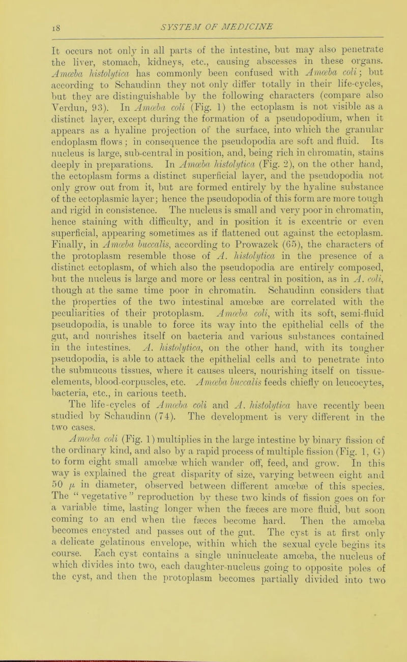 It occurs not only in all parts of the intestine, but may also penetrate the liver, stomach, kidneys, etc., causing abscesses in these organs. Amceha histoli/iiai has commonly been confused Avith Anueha coli; but according to Schaudiim they not only difler totally in their life-cycles, l)ut they are distinguishable by the following characters (compare also Verdun, 93). In Amceha coli (Fig. 1) the ectoplasm is not visible as a distinct layer, except during the formation of a pseudopodium, when it appears as a hyaline projection of the surface, into which the granular endoplasm flows ; in consequence the pseudopodia are soft and fluid. Its nucleus is large, sub-central in po.sition, and, being rich in chromatin, .stains deeply in prei)arations. In Amceha histoh/tica (Fig. 2), on the other hand, the ectoplasm forms a distinct superficial layer, and the pseudopodia not only grow out from it, but are formed entirely by the hyaline substance of the ectoplasmic layer; hence the pseudopodia of this form are moi-e tough and rigid in consistence. The nucleus is small and very poor in chromatin, hence staining Avith difficulty, and in po.sition it is excentric or e\'en superficial, appearing sometimes as if flattened out against the ectoplasm. Finally, in Amceha huccalis, according to ProAvazek (G5), the characters of the protoplasm resemble those of A. hidoUjtica in the presence of a distinct ectoplasm, of Avhich also the pseudopodia are entirely composed, but the nucleus is large and more or less central in position, as in A. coli, though at the same time poor in chromatin. Schaudiim considers that the properties of the tAvo intestinal amcebai are correlated Avith the peculiarities of their protoplasm. Amceha coli, Avith its soft, semi-fluid pseudopodia, is unable to force its AA\ay into the epithelial cells of the gut, and nourishes itself on bacteria and Auirious substances contained in the intestines. A. histolytica, on the other hand, Avith its tougher p.soudopodia, is able to attack the epithelial cells and to penetrate into the submucous tissues, Avhere it causes ulcers, nourishing itself on tissue- elements, blood-corpuscles, etc. Amceha huccalis feeds chiefly on leucocytes, bacteria, etc., in carious teeth. The life-cycles of Amceha coli and histolytica have recently been studied by Schaudinn (74). The deA'elopment is A'ery different in the tAvo cases. Amceha coli (Fig. 1) multiplies in the large intestine by binaiy fission of the ordinary kind, and also by a rapid process of multiple fission (Fig. 1, (4) to form eight small amoebaj Avhich Avander off, feed, and gi’OAv. In this Avay is explained the great disparity of size, Auxrying between eight and 50 /X in diameter, ol)scrved betAveen difi'erent amoeba^ of this species. The “ vegetativ’e” I’eproduction by these tAvo kinds of fission goes on for a variable time, lasting longer AA'hen the fieces are more fluid, l)Ut soon coming to an end Avhen the faeces become hard. Then the amteba becomes encysted and passes out of the gut. The cyst is at first only a delicate gelatinous envelope, Avithin Avhich the sexixal CA'cle Ixegins its course. Fach cyst contains a single uninucleate amoeba, the nucleus of Avhich divides into two, each daughter-nucleus going to opposite ]K>les of the cyst, and then the protoplasm becomes partially divided into tAvo