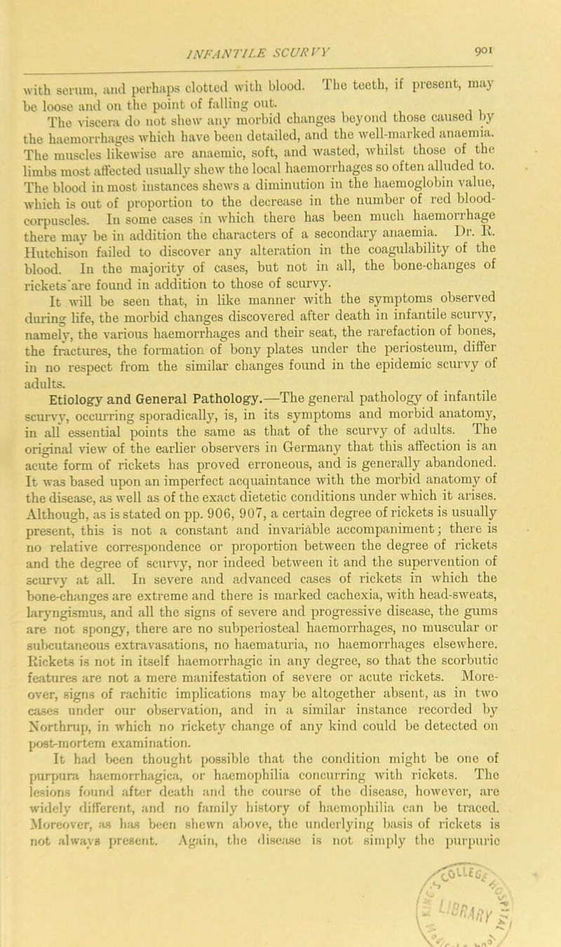 with serum, and perhaps clotted with blood. The teeth, if present, may be loose and on the point of falling out. The viscera do not show any morbid changes beyond those caused by the haemorrhages which have been detailed, and the well-marked anaemia. The muscles likewise are anaemic, soft, and wasted, whilst those of the limbs most aft’ected usually shew the local haemorrhages so often alluded to. The blood in most instances shews a diminution in the haemoglobin value, which is out of proportion to the decrease in the number of red blood- corpuscles. In some cases in which there has been much haemorrhage there may be in addition the characters of a secondary anaemia. Dr. E. Hutchison failed to discover any alteration in the coagulability of the blood. In the majority of cases, but not in all, the bone-changes of rickets'are found in addition to those of scurvy. It will be seen that, in like manner with the symptoms observed during life, the morbid changes discovered after death in infantile scurvy, namely, the various haemorrhages and their seat, the rarefaction of bones, the fractiu-es, the formation of bony plates under the periosteum, differ in no respect from the similar changes found in the epidemic scrnwy of adults. Etiology and General Pathology.—The general pathology of infantile scurvy, occui’ring sporadically, is, in its symptoms and morbid anatomy, in all essential points the same as that of the scurvy of adults. The original view of the earlier observers in Germany that this affection is an acute form of rickets has proved erroneous, and is generally abandoned. It was based upon an imperfect acquaintance with the morbid anatomy of the disease, as well as of the exact dietetic conditions under which it arises. Although, as is stated on pp. 906, 907, a certain degree of rickets is usually present, this is not a constant and invariable accompaniment; there is no relative correspondence or proportion between the degree of rickets and the degree of scurvy, nor indeed between it and the supervention of scurvy at all. In severe and advanced cases of rickets in which the bone-changes are extreme and there is mai'ked cachexia, with head-sweats, laryngismus, and all the signs of severe and progressive disease, the gums are not spongy, there are no subperiosteal haemorrhages, no muscular or subcutaneous extravasations, no haematuria, no haemorrhages elsew'here. Rickets is not in itself haemorrhagic in any degree, so that the scorbutic features are not a mere manifestation of severe or acute rickets. More- over, signs of rachitic implications may be altogether absent, us in tw^o cases under our observation, and in a similar instance recorded by Northrup, in which no rickety change of any kind could be detected on j>ost-mortem e.xami nation. It had been thought possible that the condition might be one of purpura haemorrhagica, or haemophilia concurring with rickets. The lesions found after death and the course of the disease, however, are widely flifferent, anrl no family history of haemophilia can be traced. Moreover, fis h;us been shewn above, the underlying basis of rickets is not always present. Again, the di.seasc is not simply the purpuric ■j