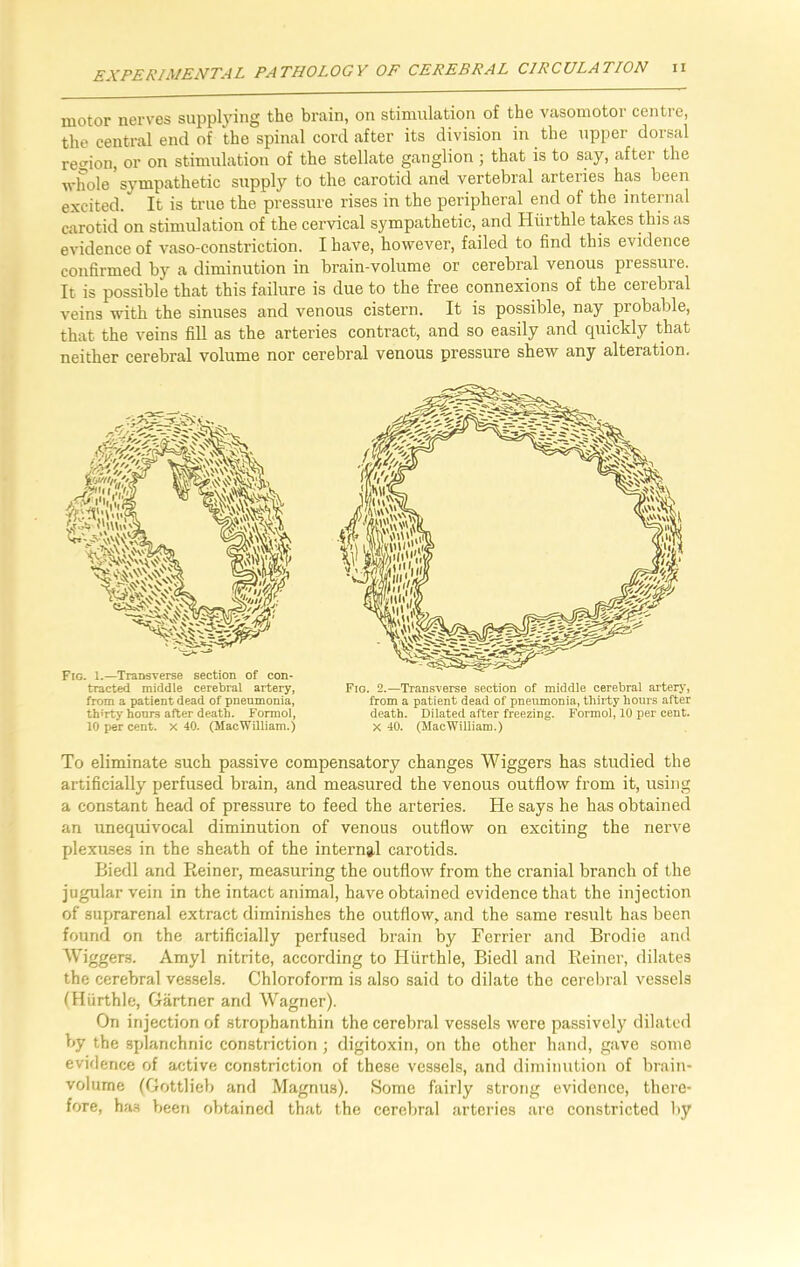 motor nerves supplying the brain, on stimulation of the vasomotor centre, the central end of the spinal cord after its division in the upper dorsal region, or on stimulation of the stellate ganglion ; that is to say, after the whole sympathetic supply to the carotid and vertebral arteries has been excited/ It is true the pressure rises in the peripheral end of the internal carotid on stimulation of the cervical sympathetic, and Hurthle takes this as evidence of vaso-constriction. I have, however, failed to find this evidence confirmed by a diminution in brain-volume or cerebral venous pressure. It is possible that this failure is due to the free connexions of the cerebral veins with the sinuses and venous cistern. It is possible, nay probable, that the veins fill as the arteries contract, and so easily and quickly that neither cerebral volume nor cerebral venous pressure shew any alteration. To eliminate such passive compensatory changes Wiggers has studied the artificially perfused brain, and measured the venous outflow from it, using a constant head of pressure to feed the arteries. He says he has obtained an unequivocal diminution of venous outflow on exciting the nerve plexuses in the sheath of the internal carotids. Biedl and Reiner, measuring the outflow from the cranial branch of the jugular vein in the intact animal, have obtained evidence that the injection of suprarenal extract diminishes the outflow, and the same result has been found on the artificially perfused brain by Ferrier and Brodie and Wiggers. Amyl nitrite, according to Hurthle, Biedl and Reiner, dilates the cerebral vessels. Chloroform is also said to dilate the cerebral vessels (Hurthle, Gartner and Wagner). On injection of strophanthin the cerebral vessels were passively dilated by the splanchnic constriction; digitoxin, on the other hand, gave some evidence of active constriction of these vessels, and diminution of brain- volume (Gottlieb and Magnus). Some fairly strong evidence, there- fore, has been obtained that the cerebral arteries are constricted by Fig. 1.—Transverse section oi con- tracted middle cerebral artery, from a patient dead of pneumonia, th'rty hours after death. Formol, 10 per cent. X 40. (MacWilliam.) Fio. 2.—Transverse section of middle cerebral artery, from a patient dead of pneumonia, thirty hours after death. Dilated after freezing. Formol, 10 per cent. X 40. (MacWilliam.)