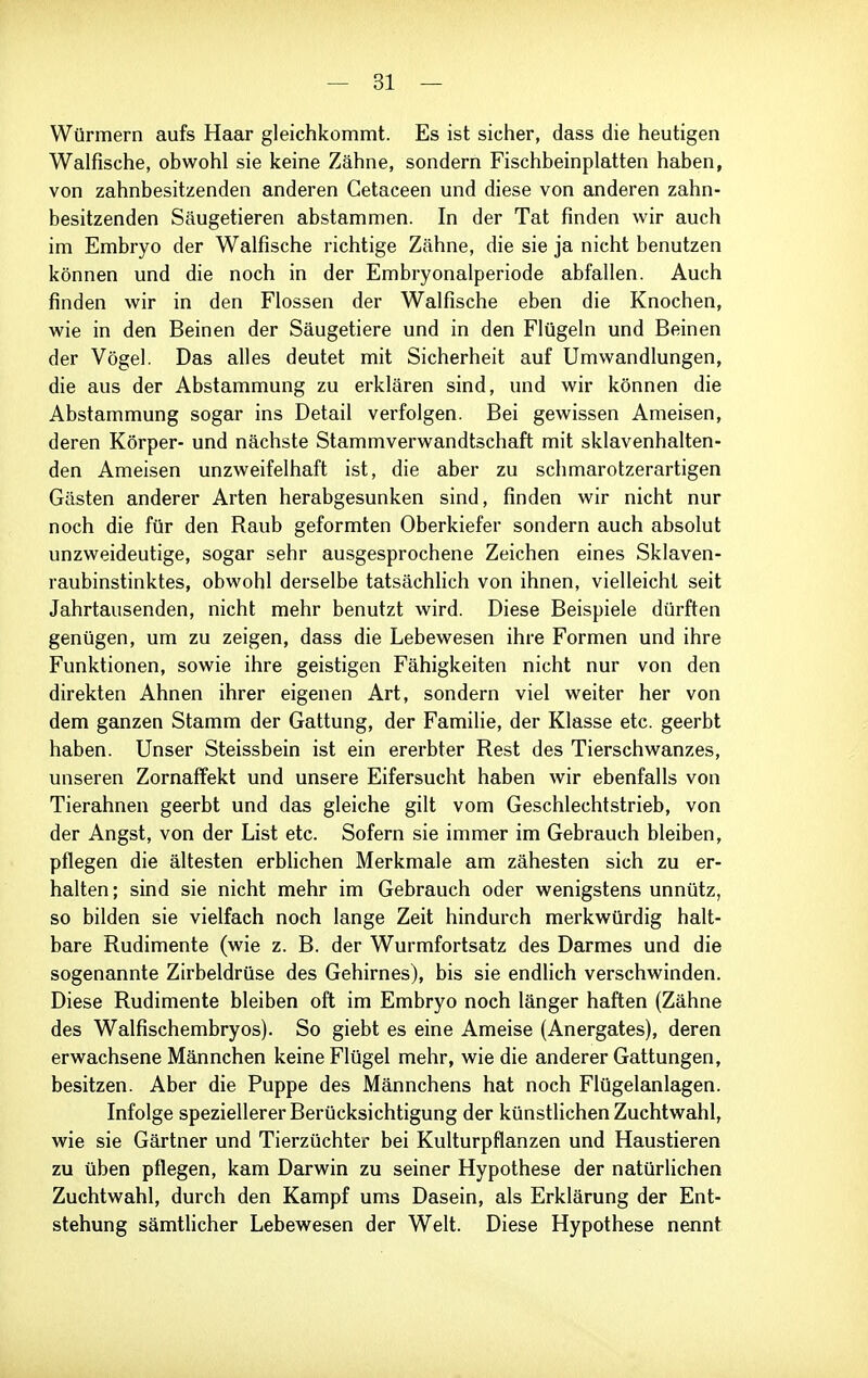 Würmern aufs Haar gleichkommt. Es ist sicher, dass die heutigen Walfische, obwohl sie keine Zähne, sondern Fischbeinplatten haben, von zahnbesitzenden anderen Cetaceen und diese von anderen zahn- besitzenden Säugetieren abstammen. In der Tat finden wir auch im Embryo der Walfische richtige Zähne, die sie ja nicht benutzen können und die noch in der Embryonalperiode abfallen. Auch finden wir in den Flossen der Walfische eben die Knochen, wie in den Beinen der Säugetiere und in den Flügeln und Beinen der Vögel. Das alles deutet mit Sicherheit auf Umwandlungen, die aus der Abstammung zu erklären sind, und wir können die Abstammung sogar ins Detail verfolgen. Bei gewissen Ameisen, deren Körper- und nächste Stammverwandtschaft mit sklavenhalten- den Ameisen unzweifelhaft ist, die aber zu schmarotzerartigen Gästen anderer Arten herabgesunken sind, finden wir nicht nur noch die für den Raub geformten Oberkiefer sondern auch absolut unzweideutige, sogar sehr ausgesprochene Zeichen eines Sklaven- raubinstinktes, obwohl derselbe tatsächlich von ihnen, vielleicht seit Jahrtausenden, nicht mehr benutzt wird. Diese Beispiele dürften genügen, um zu zeigen, dass die Lebewesen ihre Formen und ihre Funktionen, sowie ihre geistigen Fähigkeiten nicht nur von den direkten Ahnen ihrer eigenen Art, sondern viel weiter her von dem ganzen Stamm der Gattung, der Familie, der Klasse etc. geerbt haben. Unser Steissbein ist ein ererbter Rest des Tierschwanzes, unseren ZornafFekt und unsere Eifersucht haben wir ebenfalls von Tierahnen geerbt und das gleiche gilt vom Geschlechtstrieb, von der Angst, von der List etc. Sofern sie immer im Gebrauch bleiben, pflegen die ältesten erbhchen Merkmale am zähesten sich zu er- halten; sind sie nicht mehr im Gebrauch oder wenigstens unnütz, so bilden sie vielfach noch lange Zeit hindurch merkwürdig halt- bare Rudimente (wie z. B. der Wurmfortsatz des Darmes und die sogenannte Zirbeldrüse des Gehirnes), bis sie endlich verschwinden. Diese Rudimente bleiben oft im Embryo noch länger haften (Zähne des Walfischembryos). So giebt es eine Ameise (Anergates), deren erwachsene Männchen keine Flügel mehr, wie die anderer Gattungen, besitzen. Aber die Puppe des Männchens hat noch Flügelanlagen. Infolge speziellerer Berücksichtigung der künstUchen Zuchtwahl, wie sie Gärtner und Tierzüchter bei Kulturpflanzen und Haustieren zu üben pflegen, kam Darwin zu seiner Hypothese der natürlichen Zuchtwahl, durch den Kampf ums Dasein, als Erklärung der Ent- stehung sämtHcher Lebewesen der Welt. Diese Hypothese nennt