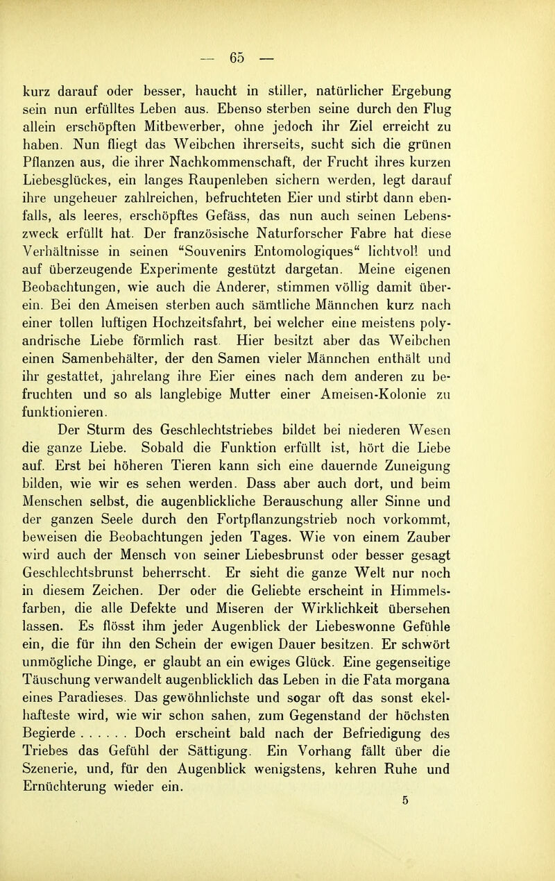 kurz darauf oder besser, haucht in stiller, natürlicher Ergebung sein nun erfülltes Leben aus. Ebenso sterben seine durch den Flug allein erschöpften Mitbewerber, ohne jedoch ihr Ziel erreicht zu haben. Nun fliegt das Weibchen ihrerseits, sucht sich die grünen Pflanzen aus, die ihrer Nachkommenschaft, der Frucht ihres kurzen Liebesglückes, ein langes Raupenleben sichern werden, legt darauf ihre ungeheuer zahlreichen, befruchteten Eier und stirbt dann eben- falls, als leeres, erschöpftes Gefäss, das nun auch seinen Lebens- zweck erfüllt hat. Der französische Naturforscher Fahre hat diese Verhältnisse in seinen Souvenirs Entomologiques lichtvoll und auf überzeugende Experimente gestützt dargetan. Meine eigenen Beobachtungen, wie auch die Anderer, stimmen völlig damit über- ein. Bei den Ameisen sterben auch sämtliche Männchen kurz nach einer tollen luftigen Hochzeitsfahrt, bei welcher eine meistens poly- andrische Liebe förmhch rast. Hier besitzt aber das Weibchen einen Samenbehälter, der den Samen vieler Männchen enthält und ihr gestattet, jahrelang ihre Eier eines nach dem anderen zu be- fruchten und so als langlebige Mutter einer Ameisen-Kolonie zu funktionieren. Der Sturm des Geschlechtstriebes bildet bei niederen Wesen die ganze Liebe. Sobald die Funktion erfüllt ist, hört die Liebe auf. Erst bei höheren Tieren kann sich eine dauernde Zuneigung bilden, wie wir es sehen werden. Dass aber auch dort, und beim Menschen selbst, die augenblickliche Berauschung aller Sinne und der ganzen Seele durch den Fortpflanzungstrieb noch vorkommt, beweisen die Beobachtungen jeden Tages. Wie von einem Zauber wird auch der Mensch von seiner Liebesbrunst oder besser gesagt Geschlechtsbrunst beherrscht. Er sieht die ganze Welt nur noch in diesem Zeichen. Der oder die Geliebte erscheint in Himmels- farben, die alle Defekte und Miseren der Wirklichkeit übersehen lassen. Es flösst ihm jeder Augenblick der Liebeswonne Gefühle ein, die für ihn den Schein der ewigen Dauer besitzen. Er schwört unmögliche Dinge, er glaubt an ein ewiges Glück. Eine gegenseitige Täuschung verwandelt augenblicklich das Leben in die Fata morgana eines Paradieses. Das gewöhnlichste und sogar oft das sonst ekel- hafteste wird, wie wir schon sahen, zum Gegenstand der höchsten Begierde Doch erscheint bald nach der Befriedigung des Triebes das Gefühl der Sättigung. Ein Vorhang fällt über die Szenerie, und, für den Augenblick wenigstens, kehren Ruhe und Ernüchterung wieder ein. 5