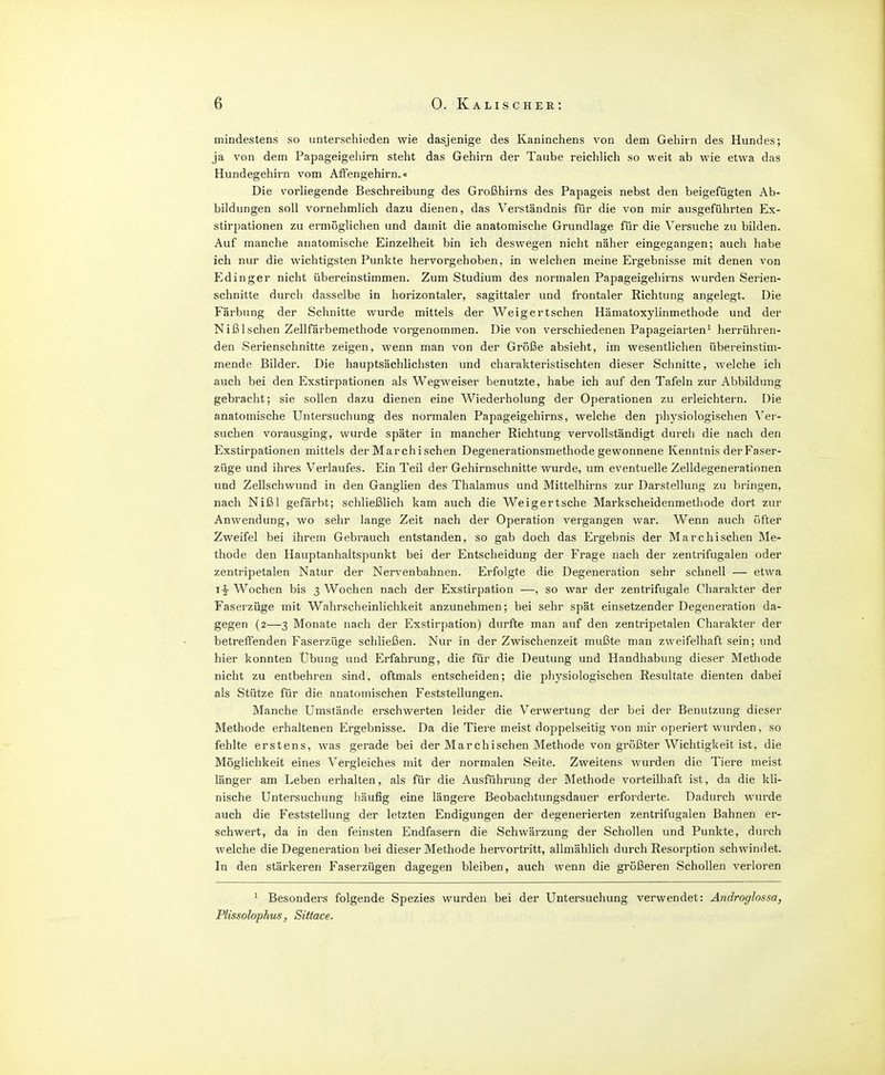 mindestens so unterschieden wie dasjenige des Kaninchens von dem Gehirn des Hundes; ja von dem Papageigeliirn steht das Gehirn der Taube reichlich so weit ab wie etwa das Hundegehirn vom Afifengehirn.« Die vorliegende Beschreibung des Großhirns des Papageis nebst den beigefügten Ab- bildungen soll vornehmlich dazu dienen, das Verständnis für die von mir ausgeführten Ex- stirpationen zu ermöglichen und damit die anatomische Grundlage für die Versuche zu bilden. Auf manche anatomische Einzelheit bin ich deswegen nicht näher eingegangen; auch habe ich nur die wichtigsten Punkte hervorgehoben, in welchen meine Ergebnisse mit denen von Edinger nicht übereinstimmen. Zum Studium des normalen Papageigehirns wurden Serien- schnitte durch dasselbe in horizontaler, sagittaler und frontaler Richtung angelegt. Die Färbung der Schnitte wurde mittels der Weigertschen Hämatoxylinmethode und der NißIschen Zellfärbemethode vorgenommen. Die von verschiedenen Papageiarten^ herrühren- den Serienschnitte zeigen, wenn man von der Größe absieht, im wesentlichen übereinstim- mende Bilder. Die hauptsächlichsten und chai'akteristischten dieser Schnitte, welche ich auch bei den Exstirpationen als Wegweiser benutzte, habe ich auf den Tafeln zur Abbildung gebracht; sie sollen dazu dienen eine Wiederholung der Operationen zu erleichtern. Die anatomische Untersuchung des normalen Papageigehirns, welche den physiologischen \'er- suchen vorausging, wurde später in mancher Richtung vervollständigt durch die nach den Exstirpationen mittels der Marchischen Degenerationsmethode gewonnene Kenntnis der Faser- züge und ihres Verlaufes. Ein Teil der Gehirnschnitte wurde, um eventuelle Zelldegenerationen und Zellschwund in den Ganglien des Thalamus und Mittelhirns zur Darstellung zu bringen, nach Nißl gefärbt; schließlich kam auch die Weigertsche Markscheidenmetliode dort zur Anwendung, wo sehr lange Zeit nach der Operation vergangen war. Wenn auch öfter Zweifel bei ihrem Gebrauch entstanden, so gab doch das Ergebnis der Marchischen Me- thode den Hauptanhaltspunkt bei der Entscheidung der Frage nach der zentrifugalen oder zentripetalen Natur der Nervenbahnen. Erfolgte die Degeneration sehr schnell — etwa Wochen bis 3 Wochen nach der Exstirpation —, so war der zentrifugale Charakter der Faserzüge mit Wahrscheinlichkeit anzunehmen; bei sehr spät einsetzender Degeneration da- gegen (2—3 Monate nach der Exstirpation) durfte man auf den zentripetalen Charakter der betreffenden Faserzüge schließen. Nur in der Zwischenzeit mußte man zweifelhaft sein; und hier konnten Übung und Erfahrung, die für die Deutung und Handhabung dieser Methode nicht zu entbehren sind, oftmals entscheiden; die physiologischen Resultate dienten dabei als Stütze für die anatomischen Feststellungen. Manche Umstände erschwerten leider die Verwertung der bei der Benutzung dieser Methode erhaltenen Ergebnisse. Da die Tiere meist doppelseitig von mir operiert wurden, so fehlte erstens, was gerade bei der Marchischen Methode von größter Wichtigkeit ist, die Möglichkeit eines Vergleiches mit der normalen Seite. Zweitens wurden die Tiere meist länger am Leben erhalten, als für die Ausführung der Methode vorteilhaft ist, da die kli- nische Untersuchung häufig eine längere Beobachtungsdauer erforderte. Dadurch wurde auch die Feststellung der letzten Endigungen der degenerierten zentrifugalen Bahnen er- schwert, da in den feinsten Endfasern die Schwärzung der Schollen und Punkte, durch welche die Degeneration bei dieser Methode hervortritt, allmählich durch Resorption schwindet. In den stärkeren Faserzügen dagegen bleiben, auch wenn die größeren Schollen verloren 1 Besonders folgende Spezies wurden bei der Untersuchung verwendet: Androglossa, Plissolophus, Sittace.
