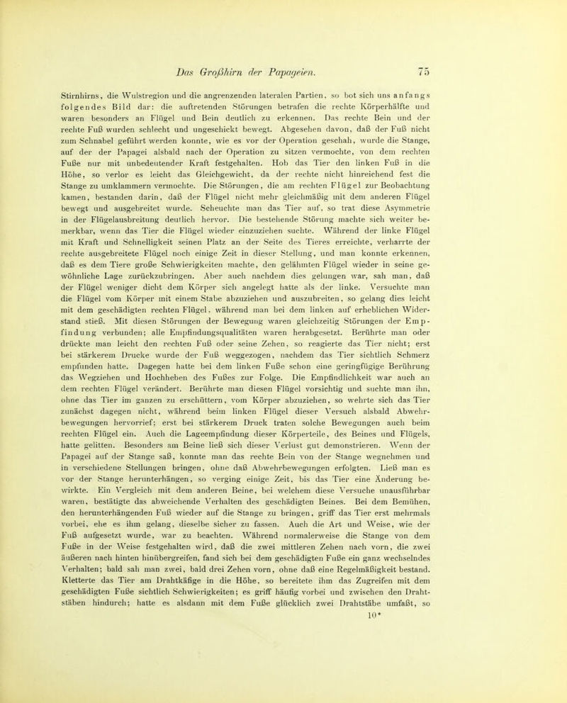 Stirnhirns, die Wulstregion und die angrenzenden lateralen Partien, so bot sich uns anfangs folgendes Bild dar: die auftretenden Störungen betrafen die lechte Körperhälfte und waren besonders an Flügel und Bein deutlich zu erkennen. Das rechte Bein und der rechte Fuß wurden schlecht und ungeschickt bewegt. Abgesehen davon, daß der Fuß nicht zum Schnabel geführt werden konnte, wie es vor der Operation geschah, wurde die Stange, auf der der Papagei alsbald nach der Operation zu sitzen vermochte, von dem rechten Fuße nur mit unbedeutender Kraft festgehalten. Hob das Tier den linken Fuß in die Höhe, so verlor es leicht das Gleichgewicht, da der rechte nicht hinreichend fest die Stange zu umklammern vermochte. Die Störungen, die am i-echten Flügel zur Beobachtung kamen, bestanden darin, daß der Flügel nicht mehr gleichmäßig mit dem anderen Flügel bewegt und ausgebreitet wurde. Scheuchte man das Tier auf. so trat diese Asymmetrie in der Flügelausbreitung deutlich hervor. Die bestehende Störung machte sich weiter be- merkbar, wenn das Tier die Flügel wieder einzuzielien suchte. Während der linke Flügel mit Kraft und Schnelligkeit seinen Platz an der Seite des Tieres erreichte, verharrte der rechte ausgebreitete Flügel noch einige Zeit in dieser Stellung, und man konnte erkennen, daß es dem Tiere große Schwierigkeiten machte, den gelähmten Flügel wieder in seine ge- wöhnliche Lage zurückzubringen. Aber auch nachdem dies gelungen war, sah man, daß der Flügel weniger dicht dem Körper sich angelegt hatte als der linke. Versuchte man die Flügel vom Körper mit einem Stabe abzuziehen und auszubreiten, so gelang dies leicht mit dem geschädigten rechten Flügel, während man bei dem linken auf erheblichen Wider- stand stieß. Mit diesen Störungen der Bewegung waren gleichzeitig Störungen der Emp- findung verbunden; alle Empfindungsqualitäten waren herabgesetzt. Berührte man oder drückte man leicht den rechten Fuß oder seine Zehen, so reagierte das Tier nicht; erst bei stärkerem Drucke wurde der Fuß weggezogen, nachdem das Tier sichtlich Schmerz empfunden hatte. Dagegen hatte bei dem linken Fuße schon eine geringfügige Berührung das Wegziehen und Hochheben des Fußes zur Folge. Die Empfindlichkeit war auch an dem rechten Flügel verändert. Berührte man diesen Flügel vorsichtig und suchte man ihn, ohne das Tier im ganzen zu erschüttern, vom Körper abzuziehen, so wehrte sich das Tier zunächst dagegen nicht, während beim linken Flügel dieser Versuch alsbald Abwehr- bewegungen hervorrief; erst bei stärkerem Druck traten solche Bewegungen auch beim rechten Flügel ein. Auch die Lageempfindung dieser Körperteile, des Beines und Flügels, hatte gelitten. Besonders am Beine ließ sich dieser \'erlust gut demonstrieren. Wenn der Papagei auf der Stange saß, konnte man das rechte Bein von der Stange wegnehmen und in verschiedene Stellungen bringen, ohne daß Abwehrbewegungen erfolgten. Ließ man es vor der Stange herunterhängen, so verging einige Zeit, bis das Tier eine Änderung be- wirkte. Ein Vergleich mit dem anderen Beine, bei welchem diese Versuche unausführbar waren, bestätigte das abweichende Verhalten des geschädigten Beines. Bei dem Bemühen, den herunterhängenden Fuß wieder auf die Stange zu bringen, griff das Tier erst mehrmals vorbei, ehe es ihm gelang, dieselbe sicher zu fassen. Auch die Art und Weise, wie der Fuß aufgesetzt wurde, war zu beachten. Während normalerweise die Stange von dem Fuße in der Weise festgehalten wird, daß die zwei mittleren Zehen nach vorn, die zwei äußeren nach hinten hinübergreifen, fand sich bei dem geschädigten Fuße ein ganz wechselndes Verhalten; bald sah man zwei, bald drei Zehen vorn, ohne daß eine Regelmäßigkeit bestand. Kletterte das Tier am Drahtkäfige in die Höhe, so bereitete ihm das Zugreifen mit dem geschädigten Fuße sichtlich Schwierigkeiten; es griff häufig vorbei und zwischen den Draht- stäben hindurch; hatte es alsdann mit dem Fuße glücklich zwei Drahtstäbe umfaßt, so 10*