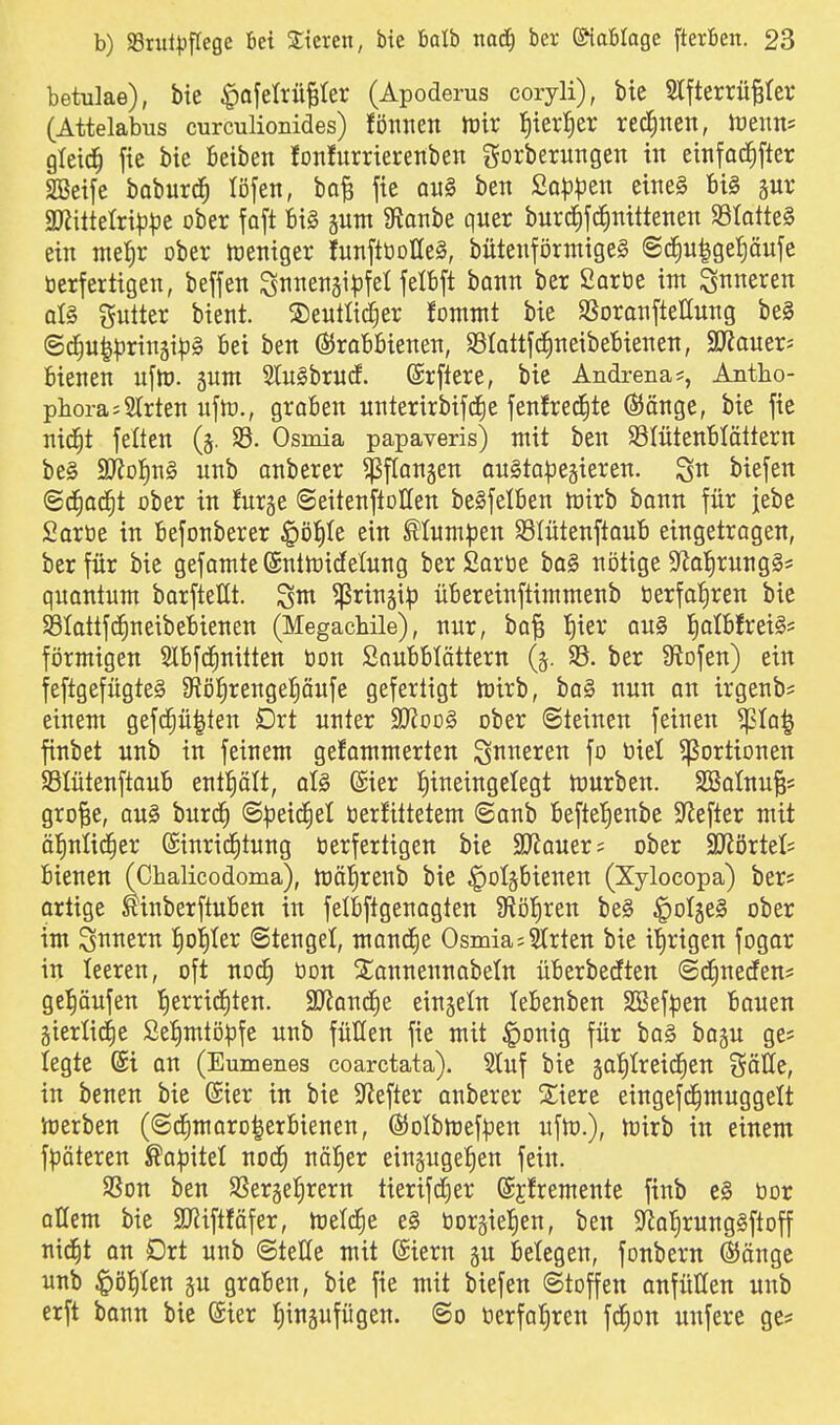 betulae), bie $QfeIrü|ter (Apoderus coryli), bte STfterrü^rer (Attelabus curculionides) Umzxi toix tjierl^er red^nen, tneiins gleich fie bie Beiben fonfurrieretiben gorberungen in einfac^fter SBeife baburc^ löfen, bo^ fie ait0 ben S,üp\)tn eine§ bi§ gur 3JJitteIri|3|3e ober faft 6i§ gUTn 9taitbe quer burd)fc|nttteiien 93Iatte§ ein nieJir ober tüeniger funflöotte^, bütenförnttgeS @c^u|ge{)äuje öerfertigen, beffen SnnengilJfel fetbft bann ber Soröe im inneren al§ gutter bient. S)eutltd^er !ommt bie SSoranfteEung be§ ©c^u||3rin5i|3§ M ben @5raB6ienen, ^BlattjdineibeBienen, SJJauep bienen nfio. sunt 2Iu§brud. (ärflere, bie Andrena*, Antho- phora; Strien ufh)., groben unterirbifd^e fenfredite ®änge, bie fie nid^t feiten (§. S3. Osmia papaveris) mit ben SlntenBIältern be§ Äof)x\§ unb anberer ^flonjen anSta^egieren. biefen «Sd^oc^t ober in fnrge ©eitenftoKen beSfelben tt)irb bann für jebe Sartie in befonberer |)D|Ie ein ^Inm|Den Slütenftanb eingetragen, ber für bie gefamte Sntfticfelung berSortie ba§ nötige S^al^rungS* qnantnm barfteüt. ^rinji^ üBereinftimmenb tierfatiren bie Stattfc^neibeBienen (Megachile), nur, bo^ !£)ier au§ l^atbfreiS* förmigen SIbfdfinitten tion Soubblöttern (5. 95. ber S^ofen) ein feftgefügteg 5Rö^renge|äufe gefertigt toirb, ba§ nun an irgenb* einem gefd^ü|ten Ort unter 9J?od§ ober Steinen feinen ^^la^ finbet unb in feinem gefammerten S^ti^ci^en fo biet Portionen SßlütenftauB entpit, al§ (Sier Iiineingelegt tüurben. SBatnu^* gro^e, ou§ burd^ (S^eic^el tierfittetem (Sanb Beftelienbe $Jiefter mit äl^nlic^er ©inrid^tung tierfertigen bie SJiauer; ober SD^örtel? Bienen (Chalicodoma), lüäl^reub bie ^otäBienen (Xylocopa) bers orlige ^inberftuBen in felBftgenoglen 9tö]^ren be§ ^olje^ ober im S^^^ci^i^ {)o|ler (Stenget, manche Osmia;Slrten bie itjrigen fogor in leeren, oft nod^ öon ^Jannennabetn üBerbecften (Sd[;neden= ge:§äufen lE)errirf)ten. aJiand)e einjeln teBenben SBef^en Bauen gierticEie Selimtö^fe unb füllen fie mit §onig für ba§ bogu ge* legte @i an (Eumenes coarctata). 9Iuf bie §a{)Ireid^en Sötte, in benen bie (Sier in bie S^lefter anberer Xiere eingefd^muggelt merben ((Sd^marolerBienen, ©olbtnef^en uftt).), tüirb in einem fpöteren ßa^itel noc^ nölfier ein§ugef)en fein. 9Son ben SSergel^rern tierifdjer ©jfremente finb e§ bor ottem bie 3Jiiftföfer, meiere e§ tior^iel^en, ben 9^al^rung§ftoff nid§t an Drt unb @teüe mit (Siern §u Belegen, fonbern ®änge unb $ö!)ten gu graBen, bie fie mit biefen Stoffen anfütten unb erft bonn bie (Sier {)inäufügen. «So tierfal^ren f^on unfere ge?