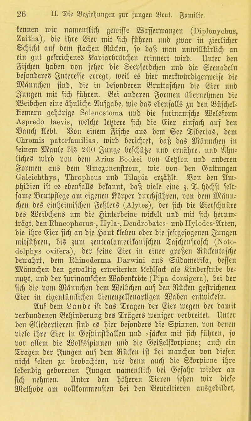 fennen lütr natneitllic^ geltJiffe SSaffertranäen (Diplonychus, Zaitha), bie i^xz @ter mit führen unb ^mv in ^ierlic^er (Sc^idlt auf bem flacfien mUtn, \o ba^ man unmiUfürtid^ an ein gut geftric^eneS JJoüiarbrötd^en erinnert föirb. Unter ben gifc^en flauen öon je|er bie ©ee^jferbcfien unb bie (Seenabeln befonbereS ^ntereffe erregt, n^eil e§ {)ier merfhJürbigermeife bie SJZönndCien finb, bie in befonberen S3ruttafd^en bie (Sier unb Sungen mit fid^ fülCiren. Sei anbeten formen übernel)men bie SBeibc^en eine ö{)nlic|e 5Iufgabe, mie ba§ ebenfoHS ju ben $8üfcE)e(i liemern get)örige Solenostoma unb bie furinamfc^e SBelSform Aspredo laevis, toeld^e Ie|tere \xä) bie @ier einfach auf ben Sauc^ Hebt. SSon einem gifrfie au§ bem ©ee Liberias, bem Chromis paterfamilias, mirb berichtet, ba§ bo§ SD^Jännd^en in feinem SJJaute bi§ 200 Sunge befc^ü^e unb ernähre, unb Stiins iid§e§ njirb bon bem Arius Bookei üon (£et)Ion unb anberen t^ormen au§ bem Stmajonenftrom, toie öon ben (Sattungen GaleicMhys, Thropheus uub Tilapia ergölllt. SSou ben 5tms :|3l)tbien ift e§ ebenfalls befannt, ba^ öiele eine 5. %. l^öd^ft feit; fame S5rut|)f(ege am eigenen ^ör:per burdjfül^ren, öon bem iRäm-- c^en be§ ein^eimifd^en ge^IerS (Alytes), ber fid^ bie ©ierfc^nüre be§ SBeibd^enS um bie |)interbeine midelt unb mit fid^ l^erum* trägt, ben Ehacophorus-, Hyla-, Dendrobates- unb Hylodes-Strten, bie ii)re @ier fic^ an bie §aut Heben ober bie feftgefogenen Siingen mitfül^ren, bi§ gum gentrolamerifanifciien S^afd^enfrofd^ (Noto- delphys ovifera), ber feine (Sier in einer großen 9lücEentafd§e bema^rt, bem Bhinoderma Darwini ou§ ©übamerifa, beffen ajJönnd^en ben getoaltig ermeiterten ^el^Ifad al§ Äinberftube be? nu|t, unb ber furinamfc^en Sßabenfröte (Pipa dorsigera), bei ber fid^ bie öom aJJännd^en bem SSeibc^en auf ben SfJücEen geftric^enen (Sier in eigentümlichen bienengelleuortigen SBaben entmidfetn. STuf bem Sanbe ift bo§ STragen ber ßier megen ber bamit üerbunbenen Söe^inberung be§ 2;räger§ h:)eniger öerbreitet. Unter ben ©üebertieren finb e§ l^ier befonberS bie ©Irinnen, öon benen öiele i|re (Sier in ©ef^inftboKen unb '-^ädtn mit fic^ führen, fo öor oHem bie SGßolfSf^jinnen unb bie ®eiBeIffor|)ione; and) ein Strogen ber S«nge« öuf i>ew Stüdten ift bei mond^en öon biefen nid^t fetten ju beobad^ten, irie benn aud^ bie ©forj^ione iljre lebenbig geborenen jungen namentlidC) bei ©efal^r tuieber an fiel nel)men. Unter ben I)öf)eren 2:ieren fe^en föir biefe äJiet^obe am öDÜfommenften bei ben SSeuteltiereu au§gebilbct,