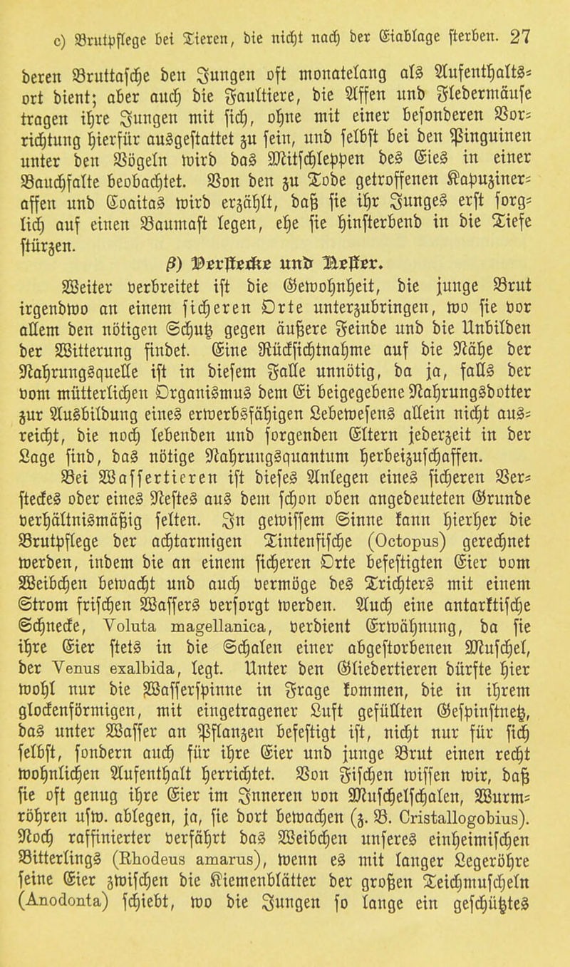 bereu iBruttofc^e ben jungen oft monatelang al§ STufentl^altS* ort bient; afier ouc^ bte gaultiere, bie Siffen unb f^teberntäufc tragen t^re jungen mit \xä), o^nt mit einer Befonberen SSors ri^tung hierfür auSgeftattet ju fein, unb felbft Bei ben Pinguinen unter ben SSögeln n)irb bo§ aJiitf(i^Ie|3pen be§ (£ie§ in einer San^fatte beoBad^tet. SSon ben ju Xobe getroffenen ^apu^iner^ äffen unb eoaito§ n)irb ergä^It, ba§ fte i^r 3unge§ erft forg* üä) auf einen S3aumaft legen, eJie fie Jiinfterbenb in bie Xiefe ftürsen. SBeiter üerBreitet ift bie (SJen)ot)n:^eit, bie junge $8rut irgenbh)o an einem fieberen Drte unterjubringen, m fie bor oHem ben nötigen @d^u| gegen äußere geinbe unb bie Unbilben ber SSitterung finbet. (£ine 9?üdfi(i)tnaf)me auf bie ^ä^t ber S'la^mnggquette ift in biefem gaUe unnötig, ba ja, faüS ber üom mütterlichen DrganiSmuS bem @i Beigegebene Sflal^rungSbotter jur 2lu§Bitbung etne§ ertoerB§fä!§igen ßeBett)efen§ allein nidfit au§s reid^t, bie noc^ leBenben unb forgenben ©Item jebergeit in ber Soge finb, bo§ nötige S^al^ruugSquantum l^erBeigufdEiaffen. S3ei Sßaffertieren ift biefeg Megen eine§ fidleren SSer« ftede§ ober eine§ $Jlefte§ au§ bem fd^on oben ongebeuteten (55runbe öer^ältnigmä^ig feiten, ^n getoiffem ©inne fann liierter bie SSrut^jflege ber ad^tarmigen SEintenfifd^e (Octopus) gerechnet merben, inbem bie an einem fidleren Drte Befefttgten @ier öom SßeiBd^en BemadEit unb auc^ bermöge be§ %xidi)kx§ mit einem (Strom frifcEien 2Baffer§ berforgt toerben. Slud^ eine antarftifdC)e ©d^necEe, Voluta magellanica, berbieut (5rmäf)nung, ba fie i|re @ier ftetS in bie @(^alen einer aBgeftorBenen SWufd^et, ber Yenus exalbida, legt. Unter ben Öiliebertieren bürfte ^ier h)o{)t nur bie ^afferf|3inne in grage !ommen, bte in it)rem gtocfenförmtgen, mit eingetragener Suft gefüllten ©ef^jinftne^, ba§ unter SBaffer an ^flangen Befeftigt ift, nic^t nur für fi^ felBft, fonbern aud^ für i|re ©ier unb junge Srut einen red^t too^nlic^en 3tufent^alt fierrid^tet. SSon gifcEien n^iffen mir, ba§ fie oft genug ifire @ier im St^neren bon SKuf^etfdialen, SBurms röl)ren ufm. ablegen, jo, fte bort Bemac^en (5. S8. Cristallogobius). S^oc^ raffinierter tierfäJirt ba§ SBeiB(^en unfere§ ein^eimifd^en S3itterling§ (Rhodeus amarus), menn e§ mit tonger ßegerötire feine ®ier gmifcfien bie ^iemenblötter ber großen 2:eid)mufd;eltt (Anodonta) fd)ieBt, mo bie Sungen fo lange ein gefcJ)ü^teg