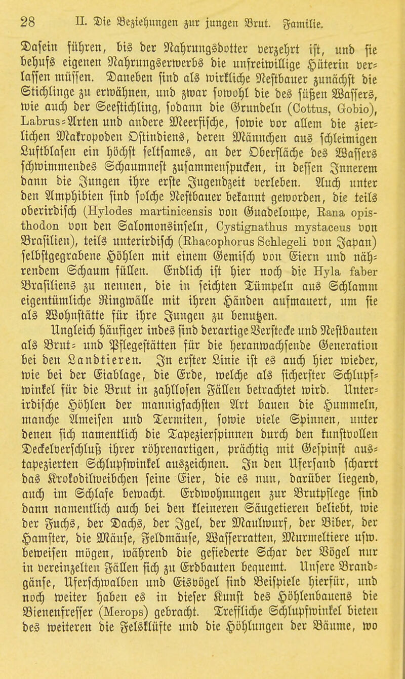 ©afein füiiren, 6i§ ber Sfia^ruitgSbotter tierje^rt ift, unb jic BefiufS eigenen S'^alirungSertüerbg bie unfreiwillige §uterin öer* laffen muffen, daneben finb aU njirflic^e S^ieftbauer junäciift bic ©tid^Ünge §u ertüätjnen, unb ätuar fonjot)! bie be§ fü^en SBaffer§, lüie aud) ber ©eeftic^ting, fobann bie ßJrunbeln (Cottus, Gobio), LabrussSlrten unb anbere 3JieerfifdE)e, folüie öor aKcm bie gier? lidien 9]'iafro:poben Dftinbien§, bereu äj^änndEien au§ f(f)Ieimigen ßuftfilafen ein t)'6ä)\t feltfameS, an ber Oberfläche be§ SSofferS fc^toimmenbeS @(f)auntneft 5ufammenfpucfen, in beffen S^^i^ei^eni bann bie jungen t^re erfte ^ugeubgeit öerleben. Stud^ unter ben 3lm^^)ibien finb foIcJie $Reftbauer beJannt geworben, bie tcili oberirbifd^ (Hylodes martinicensis tiou @uabelDU|)e, Eana opis- thodon öon ben ©alomonSinfetn, Cystignathus mystaceus bon SSrofitieu), tei(§ unterirbifd^ (Rhacophorus Schlegeli tion Sopat^) felbftgegrabene ^öl^Ien mit einem ©emifc^ bon @iern unb nä^; renbem ©d^aum füllen, ©nbliii^ ift Jiier noc| bie Hyla faber S3rafitien§ §u nennen, bie in feici)ten Siümpeln au§ @c|tamm eigentümtid^e 9iingft)ätte mit ii)ren Rauben auf mauert, um fie aU SBoIinflättc für iljre Sit^G^ benu^en. Ungtei(i) {)äufiger inbeS finb berartigeSSerftede unb Sleftbauten at§ SBrut; unb ^fCegeftätten für bie iieranmac^fenbe ©eneration bei ben Sanbtieren. erfter Sinie ift e§ auc^ !E)ier mieber, tüie bei ber ©iablage, bie (Srbe, tt)el(f)e aU fic^erfter @(^Iupf* Winfel für bie S3rut in ga^ttofen %aütn betra(ihtet mirb. Unter= irbifd^e |)D!E)Ien ber mannigfad^ften Slrt bauen bie fummeln, mandfie 5lmeifen unb 2;ermiten, foloie biete Sp'mntn, unter benen fid^ namentlid^ bie S;ape§ierfpinnen burd^ ben lunftbollen ^5)ecEeIberfdf|tuB i^rer röJirenartigen, ^)räd§tig mit ©efpinft au§* tapezierten ©d^tupfminfel auSgeic^nen. ben Uferfanb fc^arrt ba§ ^rofobitoeibd^en feine (Sier, bie e§ nun, barüber liegenb, oudf) im ©dfilafe bemadtit. ®rbmot)nungen gur S3rutj3f[cge finb bann namentlidE) aucf) bei ben fleineren Säugetieren beliebt, mie ber guc^§, ber ®ocJ)§, ber Ssel, ber SJlauImurf, ber Siber, ber ^amfter, bie SUiäufe, ^elbmäufe, SBafferratten, aJJurmettiere ufm. bemeifen mögen, loät)renb bie gefieberte ©d^ar ber SSögel nur in bereingelten gällen fid^ ju (Srbbauten bequemt. Uufere Sranb= gänfe, Uferfcfttrolben unb ©igbögel finb S3eifpiele f)ierfür, unb nod^ meitcr l^aben e§ in biefer ^unft bc§ ^öl^tenbaueng bie SSienenfreffer (Merops) gebrocfit. 2;refflid;e <Sd;Iu^3fminfeI bieten be§ weiteren bie gel^ftüfte unb bie §öl)lungeu ber Säume, wo