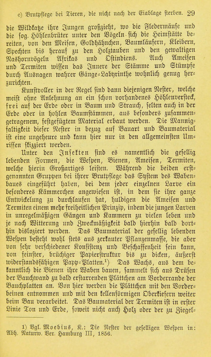 bie SBilbfa^e il^re S«ngen gro^ste^t, tüo bie giebermäufe unb bie fog. §öt)lenljrüter unter ben SSögeln ficJ) bie ^eirnftötte Be^ retten, öon ben SJZeifen, ©olbJiä^ncJien, SBaumtäufern, ^teiöern, ©peilten Bi§ {lerouf jn ben §oI§tan6cn unb ben getraltigen gfiag^ornöögeln 2lfrifa§ nnb D[tinbien§. Sluc^ STmeifen unb Sermiten tuiffen bag Sn«ere ber ©tämme unb ©tüm^}fe burd^ fcnagen wahrer @änge^SaBt)rint^)C too^nlic^ genug ^er^ Juristen. ^unftboÖer in ber Siegel finb bann biejenigen S^lefter, tüet^c ttteift o^ne Slnlel^nung an ein fc^on üorl^anbeneg §ö!)Ientierfted, frei auf ber ®rbe ober in 93aum unb ©trauc^, feiten ouc^ in ber ©rbe ober in !^ot)Ien Saumftämmen, au§ befonber§ gufanintens getragenem, feftgefügtem SJJateriot erbaut toerben. S)ie 3JJannig= fattigfeit biefer S^iefter in bejug auf 93ouart unb Saumateriat ift eine ungeheure unb fann l^ier nur in ben aügemeinften Um* riffen ffisjiert toerben. Unter ben Swfe^tcn finb e§ namentüc^ bie gefeilig lebenben ?^ormen, bie SSefpen, S3ienen, 5Imeifen, Slermiten, toeld^e l^ierin Großartiges leiften. SSäfirenb bie Beiben erft* genonnten (^vnpptn 6ei il^rer Sßrutpftege ba§ (Stiftern be§ SBaBens Baues eingefülirt I^aBen, Bei bem jeber eingelnen Saröe ein BefonbereS ^ämmercfien angetoiefen ift, in bem fie i^re gan^e ©ntlüidelung gu burc^Iaufen f)at, l^ulbigen bie 5lmeifen unb 2:ermiten einem mel)r frei^eitlidfien ^rinji:)), inbem bie jungen Sartien in unregelmäßigen ßiängen unb Kammern gu öielen leBen unb je nad^ SBitterung unb B^^edmäßigfeit Balb Iiierl^in Balb bort^ I)in bislojiert merben. ®a§ Baumaterial ber gefellig leBenben SBefpen Beftelit tool^I ftets au§ gerfauter ^flangenmaffe, bie aber öon fet)r öerfd^iebener ^onfiftenj unb SSefd^affenl^eit fein fann, tion feinfter, Bruc£)iger ^a^iierftrultur Bi§ ju biden, öußerft miberftanbsföligen ^a|D)3sPatten.^) S)a§ SBac^S, au§ bem Be* fanntlid^ bie Lienen ilire SßaBen Bauen, fammelt fic^ ou§ S)rüfen ber SSaud^manb gu Balb erftarrenben ^lättd^en am Sßorberranbe ber S3auc^|3latten an. SSon I)ier merben bie ^Iätt(i^en mit ben SSorber^: Beinen entnommen unb mit ben fetlenförmigen DBerfiefern meiter Beim 58au üerarBeitet. S)aS Saumaterial ber Siermiten ift in erfter Sinie %on unb (Srbe, fomeit nic^t audf) ^olg ober ber p Riegel* 1) SSgl. SKocBtug, ®te SJefter ber gefelligeu SBef^jen in: 9t5f). 5Rotutn). aSer. Hamburg III, 1856.