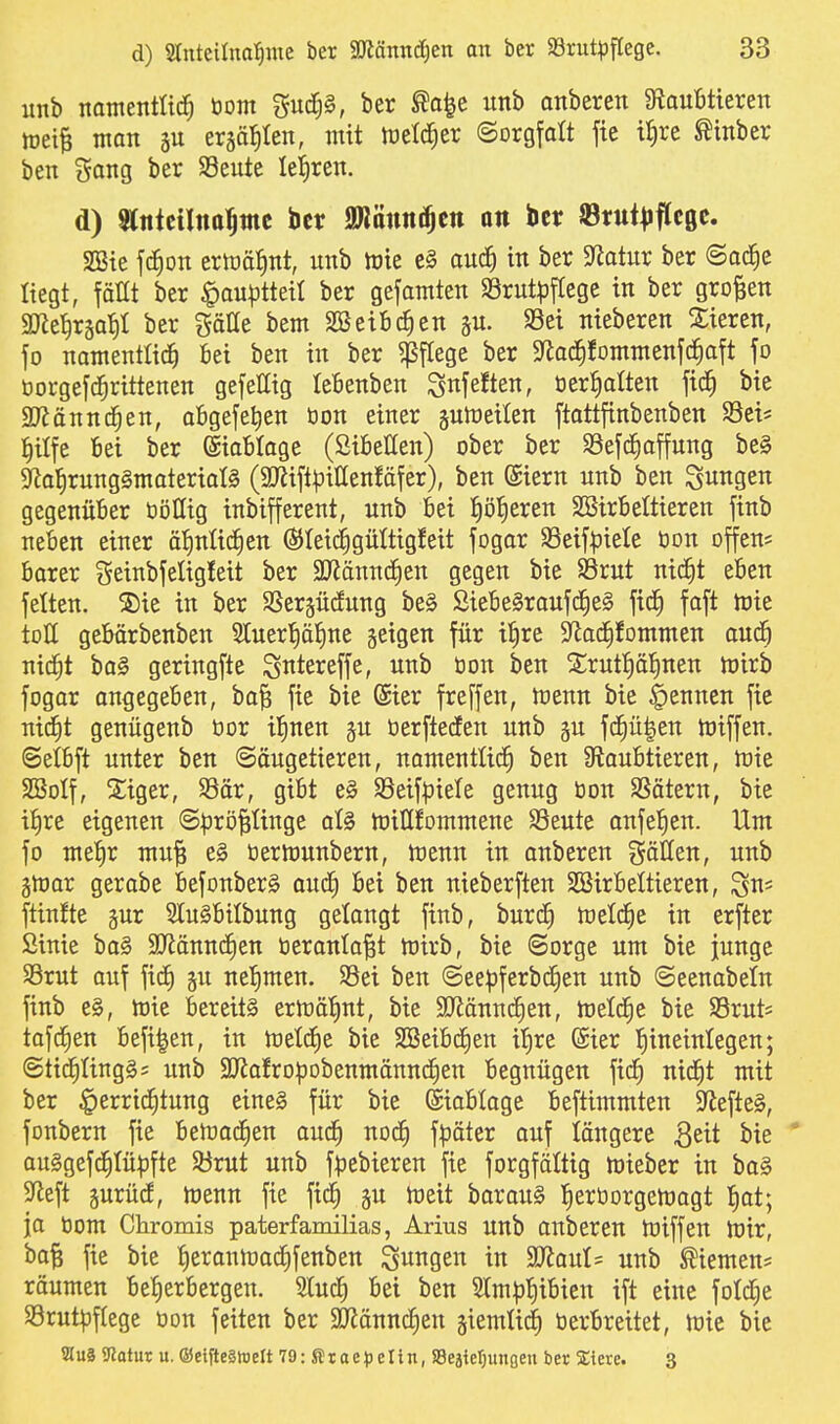 unb natnentlid^ öom gud^§, ber ^a|e unb anberen 9tau6tieren toeiB man gu er§ä]^Ien, mit tüeld^er (Sorgfott fte tf)rc ^inbcr ben i5ang ber SSeute leJiren. d) SJntcilno^tttc bcr SWünn^cn an bcr SBrttt^jflcöc. SBie fc^ott ertoö^nt, unb toie e§ auc^ in ber S^otur ber (Sac|e Hegt, fällt ber §au^3ttetl ber gefamten SSruti^ftege in ber großen mt^xiaf)l ber Salle bem SBeibc^en p. S3ei nieberen ^Sieren, fo namentlich 6ei ben in ber Pflege ber Sflac^Jommenjc^aft fo öorgefd^rittenen gefellig leBenben ^nfeften, öertialten fi^ bie SRännd^en, a6gefet)en öon einer jutoeilen ftottfinbenben SSci* ^ilfe !6ei ber ©iaBIoge (SifieHen) ober ber SSefc^apng be§ Sfial^rungSmoterialS (aJiift^jiUenfäfer), ben ©iern unb ben jungen gegenüber öiiHig inbifferent, unb bei l^ö^eren SßirBeltieren finb neben einer äl^nüc^en ®Iei(^gültigfeit fogor SSeif^iete öon offen* borer geinbfeligfeit ber SJJänncEien gegen bie SSrut nic^t eben fetten. S)ie in ber SSergüclung be§ ßiebeSroufc^e^ fid^ foft h)ie toü gebärbenben 2Iuer{)ä{)ne geigen für il^re Sfioc^fommen auc^ nic^t bQ§ geringfte S«tereffe, unb üon ben Srutp^nen tüirb fogor angegeben, bo^ fie bie @ier freffen, ujenn bie Rennen fie nid^t genügenb üor il^nen gu berfteden unb gu fc^ülen föiffen. (Seibft unter ben Säugetieren, nomenttic^ ben S^oubtieren, toie SBoIf, 2;iger, S3är, gibt e§ SSeifpiete genug öon SSätern, bie i{)re eigenen (Sprößlinge oI§ hjiHfommene SSeute onfel^en. Um fo mel^r muß e^ bernjunbern, h)enn in anberen gäöen, unb gmor gerobe befonberä oud^ bei ben nieberften SBirbeltieren, fünfte gur 2lu§bilbung gelangt finb, burd) toetc^e in erfter Sinie bo§ 9Jlänn(fien öerontoßt mirb, bie (Sorge um bie junge S5rut auf fidE) gn nefimen. S3ei ben (Seepferbd^en unb (Seenobeln finb e§, mie bereite ermäfint, bie SDtänmfien, meldte bie SSrut* tofdEien befi^en, in n)etd£)e bie SBeibdEien i!)re (Sier l^ineintegen; @tid^Iing§= unb SO^ofropobenmänndien begnügen fid^ nid^t mit ber §errid^tung eines für bie ©iobloge beftimmten ^JiefteS, fonbern fie betnod^en oudE) nod^ f^jäter auf längere Qdi bie ' ouSgefd^Iüpfte $örut unb fipebieren fie forgfältig mieber in ba§ S^ieft gurücf, rt)enn fie fid^ gu nieit borouS l^eröorgemagt {)ot; ja bom Chromis paterfamilias, Arius unb anberen tüiffen toix, boß fie bie l^eranlooc^fenben ^«92^^ in WtanU unb Siemen* räumen bef)erbergen. Sluc^ bei ben 2lm:pf)ibien ift eine folc^e SSrutpftege bon feiten ber SnJännd^en §iemU(fi berbreitet, mie bie Wuä 3lotur u. ®eifte§tDeIt TDr^taepelin, 58eäier)unGen ber Stere. 3
