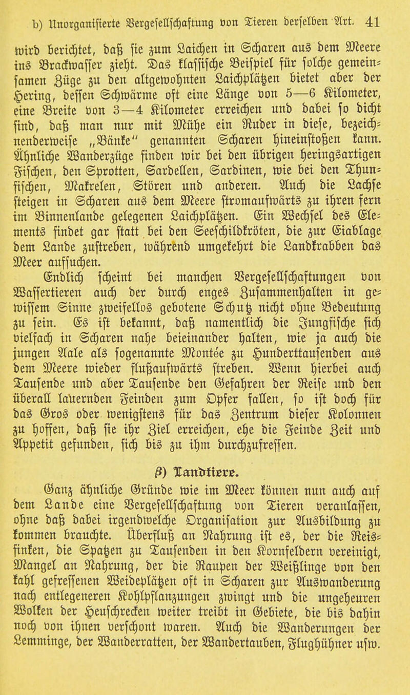 tüirb Berichtet, baB ftc pm Saiden in ©d^aren au§ bem SD^eere in! Sracftüaffer jtel^t. ®a§ ftafftfc^c Seifpiel für fotc^e gemein* famen Büge ben altgenjo^^nten SaicJipIä^en Bietet aber ber gering, beffen @d)tt)ärme oft eine Sänge öon 5—6 Kilometer, eine breite tion 3—4 Kilometer erreid^en nnb babei fo bic^t finb, ba^ man nnr mit M^e ein 9luber in biefe, Bert'- nenbernjeife „Sänfe genonnten ©ciEioren lEiineinfto^en fonn. Si^ntic^e SBanbergüge finben toir Bei ben übrigen ^ering§artigen gifdien, ben Sprotten, ©arbellen, (Sarbinen, mie Bei ben X^^m- fifd^en, SU^ofrelen, Stören nnb anberen. Slud^ bie Sad^fe fteigen in ©c^aren au§ bem 3Jieere ftromanfn)ärt§ i^ren fern im Sinnenlanbe gelegenen ßaic^ptä|en. @in 2i3ed^fe( be§ (Sit- ment§ finbet gar ftatt Bei ben ©eefd^ilbfröten, bie jur ©iaBIoge bem Sanbe guftreBen, toäfircnb umge^el^rt bie SanbfroBBen ba§ SJieer auffud^en. ©nblid^ fd^eint Bei mandfien SSergefellfc^aftungen bon SBaffertieren and^ ber bur^ enge§ ßufammen'^atten in ge? n)iffem ©inne ätoeifellog gebotene <SdC)u^ nid|t otine SBebeutung ju fein. @§ ift befannt, ba^ namentüd^ bie ^nngfifc^e \xä) oietfad^ in ©d^aren na|e beieinanber !£)alten, mie jo aud£) bie jungen State al§ fogenonnte SJiontee ^unberttaufenben ou§ bem 3Jleere hjieber ftu^auftnärtS ftreben. SBenn l^ierbei aud§ Sianfenbe nnb aber 2;aufenbe ben Ö^efal^ren ber Steife nnb ben überall laüernben geinben pm D^jfer fallen, fo ift bod^ für ba§ ®ro§ ober h)enigften§ für ba§ B^^trum biefer Kolonnen jn tioffen, ba^ fie i|r Qid erreid^en, e^e bie geinbe ßeit unb St)3petit gefunben, fid^ bi§ §u i^m burd^gufreffen. ß) Umtiiitvt. ©ans ö'^ntic^e ©rünbe njie im 3D^eer !önnen nun aud^ auf bem Sonbc eine SSergefettfd^oftung oon Xieren üeronlaffen, o^ne ba| babei irgenbU)dd§e Drganifation gur 2tu§bilbung ju fommen braud^te. Überfluß on 5Ra]^rung ift e§, ber bie 9lei§= finfen, bie @^)a^en ju SCaufenben in ben ^ornfelbern Oereinigt, SJJanget an $)laf)rung, ber bie 9iaupen ber SSei^tinge öon ben faf)I gefreffenen SBeibepIä^en oft in Scharen jur Slugtoanberung nadf) entlegeneren ^otilpftangungen gttJingt unb bie unget)euren SBolfen ber §eufd^recfen toeiter treibt in ©ebiete, bie bi§ batiin noc^ tion itinen tierfc^ont looren. 2Iuc^ bie SBanberungen ber Semminge, ber SSanberratten, ber SBanbertauBen, gtugp^ner uftt).