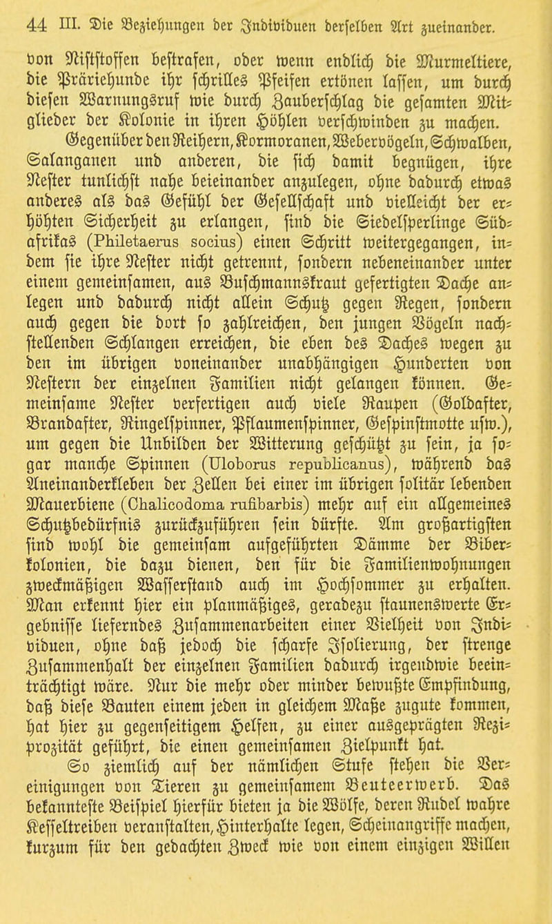 bon S^lififtoffcn beftrafen, ober tüenn enblic^ bie 9}?urmeltterc, bie ^rärie{)unbe if)r fc|rtae§ pfeifen ertönen laffen, um bur^ biefen SBarnung§ruf tüie burd; Bouberfcfilag bie gefamten TliU gtteber ber Kolonie in it)ren |)öt)ten berfd;lüinben nia(f|en. ®egenüIjerben9lei'^ern,^DrmDranen,2BeberöögeIn,@d^tt)oI6en, ©alonganen unb onberen, bie ftc^ bamit begnügen, i|rc S^efter tunlidift nal^e beieinanber onjutegen, ol^ne baburc^ eth)a§ anbere§ aU bo§ ®efüt)t ber ßJefeUfdöaft unb öießeicf)t ber er* ^)'ö^kn ©id^erl^eit gu erlangen, finb bie <SiebeIf:perItnge ©üb^ afrifa§ (Philetaerus socius) einen ©d^ritt toeitergegangen, in= bem fie iiire S'tefter nic^t getrennt, fonbern nebeneinanber unter einem gemeinjomen, ou§ S3ujc^monn§fraut gefertigten S)ac^e an* legen unb baburd^ nid^t ottein @d^u| gegen Stegen, fonbern oud^ gegen bie bort fo jo^treid^en, ben jungen SSögeln nac^; fteHenben ©c^tongen erreichen, bie eben be§ 2)acf)e§ ioegen gu ben im übrigen boneinonber unabJiängigen §unberten bon S^ieftern ber einzelnen gamiüen nid^t gelangen {önnen. (Se- meinfome S^efter berfertigen aud^ biete 9tau^3en (©olbafter, SSranbafter, Üiingelfpinner, ^f[aumenf^inner, Ö5ef|)inftmotte ufh).), um gegen bie Unbilben ber SBitterung gefd^ü|t ju fein, ja fo* gar mand^e ©Irinnen (Uloborus republicanus), tüäl^renb ba§ 2(neinanberfteben ber QtUtn bei einer im übrigen fotitär tebenben äRouerbiene (Chalicodoma rufibarbis) mel^r ouf ein allgemeine^ ©d^u|bebürfni§ gurüdgufül^ren fein bürfte. 2Im gro^artigften finb tüD^I bie gemeinfam oufgefül^rten 5Dämme ber i8iber= folonien, bie bagu bienen, ben für bie gamilienmol^nungen jmedmä^igen SBafferftanb oud^ im ^ocEifommer gu erl^alten. aJtan erfennt l^ier ein :planmö^ige§, gerabegu ftaunen§merte @rs gebniffe Uefernbe§ ßufammenorbeiten einer SSiel^eit bon ^nbiJ bibuen, ol^ne bo^ jebod^ bie fd^arfe Sfolierung, ber ftrengc ^nfommenl^alt ber einzelnen gamilien baburd^ irgenbn)ie beein= träd^tigt loäre. 5)lur bie me|r ober minber betüu^te (Sm^jfinbung, ba^ biefe Sauten einem jeben in gteid^em SD^a|e äugute Jommcn, Ifiat l^ier gu gegenfeitigem |)etfen, gu einer ouSge^jrägten fReji* :proäität gefüt)rt, bie einen gemeinfamen l^at. ©0 äiemlic^ auf ber nämlid;en ©tufe fte^en bie SSer? einigungen bon Siieren gu gemeinfamem SSeuteermerb. ®o§ befanntefte S3eifpiel r^ierfür bieten ja bie SBötfe, beren 5RubeI malere teffeltreiben beranftatten,,§intert)atte legen, ©d^einangriffc madjen, Jurjum für ben gebadeten Bmed mie bon einem cingigen SaSittcn