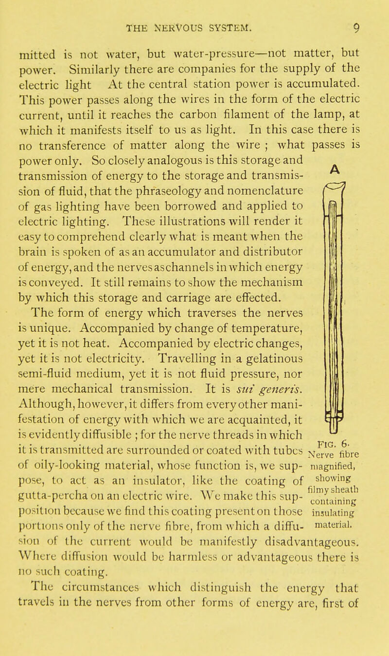 mitted is not water, but water-pressure—not matter, but power. Similarly there are companies for the supply of the electric light At the central station power is accumulated. This power passes along the wires in the form of the electric current, until it reaches the carbon filament of the lamp, at which it manifests itself to us as light. In this case there is no transference of matter along the wire ; what passes is power only. So closely analogous is this storage and transmission of energy to the storage and transmis- sion of fluid, that the phraseology and nomenclature of gas lighting have been borrowed and applied to electric lighting. These illustrations will render it easy to comprehend clearly what is meant when the brain is spoken of as an accumulator and distributor of energy, and the nerves aschannels in which energy is conveyed. It still remains to show the mechanism by which this storage and carriage are effected. The form of energy which traverses the nerves is unique. Accompanied by change of temperature, yet it is not heat. Accompanied by electric changes, yet it is not electricity. Travelling in a gelatinous semi-fluid medium, yet it is not fluid pressure, nor mere mechanical transmission. It is siri generis. Although, however, it differs from every other mani- festation of energy with which we are acquainted, it is evidently diffusible ; for the nerve threads in which it is transmitted are surrounded or coated with tubes ^t^' fibre of oily-looking material, whose function is, we sup- magnified, pose, to act as an insulator, like the coating of showig gutta-percha on an electric wire. We make this sup- ^om^nlng position because we find this coating present on those insulating portions only of the nerve fibre, from which a diffu- material, sion of the current would be manifestly disadvantageous. Where diffusion would be harmless or advantageous there is no such coating. The circumstances which distinguish the energy that travels in the nerves from other forms of energy are, first of