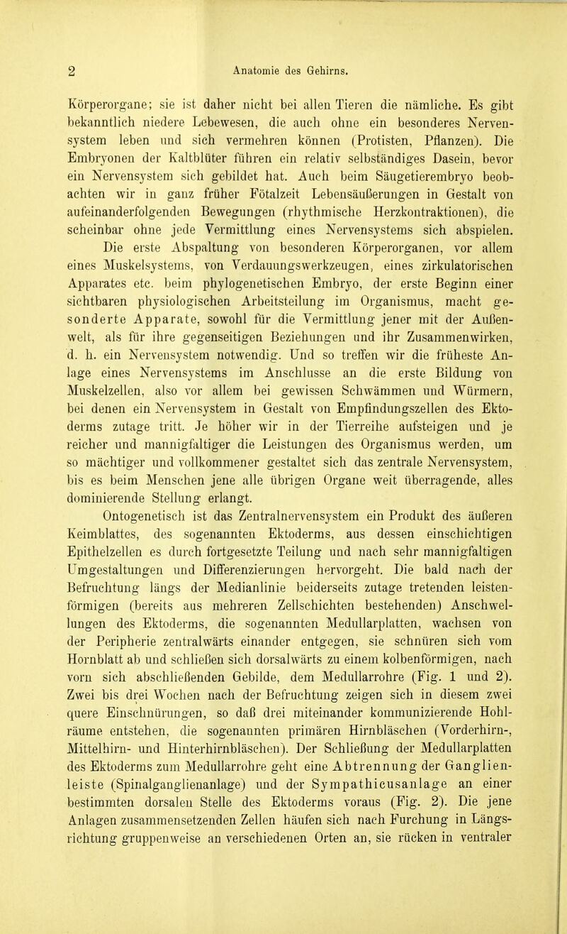 Körperorgane; sie ist daher nicht bei allen Tieren die nämliche. Es gibt bekanntlich niedere Lebewesen, die auch ohne ein besonderes Nerven- system leben und sich vermehren können (Protisten, Pflanzen). Die Embryonen der Kaltblüter führen ein relativ selbständiges Dasein, bevor ein Nervensystem sich gebildet hat. Auch beim Säugetierembryo beob- achten wir in ganz früher Fötalzeit Lebeusäußeruugen in Gestalt von aufeinanderfolgenden Bewegungen (rhythmische Herzkontraktionen), die scheinbar ohne jede Vermittlung eines Nervensystems sich abspielen. Die erste Abspaltung von besonderen Körperorganen, vor allem eines Muskelsystems, von VerdauungsWerkzeugen, eines zirkulatorischen Apparates etc. beim phylogenetischen Embryo, der erste Beginn einer sichtbaren physiologischen Arbeitsteilung im Organismus, macht ge- sonderte Apparate, sowohl für die Vermittlung jener mit der Außen- welt, als für ihre gegenseitigen Beziehungen und ihr Zusammenwirken, d. h. ein Nervensystem notwendig. Und so treifen wir die früheste An- lage eines Nervensystems im Anschlüsse an die erste Bildung von Muskelzellen, also vor allem bei gewissen Schwämmen und Würmern, bei denen ein Nervensystem in Gestalt von Empfindungszellen des Ekto- derms zutage tritt. Je höher wir in der Tierreihe aufsteigen und je reicher und mannigfaltiger die Leistungen des Organismus werden, um so mächtiger und vollkommener gestaltet sich das zentrale Nervensystem, bis es beim Menschen jene alle übrigen Organe weit überragende, alles dominierende Stellung erlangt. Ontogenetisch ist das Zentralnervensystem ein Produkt des äußeren Keimblattes, des sogenannten Ektoderms, aus dessen einschichtigen Epithelzellen es durch fortgesetzte Teilung und nach sehr mannigfaltigen Umgestaltungen und Differenzierungen hervorgeht. Die bald nach der Befruchtung längs der Medianlinie beiderseits zutage tretenden leisten- förmigen (bereits aus mehreren Zellschiehten bestehenden) Anschwel- lungen des Ektoderms, die sogenannten MeduUarplatten, wachsen von der Peripherie zentralwärts einander entgegen, sie schnüren sich vom Hornblatt ab und schließen sich dorsalwärts zu einem kolbenförmigen, nach vorn sich abschließenden Gebilde, dem Medullarrohre (Fig. 1 und 2). Zwei bis drei Wochen nach der Befruchtung zeigen sich in diesem zwei quere Einschnürungen, so daß drei miteinander kommunizierende Hohl- räume entstehen, die sogenannten primären Hirnbläschen (Vorderhirn-, Mittelhirn- und Hinterhirnbläschen). Der Schließung der MeduUarplatten des Ektoderms zum Medullarrohre geht eine Abtrennung der Ganglien- leiste (Spinalganglienanlage) und der Sympathicusanlage an einer bestimmten dorsalen Stelle des Ektoderms voraus (Fig. 2). Die jene Anlagen zusammensetzenden Zellen häufen sich nach Furchung in Längs- richtung gruppenweise an verschiedenen Orten an, sie rücken in ventraler