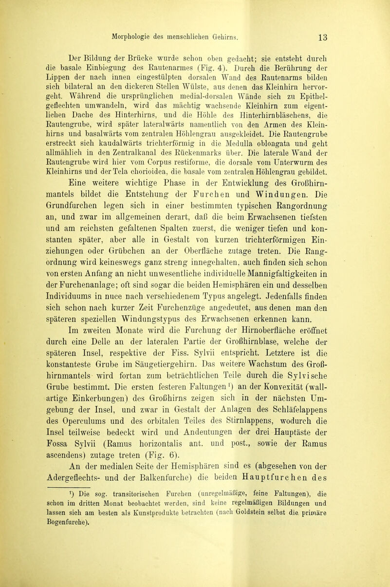 Der Bildung der Brücke wurde schon oben gedacht; sie entsteht durch die basale Einbiegung des Eautenarmes (Fig. 4). Durch die Berührung der Lippen der nach innen eingestülpten dorsalen Wand des Eautenarms bilden sich bilateral an den dickeren Stellen Wülste, aus denen das Kleinhirn hervor- geht. Während die ursprünglichen medial-dorsalen Wände sich zu Epithel- geflechten umwandeln, wird das mächtig wachsende Kleinhirn zum eigent- lichen Dache des Hinterhirns, und die Höhle des Hinterhirnbläschens, die Eautengrube, wird später lateralwärts namentlich von den Armen des Klein- hirns und basalwärts vom zentralen Höhlengrau ausgekleidet. Die Eautengrube erstreckt sich kaudalwärts trichterförmig in die Medulla oblongata und geht allmählich in den Zentralkanal des Eückenmarks über. Die laterale Wand der Eautengrube wird hier vom Corpus restiforme, die dorsale vom Unterwurm des Kleinhirns und derTela chorioidea, die basale vom zentralen Höhlengrau gebildet. Eine weitere wichtige Phase in der Entwicklung des Großhirn- mantels bildet die Entstehung der Furchen und Windungen. Die Grundfurchen legen sich in einer bestimmten typischen Eangordnung an, und zwar im allgemeinen derart, daß die beim Erwachsenen tiefsten und am reichsten gefaltenen Spalten zuerst, die weniger tiefen und kon- stanten später, aber alle in Gestalt von kurzen trichterförmigen Ein- ziehungen oder Grübchen an der Oberfläche zutage treten. Die Eang- ordnung wird keineswegs ganz streng innegehalten, auch finden sich schon von ersten Anfang an nicht unwesentliche individuelle Mannigfaltigkeiten in der Furchenanlage; oft sind sogar die beiden Hemisphären ein und desselben Individuums in nuce nach verschiedenem Typus angelegt. Jedenfalls finden sich schon nach kurzer Zeit Furchenzüge angedeutet, aus denen man den späteren speziellen Windungstypus des Erwachsenen erkennen kann. Im zweiten Monate wird die Purehung der Hirnoberfläche eröffnet durch eine Delle an der lateralen Partie der Großhirnblase, welche der späteren Insel, respektive der Fiss. Sylvii entspricht. Letztere ist die konstanteste Grube im Säugetiergehirn. Das weitere Wachstum des Groß- hirnmantels wird fortan zum beträchtlichen Teile durch die Sylvische Grube bestimmt. Die ersten festeren Faltungen') an der Konvexität (wall- artige Einkerbungen) des Großhirns zeigen sich in der nächsten Um- gebung der Insel, und zwar in Gestalt der Anlagen des Schläfelappens des Operculums und des orbitalen Teiles des Stirnlappens, wodurch die Insel teilweise bedeckt wird und Andeutungen der drei Hauptäste der Fossa Sylvii (Eamus horizontalis ant. und post., sowie der Eamus ascendens) zutage treten (Fig. 6). An der medialen Seite der Hemisphären sind es (abgesehen von der Adergefleehts- und der Balkenfurche) die beiden Haupt furchen des ^) Die sog. transitorischen Furchen (unregelmäßige, feine Faltungen), die schon im dritten Monat beobachtet werden, sind keine regelmäßigen Bildungen und lassen sieh am besten als Kunstprodukte betrachten (nach Goldstein selbst die. primäre Bogenfurehe).