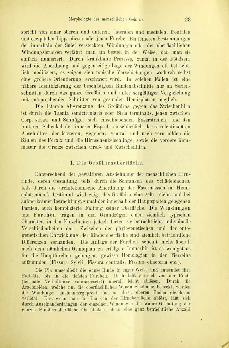 spricht von einer oberen und unteren, lateralen und medialen, frontalen und occipitalen Lippe dieser oder jener Furche. Bei feineren Bestimmungen der innerhalb der Sulci versteckten Windungen oder der oberflächlichen Windungsbrücken verfährt man am besten in der Weise, daß man sie einftich numeriert. Durch krankhafte Prozesse, zumal in der Fötalzeit, wird die Anordnung und gegenseitige Lage der Windungen oft beträcht- lich modifiziert, es zeigen sich topische Verschiebungen, vyodurch selbst eine gröbere Orientierung erschwert wird. In solchen Fällen ist eine nähere Identifizierung der beschädigten Eindenabschnitte nur an Serien- schnitten durch das ganze Großhirn und unter sorgfältiger Vergleichung mit entsprechenden Schnitten von gesunden Hemisphären möglich. Die laterale Abgrenzung des Großhirns gegen das Zwischenhirn ist durch die Taenia semicircularis oder Stria terminalis, jenen zwischen Corp. striat. und Sehhügel sich einschiebenden Faserstreifen, und den hinteren Schenkel der inneren Kapsel, einschheßlich des retrolenticulären Abschnittes der letzteren, gegeben; ventral und nach vorn bilden die Säulen des Fornix und die Hirnsehenkelschlinge, sowie die vordere Kom- missur die Grenze zwischen Groß- und Zwischenhirn. 1. Die Großhirnoberfläche. Entsprechend der gewaltigen Ausdehnung der menschlichen Hirn- rinde, deren Gestaltung teils durch die Schranken des Schädeldaches, teils durch die architektonische Anordnung der Fasermassen im Hemi- sphärenmark bestimmt wird, zeigt das Großhirn eine sehr reiche und bei aufmerksamer Betrachtung, zumal der innerhalb der Hauptspalten gelegenen Partien, auch komplizierte Faltung seiner Oberfläche. Die Windungen und Furchen tragen in den Grundzügen einen ziemlich typischen Charakter, in den Einzelheiten jedoch bieten sie beträchtliche individuelle Verschiedenheiten dar. Zwischen der phylogenetischen und der onto- genetischen Entwicklung der Eindenoberfläche sind ziemlich beträchtliche Differenzen vorhanden. Die Anlage der Furchen scheint nicht überall nach dem nämlichen Grundplan zu erfolgen. Immerhin ist es wenigstens für die Hauptfurchen gelungen, gewisse Homologien in der Tierreihe aufzufinden (Fissura Sylvii, Fissura centralis, Fissura olfactoria etc.). Die Pia umschließt die ganze Einde in enger Weise und entsendet ihre Fortsätze bis in die tiefsten Purehen. Doch läßt sie sich von der Einde (normale Verhältnisse vorausgesetzt) überall leicht ablösen. Durch die Araehnoidea, welche nur die oberfläehliclien Windungskämme bedeckt, werden die Windungen aneinandergepreßt und an ihren oberen Enden gleichsam verlötet. Erst wenn man die Pia von der Hirnoberfläche ablöst, läßt sich durch Auseinanderdrängen der einzelnen Windungen die wahre Gestaltung der ganzen Großhirnoberfläche überblicken; denn eine ganz beträchtliche Anzahl