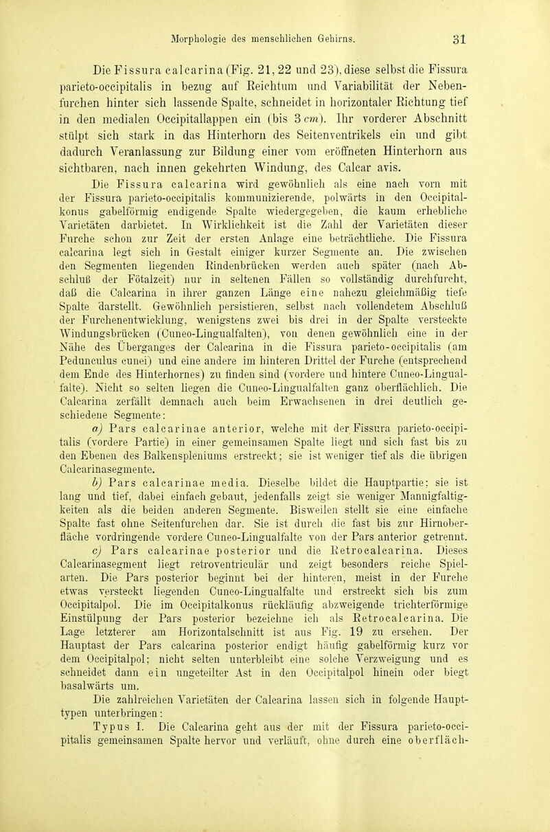 DieFissura calcarina (Fig. 21, 22 und 23), diese selbst die Fissiira parieto-occipitalis in bezug auf Eeichtura und Variabilität der Neben- furchen hinter sich lassende Spalte, schneidet in horizontaler Eiehtung tief in den medialen Occipitallappen ein (bis 3 cm). Ihr vorderer Abschnitt stülpt sich stark in das Hinterhorn des Seitenventrikels ein und gibt dadurch Veranlassung zur Bildung einer vom eröffneten Hinterhorn aus sichtbaren, nach innen gekehrten Windung, des Calcar avis. Die Fissura calcarina wird gewöhnlich als eine nach vorn mit der Fissura parieto-occipitalis kommunizierende, polwärts in den Occipital- konus gabelförmig endigende Spalte wiedergegeben, die kaum erhebliche Varietäten darbietet. In Wirklichkeit ist die Zahl der Varietäten dieser Furche schon zur Zeit der ersten Anlage eine beträchtliche. Die Fissura calcarina legt sich in Grestalt einiger kurzer Segmente an. Die zwischen den Segmenten liegenden Eindenbrücken werden auch später (nach Ab- schluß der Fötalzeit) nur in seltenen Fällen so vollständig durchfurcht, daß die Calcarina in ihrer ganzen Länge eine nahezu gleichmäßig tiefe Spalte 'darstellt. Grewöhnlich persistieren, selbst nach vollendetem Abschluß der Fnrchenentwieklung, wenigstens zwei bis drei in der Spalte versteckte Windungsbrücken (Cuneo-Lingualfalten), vou denen gewöhnlich eine in der Nähe des Überganges der Calcarina in die Fissura parieto-occipitahs (am Pedunculus cunei) und eine andere im hinteren Drittel der Furche (entsprechend dem Ende des Hinterhornes) zu finden sind (vordere und hintere Cuneo-Lingual- falte). Nicht so selten liegen die Cuneo-Lingualfahen ganz oberflächlich. Die Calcarina zerfällt demnach auch beim Erwachsenen in drei deutlich ge- schiedene Segmente: a) Pars calcarinae anterior, welche mit der Fissura parieto-occipi- talis (vordere Partie) in einer gemeinsamen Spalte liegt und sich fast bis zu den Ebenen des Balkenspleniums erstreckt; sie ist weniger tief als die übrigen Calcarinasegmente. b) Pars calcarinae media. Dieselbe bildet die Hauptpartie; sie ist lang und tief, dabei einfach gebaut, jedenfalls zeigt sie weniger Mannigfaltig- keiten als die beiden anderen Segmente. Bisweilen stellt sie eine einfache Spalte fast ohne Seitenfurchen dar. Sie ist durch die fast bis zur Hirnober- fläche vordringende vordere Cuneo-Lingualfalte von der Pars anterior getrennt. c) Pars calcarinae posterior und die Eetrocalcarina. Dieses Calcarinasegment liegt retroventriculär und zeigt besonders reiche Spiel- arten. Die Pars posterior beginnt bei der hinteren, meist in der Furche etwas versteckt liegenden Cuneo-Lingualfalte und erstreckt sich bis zum Occipitalpol. Die im Occipitalkonus rückläufig abzweigende trichterförmige Einstülpung der Pars posterior bezeichne ich als Eetrocalcarina. Die Lage letzterer am Horizontalschnitt ist aus Fig. 19 zu ersehen. Der Hanptast der Pars calcarina posterior endigt häufig gabelförmig kurz vor dem Occipitalpol; nicht selten unterbleibt eine solche Verzweigung und es schneidet dann ein ungeteilter Ast in den Occipitalpol hinein oder biegt basalwärts um. Die zahlreichen Varietäten der Calcarina lassen sich in folgende Haupt- typen unterbringen: Typus I. Die Calcarina geht aus der mit der Fissura parieto-occi- pitalis gemeinsamen Spalte hervor und verläuft, ohne durch eine oberfläch-