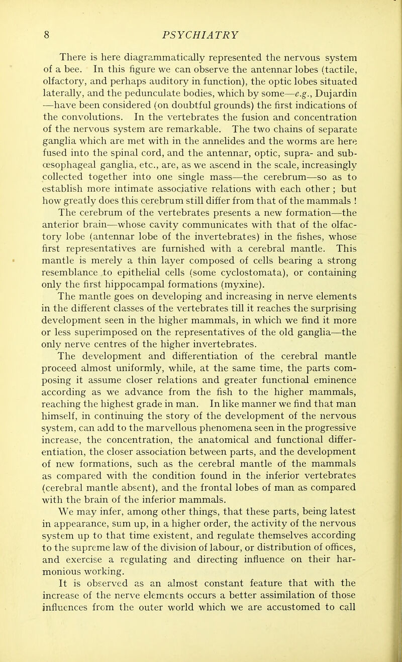 There is here diagrammatically represented the nervous system of a bee. In this figure we can observe the antennar lobes (tactile, olfactory, and perhaps auditory in function), the optic lobes situated laterally, and the pedunculate bodies, which by some—e.g., Dujardin —have been considered (on doubtful grounds) the first indications of the convolutions. In the vertebrates the fusion and concentration of the nervous system are remarkable. The two chains of separate ganglia which are met with in the annelides and the worms are here fused into the spinal cord, and the antennar, optic, supra- and sub- cesophageal ganglia, etc., are, as we ascend in the scale, increasingly collected together into one single mass—the cerebrum—so as to establish more intimate associative relations with each other ; but how greatly does this cerebrum still differ from that of the mammals ! The cerebrum of the vertebrates presents a new formation—the anterior brain—whose cavity communicates with that of the olfac- tory lobe (antennar lobe of the invertebrates) in the fishes, whose first representatives are furnished with a cerebral mantle. This mantle is merely a thin layer composed of cells bearing a strong resemblance to epithelial cells (some cyclostomata), or containing only the first hippocampal formations (myxine). The mantle goes on developing and increasing in nerve elements in the different classes of the vertebrates till it reaches the surprising development seen in the higher mammals, in which we find it more or less superimposed on the representatives of the old ganglia—the only nerve centres of the higher invertebrates. The development and differentiation of the cerebral mantle proceed almost uniformly, while, at the same time, the parts com- posing it assume closer relations and greater functional eminence according as we advance from the fish to the higher mammals, reaching the highest grade in man. In like manner we find that man himself, in continuing the story of the development of the nervous system, can add to the marvellous phenomena seen in the progressive increase, the concentration, the anatomical and functional differ- entiation, the closer association between parts, and the development of new formations, such as the cerebral mantle of the mammals as compared with the condition found in the inferior vertebrates (cerebral mantle absent), and the frontal lobes of man as compared with the brain of the inferior mammals. We may infer, among other things, that these parts, being latest in appearance, sum up, in a higher order, the activity of the nervous system up to that time existent, and regulate themselves according to the supreme law of the division of labour, or distribution of offices, and exercise a regulating and directing influence on their har- monious working. It is observed as an almost constant feature that with the increase of the nerve elements occurs a better assimilation of those influences from the outer world which we are accustomed to call