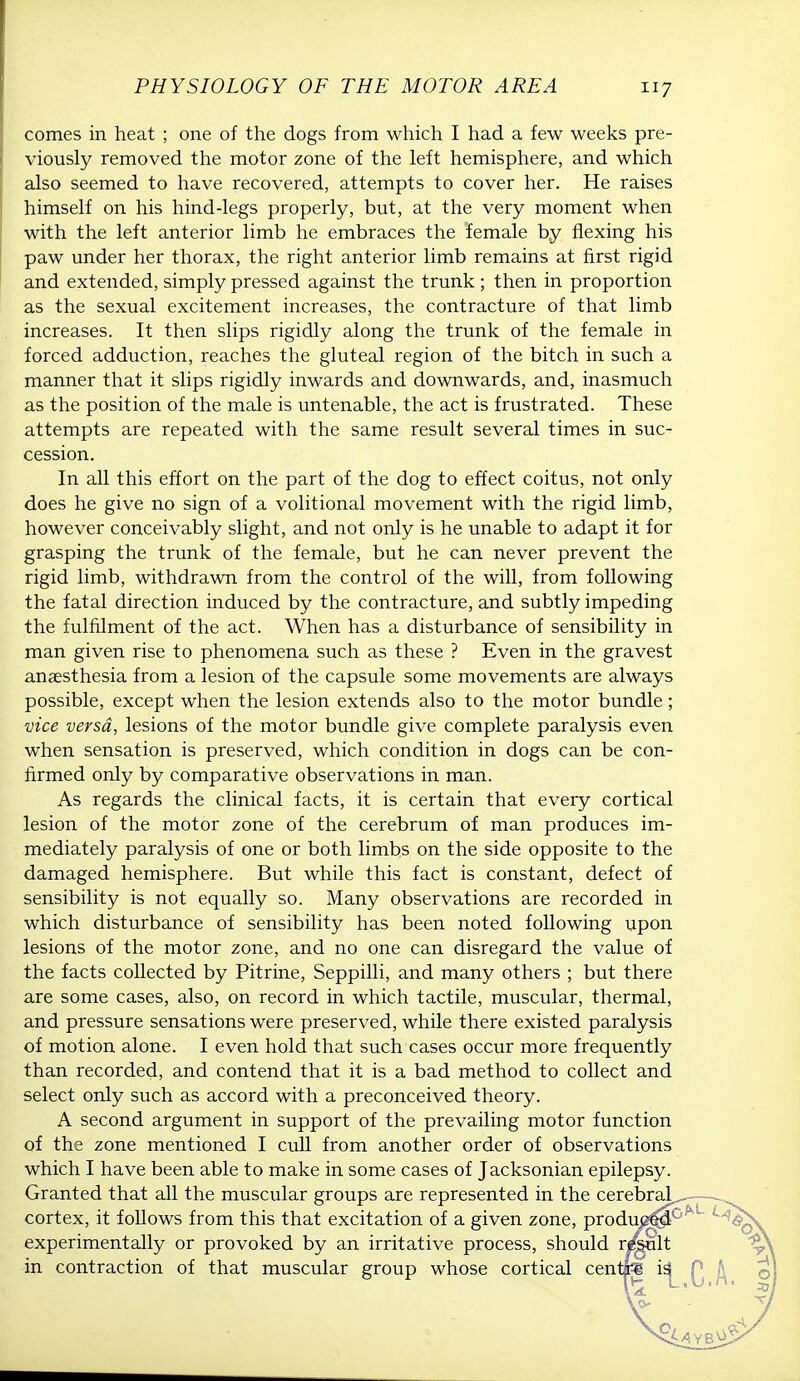 comes in heat ; one of the dogs from which I had a few weeks pre- viously removed the motor zone of the left hemisphere, and which also seemed to have recovered, attempts to cover her. He raises himself on his hind-legs properly, but, at the very moment when with the left anterior limb he embraces the female by flexing his paw under her thorax, the right anterior limb remains at first rigid and extended, simply pressed against the trunk ; then in proportion as the sexual excitement increases, the contracture of that limb increases. It then slips rigidly along the trunk of the female in forced adduction, reaches the gluteal region of the bitch in such a manner that it slips rigidly inwards and downwards, and, inasmuch as the position of the male is untenable, the act is frustrated. These attempts are repeated with the same result several times in suc- cession. In all this effort on the part of the dog to effect coitus, not only does he give no sign of a volitional movement with the rigid limb, however conceivably slight, and not only is he unable to adapt it for grasping the trunk of the female, but he can never prevent the rigid limb, withdrawn from the control of the will, from following the fatal direction induced by the contracture, and subtly impeding the fulfilment of the act. When has a disturbance of sensibility in man given rise to phenomena such as these ? Even in the gravest anaesthesia from a lesion of the capsule some movements are always possible, except when the lesion extends also to the motor bundle; vice versa, lesions of the motor bundle give complete paralysis even when sensation is preserved, which condition in dogs can be con- firmed only by comparative observations in man. As regards the clinical facts, it is certain that every cortical lesion of the motor zone of the cerebrum of man produces im- mediately paralysis of one or both limbs on the side opposite to the damaged hemisphere. But while this fact is constant, defect of sensibility is not equally so. Many observations are recorded in which disturbance of sensibility has been noted following upon lesions of the motor zone, and no one can disregard the value of the facts collected by Pitrine, Seppilli, and many others ; but there are some cases, also, on record in which tactile, muscular, thermal, and pressure sensations were preserved, while there existed paralysis of motion alone. I even hold that such cases occur more frequently than recorded, and contend that it is a bad method to collect and select only such as accord with a preconceived theory. A second argument in support of the prevailing motor function of the zone mentioned I cull from another order of observations which I have been able to make in some cases of Jacksonian epilepsy. Granted that all the muscular groups are represented in the cerebral cortex, it follows from this that excitation of a given zone, produced experimentally or provoked by an irritative process, should r/giilt in contraction of that muscular group whose cortical centp is;