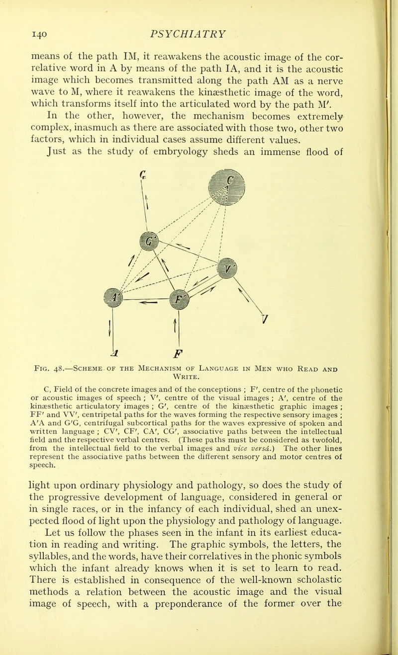 means of the path IM, it reawakens the acoustic image of the cor- relative word in A by means of the path IA, and it is the acoustic image which becomes transmitted along the path AM as a nerve wave to M, where it reawakens the kinesthetic image of the word, which transforms itself into the articulated word by the path M7. In the other, however, the mechanism becomes extremely complex, inasmuch as there are associated with those two, other two factors, which in individual cases assume different values. Just as the study of embryology sheds an immense flood of F Fig. 48.—Scheme of the Mechanism of Language in Men who Read and Write. C, Field of the concrete images and of the conceptions ; F', centre of the phonetic or acoustic images of speech ; V, centre of the visual images ; A', centre of the kinesthetic articulatory images ; G', centre of the kinesthetic graphic images ; FF' and W, centripetal paths for the waves forming the respective sensory images ; A'A and G'G, centrifugal subcortical paths for the waves expressive of spoken and written language ; CV, CF', CA', CG', associative paths between the intellectual field and the respective verbal centres. (These paths must be considered as twofold, from the intellectual field to the verbal images and vice versa.) The other lines represent the associative paths between the different sensory and motor centres of speech. light upon ordinary physiology and pathology, so does the study of the progressive development of language, considered in general or in single races, or in the infancy of each individual, shed an unex- pected flood of light upon the physiology and pathology of language. Let us follow the phases seen in the infant in its earliest educa- tion in reading and writing. The graphic symbols, the letters, the syllables, and the words, have their correlatives in the phonic symbols which the infant already knows when it is set to learn to read. There is established in consequence of the well-known scholastic methods a relation between the acoustic image and the visual image of speech, with a preponderance of the former over the